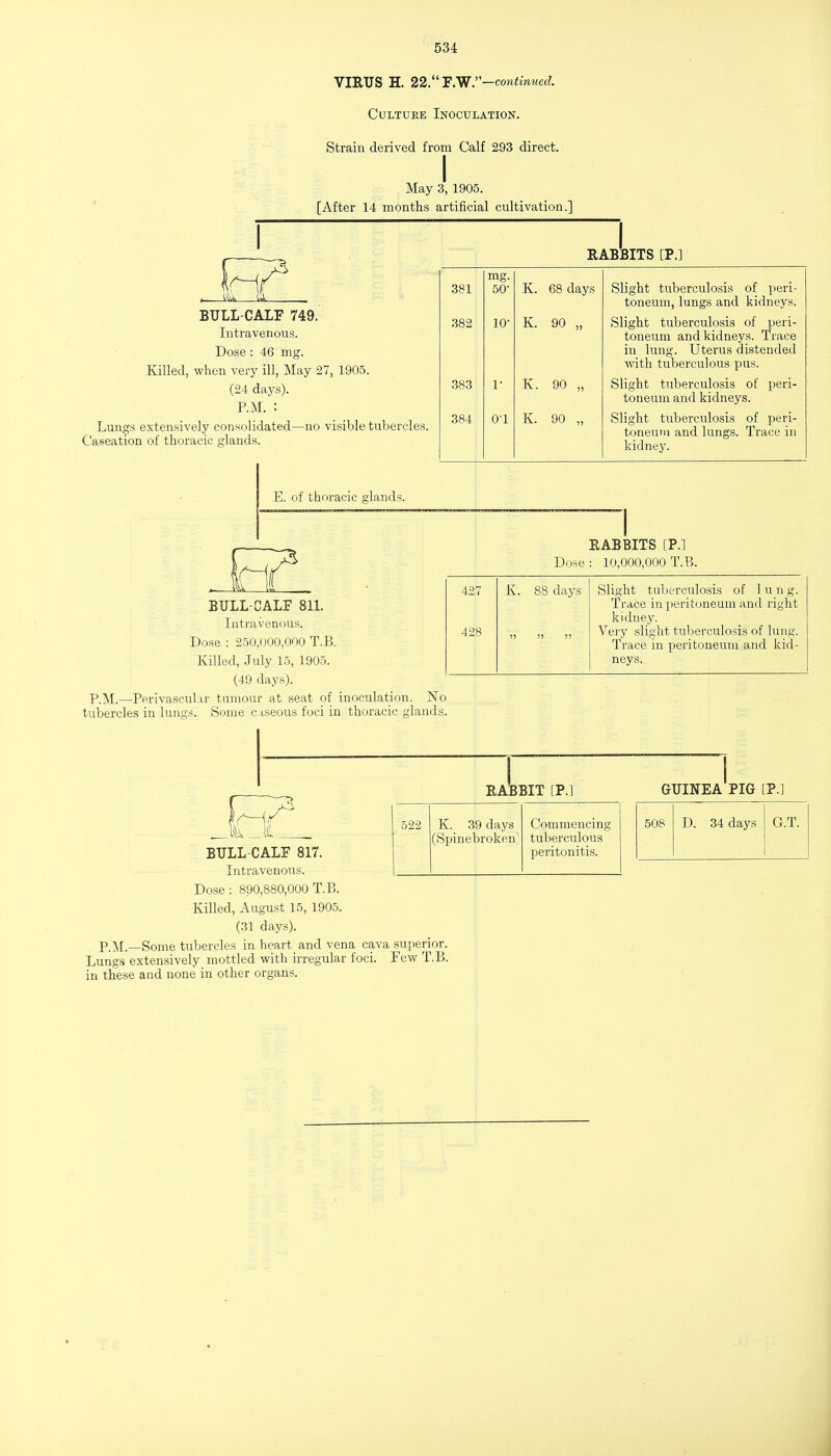 VIRUS H. 22.'E.Wr-continuea. CuLTUKE Inoculation. Strain derived from Calf 293 direct. May 3, 1905. [After 14 months artificial cultivation.] RABBITS [P.] BULL-CALF 749. Intravenous. Dose: 46 mg. Killed, when very ill, May 27, 1905. (24 days). P.M. •■ Lungs extensively consolidated—no visible tubercles. Caseation of thoracic glands. E. of thoracic glands 381 mg. 50- K. 68 days Slight tuberculosis of peri- toneum, lungs and kidneys. 382 10- K. 90 „ Slight tuberculosis of peri- toneum and kidneys. Trace in lung. Uterus distended with tuberculous pus. 383 1- K. 90 „ Slight tuberculosis of peri- toneum and kidneys. 384 01 K. 90 „ Slight tuberculosis of peri- toneum and lungs. Trace in kidney. RABBITS [P.] BULL-CALF 81L Intravenous. Dose : 250,000,000 T.B. Killed, July 15, 1905. (49 days). P.M.—Perivasculir tumour at seat of inoculation. No tubercles in lungs. Some c iseous foci in thoracic glands. Dose : 10,000,000 T.B. 427 K. 88 days Slight tuberculosis of 1 u n g. Trace in peritoneum and right kidney. 428 )? 5) )J Very slight tuberculosis of lung. Trace in peritoneum and kid- neys. RABBIT [P. 522 ^.'4 ^11 , BULL-CALF 817. Intravenous. Dose: 890,880,000 T.B. Killed, August 15, 1905. (31 days). P.]M.—Some tubercles in heart and vena cava superior, Lung.s extensively mottled with irregular foci. Few T.B in these and none in other organs. K. 39 days (Spinebroken Commencing tuberculous peritonitis. I