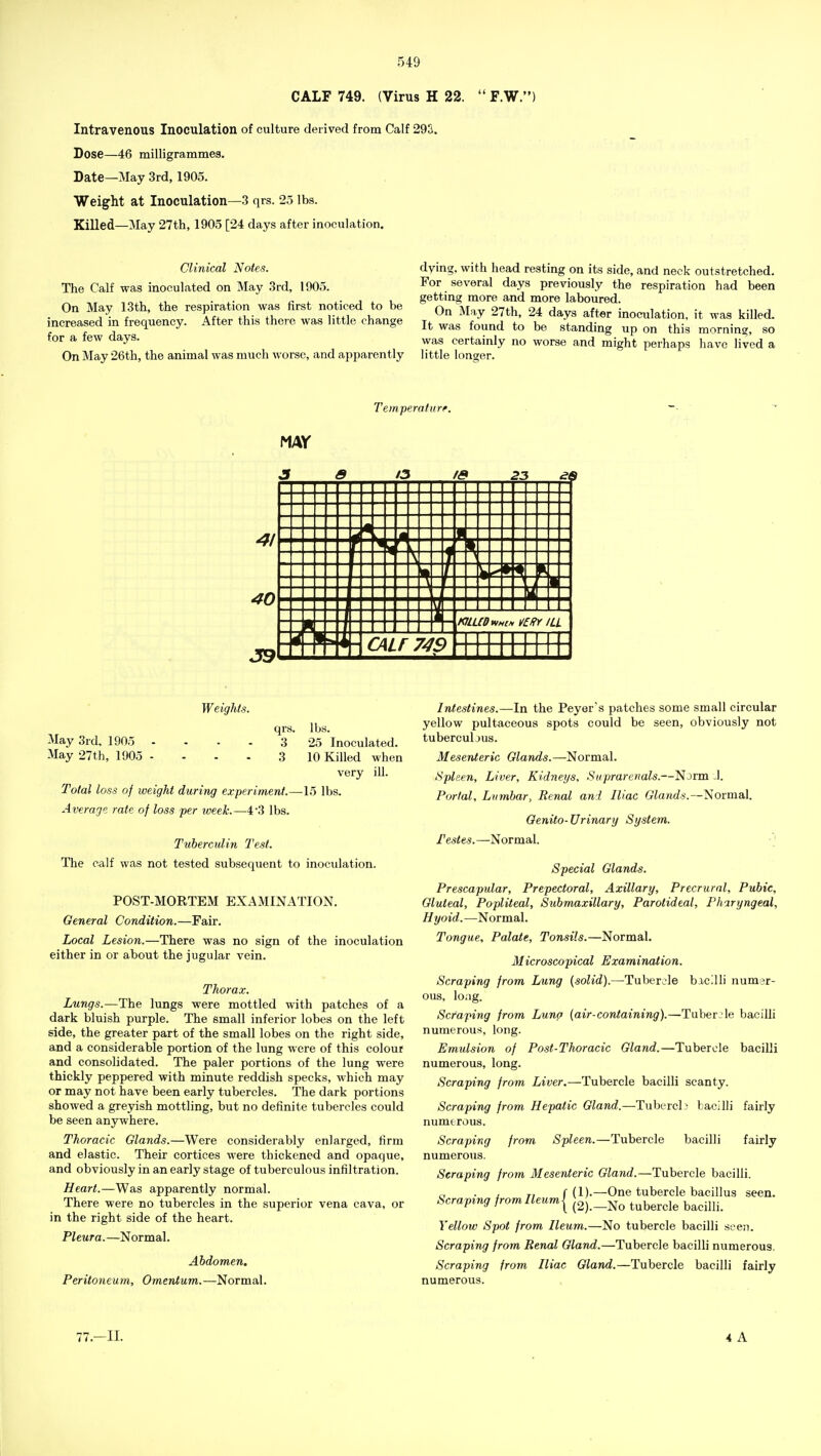 CALF 749. (Virus H 22. Intravenous Inoculation of culture derived from Calf 293. Dose—46 milligrammes. Date—May 3rd, 1905. Weight at Inoculation—.3 qrs. 25 lbs. Killed—May 27th, 1905 [24 days after inoculation. F.W. Clinical Notes. The Calf was inoculated on May 3rd, 1905. On May 13th, the respiration was first noticed to be increased in frequency. After this theie was little change for a few days. On May 26th, the animal was much worse, and apparently dying, with head resting on its side, and neck outstretched. For several days previously the respiration had been getting more and more laboured. On May 27th, 24 days after inoculation, it was killed. It was found to be standing up on this morning, so was certainly no worse and might perhaps have lived a little longer. Temperature. Weights. qrs. lbs. May 3rd, 1905 - - - - 3 25 Inoculated. May 27th, 1905 - ... 3 10 Killed when very ill. Total loss of weight during experiment.—15 lbs. Average rate of loss per iveek.—4*3 lbs. Tuberculin Test. The calf was not tested subsequent to inoculation. POST-MORTEM EXAMINATION. General Condition.—Fair. Local Lesion.—There was no sign of the inoculation either in or about the jugular vein. Thorax. Lungs.—The lungs were mottled with patches of a dark bluish purple. The small inferior lobes on the left side, the greater part of the small lobes on the right side, and a considerable portion of the lung were of this colour and consolidated. The paler portions of the lung were thickly peppered with minute reddish specks, which may or may not have been early tubercles. The dark portions showed a greyish mottling, but no definite tubercles could be seen anywhere. Thoracic Glands.—Were considerably enlarged, firm and elastic. Their cortices were thickened and opaque, and obviously in an early stage of tuberculous infiltration. Heart.—Was apparently normal. There were no tubercles in the superior vena cava, or in the right side of the heart. Pleura.—Normal. Abdomen. Peritoneum, Omentum.—Normal. Intestines.—In the Peyer's patches some small circular yellow pultaceous spots could be seen, obviously not tubercubus. Mesenteric Glands.—Normal. Spleen, Liver, Kidneys, Suprarcnals.—Norm .1. Portal, Lumbar, Renal an l Iliac Glands.—Normal. Genito-Urinary System. Testes.—Normal. -] Special Glands. Prescapular, Prepectoral, Axillary, Precrural, Pubie, Gluteal, Popliteal, Submaxillary, Parotideal, Pharyngeal, Hyoid.—Normal. Tongue, Palate, Tonsils.—Normal. Microscopical Examination. Scraping from Lung {solid).—Tuhevile bacilli numer- ous, long. Scraping from Luna (air-containing).—Tuber;le bacilli numerous, long. Emulsion of Post-Thoracic Gland.—Tubercle bacilli numerous, long. Scraping from Liver.—Tubercle bacilli scanty. Scraping from Hepatic Gland.—TubercL bacilli fairly numerous. Scraping from Spleen.—Tubercle bacilli fairly numerous. Scraping from Mesenteric Gland.—Tubercle bacilli. . , ri ( (!)•—One tubercle bacillus seen. Scraping fromIleum[ (2)._No tubercle bacilli. Yellow Spot from Ileum.—No tubercle bacilli seen. Scraping from Renal Gland.—Tubercle bacilli numerous. Scraping from Iliac Gland.—Tubercle bacilli fairly numerous. 77.-II.