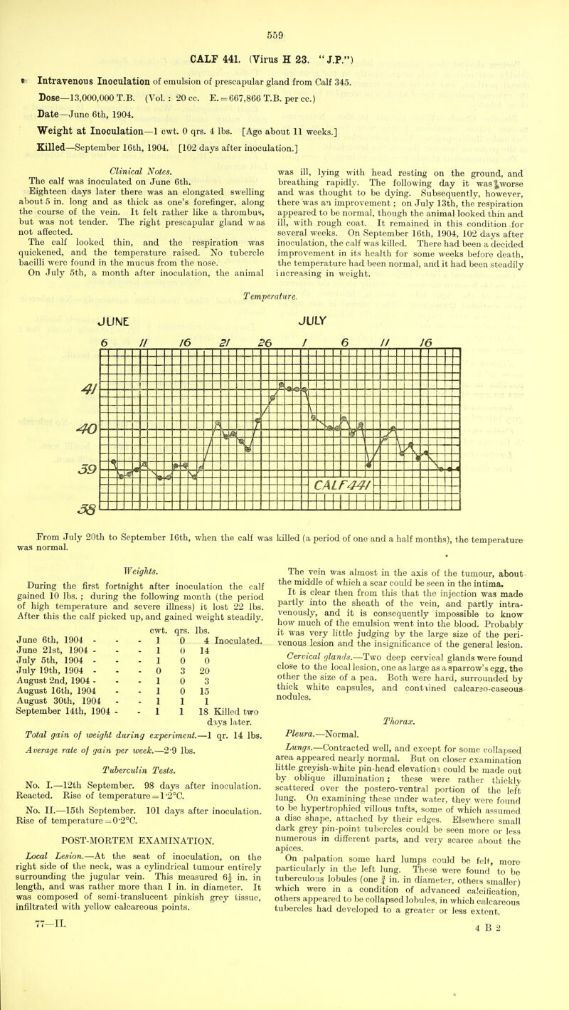 CALF 441. (Virus H 23. J.P.) Bt Intravenous Inoculation of emulsion of prescapular gland from Calf 345. Dose—13,000,000 T.B. (Vol. :20cc. E. = 667,866 T.B. per cc.) Date—June 6th, 1904. Weight at Inoculation—1 ewt. 0 qrs. 4 lbs. [Age about 11 weeks.] Killed—September 16th, 1904. [102 days after inoculation.] Clinical Notes. The calf was inoculated on June 6th. Eighteen days later there was an elongated swelling about 5 in. long and as thick as one's forefinger, along the course of the vein. It felt rather like a thrombus, but was not tender. The right prescapular gland was not affected. The calf looked thin, and the respiration was quickened, and the temperature raised. No tubercle bacilli were found in the mucus from the nose. On July 5th, a month after inoculation, the animal was ill, Ijang with head resting on the ground, and breathing rapidly. The following day it was|,worse and was thought to be dying. Subsequently, however, there was an improvement; on July 13th, the respiration appeared to be normal, though the animal looked thin and ill, with rough coat. It remained in this condition for several weeks. On September I6th, 1904, 102 days after inoculation, the calf was killed. There had been a decided improvement in its health for some weeks before death, the temperature had been normal, and it had been steadily increasing in weight. Temperature. From July 20th to September 16th, when the calf was killed (a period of one and a half months), the temperature was normal. W eights. During the first fortnight after inoculation the calf gained 10 lbs. ; during the following month (the period of high temperature and severe illness) it lost 22 lbs. After this the calf picked up, and gained weight steadily. cwt. qrs. lbs. June 6th, 1904 - - - 1 0 4 Inoculated. June 21st, 1904 - - - 1 0 14 July 5th, 1904 ... 1 0 0 July 19th, 1904 - - - 0 3 20 August 2nd, 1904 - - - 1 0 3 August 16th, 1904 - - 1 0 15 August 30th, 1904 - - 1 1 1 September 14th, 1904 - - 1 1 18 Killed two days later. Total gain of weight during experiment.—1 qr. 14 lbs. Average rate of gain per week.—2-9 lbs. Tuberculin Tests. No. I.—^12th September. 98 days after inoculation. Reacted. Rise of temperature = 1 ■2°C. No. II.—15th September. 101 days after inoculation. Rise of temperature =0'2°C. POST-MORTEM EXAMINATION. Local Lesion.—At the seat of inoculation, on the right side of the neck, was a cylindrical tumour entirely surrounding the jugular vein. This measured 6^ in. in length, and was rather more than 1 in. in diameter. It was composed of semi-translucent pinkish grey tissue, infiltrated with yellow calcareous points. 77-11. The vein was almost in the axis of the tumour, about the middle of which a scar could be seen in the intima. It is clear then from this that the injection was made partly into the sheath of the vein, and partly intra- venously, and it is consequently impossible to know how much of the emulsion went into the blood. Probably it was very little judging by the large size of the peri- venous lesion and the insignificance of the general lesion. Cervical glands.—Two deep cervical glands were found close to the local lesion, one as large as a sparrow's egg, the other the size of a pea. Both were hard, surrounded by thick white capsules, and cont\ined calcarso-caseous nodules. Thorax. Pleura. —Normal. ZrMng-.s.—Contracted well, and except for some collapsed area appeared nearly normal. But on closer examination little greyish-white pin-head elevation^, could be made out by oblique illumination; these were rather thickly scattered over the postero-ventral portion of the left lung. On examining these under water, they were found to be hypertrophied villous tufts, some of which assumed a disc shape, attached by their edges. Elsewhere small dark grey pin-point tubercles could be seen more or less numerous in different parts, and very scarce about the apices. On palpation some hard lumps could be felt, more particularly in the left lung. These were found to be tuberculous lobules (one | in. in diameter, others smaller) which were in a condition of advanced calcification, others appeared to be collapsed lobules, in which calcareous tubercles had developed to a greater or less extent. 4 B 2