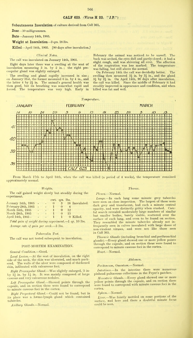 CALF 625. (Virus H 23.  J.P.' S ubcutaneous Inoculation of culture derived from Calf 365. Dose—50 milligrammes. Date—January 14th, 1905. Weight at Inoculation—3 qrs. 18 lbs. Killed—April 14th, 1905. [90 days after inoculation.? Clinical Notes. The calf was inoculated on January 14th, 1905. Eight days later there was a swelling at the seat of inoculation measuring 3 in. by 2 in. ; the right pre- csapular gland was slightly enlarged. I The swelling and gland rapidly increased in size; on January 31st, the former measured 6 in. by 4 in., and the latter 4 by 2^ in. The animal's general health was then good, but its breathing was somewhat rapid and forced. The temperature was very high. Early in February the animal was noticed to be unwell. The back was arched, the eyes dull and partly closed; it had a slight cough, and was shivering all over. The affection of the respiration was less marked. The temperature was falling, but still above the normal. On February 14th the calf was decidedly better. The swelling then measured 5^ in. by 3^- in., and the gland 3^ by 2\ in. On April 14th, 90 days after inoculation, the calf was killed. Since the middle of February it had steadily improved in appearance and condition, and when killed was fat and well. JANUARY /4 /9 24 Z9 Tem'perature. FEBRUARY 3 B 13 18 25 28 MARCH 5 /O J5 From March 17th to April 14th, when the calf was killed (a period of 4 weeks), the temperature remained approximately normal. WeigMs. The calf gained weight slowly but steadily during the experiment. cwt. qrs. lbs. January 14th, 1905 - - 0 3 18 Inoculated. February 28th, 1905 - - 1 0 4 JIarch 14th, 1905 - - 1 0 12 31arch 28th, 1905 - - 1 0 15 April 14th, 1905 - - - 1 1 0 Killed. Total gain of weight during experiment.—1 qr. 10 lbs. Average rate of gain per week.—3 lbs. Tuberculin Test. The calf was not tested subsequent to inoculation. POST-MORTEM EXAMINATION. General Condition.—Good. Local Lesion.—At the seat of inoculation, on the right side of the neck, the skin was ulcerated, and much puck- ered. The walls of the ulcer were composed of thickened skin, infiltrated with calcareous foci. Bight Prescapvlar Gland.—Was slightly enlarged, 3 in- by 1| in. by IJ in. It was mainly composed of large caseous and very calcareous nodules. Left Prescapular Gland.—Showed points through the capsule, and on section these were found to correspond to minute caseous foci in the cortex. Right Prepectoral Gland..—Could not be found, but in its place was a hsemo-lymph gland which contained tubercles. Axillary Glands.—Normal. Thorax. Pie ura. —Normal. Lungs.—In each lung some minute grey tubercles were seen on close inspection. The largest of these were dark grey and translucent, had each a minute central opacity, and were distinctly gritty when crushed. Care- ful search revealed moderately large numbers of similar but smaller bodies, barely visible, scattered over the surface of each lung, and even to be found on section. They resembled the minute tubercles already not in- frequently seen in calves inoculated with large doses of non-virulent viruses, and were not like those seen in Calf 365. Thoracic Glands (including bronchial and peribronchial glands).—Every gland showed one or more yellow points through the capsule, and on section these were found to correspond to minute caseous foci in the cortex. Heart. —Normal. Abdomen. Peritoneum, Omentum.—Normal. Intestines.—In the intestine there were numerous pinhead pultaceous collections in the Peyer's patches. Mesenteric Glands.—^vevy gland showed one or more yellow points through the capsule, and on section these were found to correspond with minute caseous foci in the cortex. Spleen.—Normal. Liver.—Was faintly mottled on some portions of the sm-face, and here and there a doubtful minute focus could be seen.