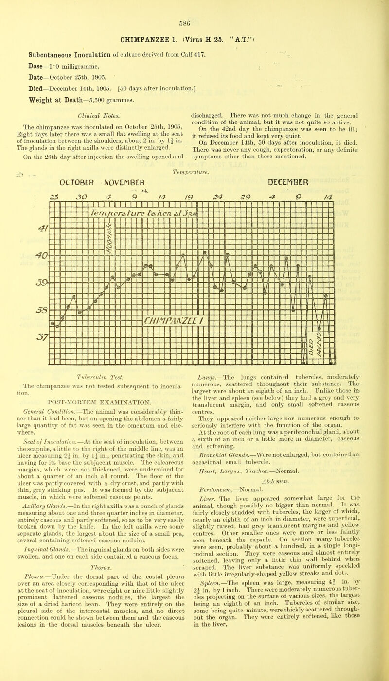 58G CHIMPANZEE 1. (Virus H 25. A.T.) Subcutaneous Inoculation of culture derived from Calf 417. Dose—-I'O milligramme. Date—October 25th, 1905. Died—December 14th, 1905. [50 days after inoculation.] Weight at Death—5,500 grammes. Clinical Notes. The chimpanzee was inoculated on October 25th, 1905, Eight days later there was a small flat swelhng at the seat of inoculation between the shoulders, about 2 in. by li in. The glands in the right axilla were distinctly enlarged. On the 28th day after injection the swelling opened and discharged. There was not much change in the general condition of the animal, but it was not quite so active. On the 42nd day the chimpanzee was seen to be ill; it refused its food and kept very quiet. On December 14th, 50 days after inoculation, it died. There was never any cough, expectoration, or any definite symptoms other than those mentioned. Temperature. OCTOBER NOVEMBER 25 JO ^ 9 A? /P ^4? 29 ^ M 1 N 1 M 1 1 1 1 1 1 I 1 1 1 1 B Tern fie r£i.ture te>.hcn ^tJ/Ln\ \ r i \ f 1 \ -\ t { t I \ 4 -.t 2 CHIf^PA NZEEI ) I . -- ^ - ■ c: 41 J8 37 Tuberculin Test. The chimpanzee was not tested subsequent to inocula- tion. POST-MORTEM EX.AJMINATION. General Condition.—The animal was considerably thin- ner than it had been, but on opening the abdomen a fairly large quantity of fat was seen in the omentum and else- where. Seat of Inoculation.—At the seat of inoculation, between the scapulae, a httle to the right of the middle hne, was an ulcer measuring 2\ in. by 1|- in., penetrating the skin, and having for its base the subjacent muscle. The calcareous margins, which \\ex& not thickened, were undermined for about a quarter of an inch all round. The floor of the ulcer was partly covered with a dry crust, and partly with thin, grey stinking pus. It was formed by the subjacent muscle, in which were softened caseous points. Axillary Glands.—In the right axilla was a bunch of glands measuring about one and three quarter inches in diameter, entirely caseous and partly softened, so as to be very easily broken do^ra by the knife. In the left axilla were some separate glands, the largest about the size of a small pea, several containing softened caseous nodules. Inguinal Glands.—The inguinal glands on both sides were swollen, and one on each side contained a caseous focus. Thorax. Pleura.—Under the dorsal part of the costal pleura over an area closely corresponding with that of the ulcer at the seat of inoculation, were eight or nine little slightly prominent flattened caseous nodules, the largest the size of a dried haricot bean. They were entirely on the pleural side of the intercostal muscles, and no direct connection could be shown between them and the caseous leeions in the dorsal muscles beneath the ulcer. Lungs.—The lungs contained tubercles, moderately- numerous, scattered throughout their substance. The largest were about an eighth of an inch. Unlike those iit the liver and spleen (see below) they had a grey and very translucent margin, and only small softened easeous- centres. They appeared neither large nor numerous enough tO' seriously interfere with the function of the organ. At the root of each lung was a peribronchial gland, about a sixth of an inch or a little more in diameter, caseous and softening. Bronchial Glands.—Were not enlarged, but contained an: occasional small tubercle. Heart, Larynx, Trachea.—Normal. Abdt men. Peritoneum.—Normal. Liver. The liver appeared somewhat large for the- animal, though possibly no bigger than normal. It was- fairly closely studded with tubercles, the larger of which, nearly an eighth of an inch in diameter, were superficial,, slightly raised, had grey translucent margins and yellow centres. Other smaller ones were more or less faintly- seen beneath the capsule. On section many tubercles were seen, probably about a hundred, in a single longi- tudinal section. They were caseous and almost entirely softened, leaving only a little thin wall behind when scraped. The liver substance was uniformly speckled with little irregularly-shaped yellow streaks and dot^. Spleen.—The spleen was large, measuring 4| in. by 2| in. by 1 inch. There were moderately numerous tuber- cles projecting on the surface of various sizes, the largest being an eighth of an inch. Tubercles of similar size, some being quite minute, were thickly scattered through- out the organ. They were entirely softened, like those in the liver.