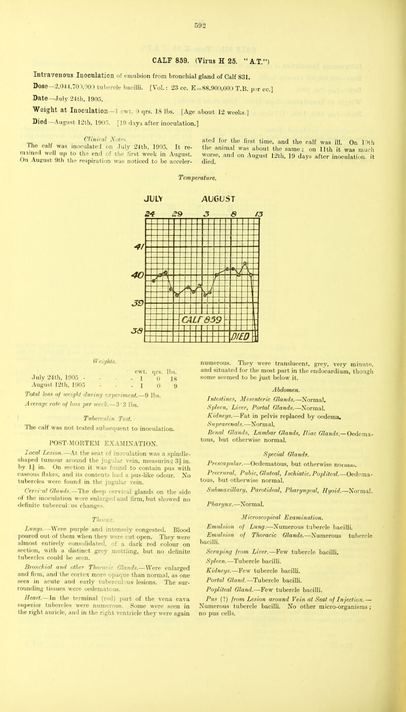 CALF 859. (Virus H 25.  A.T.) Intravenous Inoculation of emulsion from bronchial gland of Calf 831. Dose—2,044,70(.OO;) tubercle baciUi. [Vol.: 23 cc. E = 88,900,000 T.B. p?r cc] Date—July 24th, 1905, Weig-ht at Inoculation—1 cwt. 0 qrs. 18 lbs. [Age about 12 weeks.] Died—August 12th, 1905. [19 days after inoculation,] T.. „ . '^'iriical Note.^ ated for the first time, and the calf was ill. On 10th The calf was moculated on July 24th, 190.5. It re- the animal was about the same; on 11th it was much mamed well up to the end of the first week in August. worse, and on August 12th, 19 days after inoculation, it Un Ausrust 9th the respu-ation was noticed to be acceler- died. Temperature, JULY 24 29 AVGUST 3 8 13 4/ 40 39 3S I-.-. A- -- if 85 9- [- n f£0\ Wevjhts. cwt. qrs. lbs. 1 0 18 10 9 July 24th, lOO,'; - August 12th, 1905 Total loss of weight during experiment.—9 lbs Average rate of loss per week.—3 '3 lbs. ' Tuberculin Test. The calf was not tested subsequent to inoculation. POST-MORTEM EXAMINATION. Local Lesion.—At the seat of inoculation was a spindle- shaped tumour around the jugular vein, measuring; 3| in. by li in. On section it was foimd to contain pus with caseous flakes, and its contents had a pus-hke odour. No tubercles were found in the jugular vein. Cervi-al Glands.—The deep cervical glands on the side of the inoculation were enlarged and firm, but showed no definite tuberculous changes. Thorax. LAings.—Were purple and intensely congested. Blood poured out of them when they were cut open. They were almost entirely consohdated, of a dark red colour on section, with a distinct grey motthng, but no definite tubercles could be seen. Bronchial and other Thoracic Glands.—Were enlarged and firm, and the cortex more opaque than normal, as one sees in acute and early tubercubus lesions. The sur- romiding tissues were oedematous. Heart.—In the terminal (red) part of the vena cava Euperior tubercles were numerous. Some were seen in the right auricle, and in the right ventricle they were again numerous. They were translucent, grey, very minute, and situated for the most part in the endocardium, though some seemed to be just below it. Abdomen. Intestines, Mesenteric Glands.—Normal. Spleen, Liver, Portal Glands.—Normal. Kidneys.—Fat in pelvis replaced by oedema, Suprarenals.—-Normal. Renal Glands, Lumbar Glands, Iliac Glands.—Oedema,- tous, but otherwise normal. Special Glands. Prescapular.—Oedematous, but otherwise noimai. Precrural, Pubic, Gluteal, Ischiatic, Popliteal.—Oedema,- tous, but otherwise normal. Submaxillary, Parotideal, Plmryngeal, Hyoid.—Normal. Pharynx.—Normal, Microscopical Examination. Emulsion of Lung.—Numerous tubercle bacilli. Emulsion of Thoracic Glands.—Numerous tubercle bacilli. Scraping from Liver.—Few tubercle bacilli. Spleen.—Tubercle baciUi. Kidneys.—-Few tubercle bacilli. Portal Gland.—Tubercle baciUi. Popliteal Gland.—Few tubercle bacilli. Pus (?) from Lesion around Vein at Seat of Injection.— Numerous tubercle bacilli. No other micro-organisms ; no pus cells.