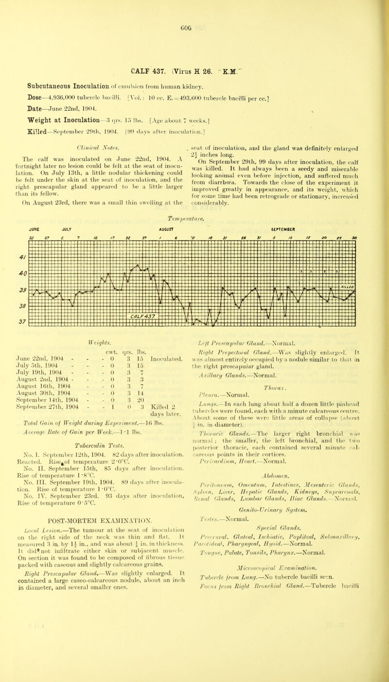 60G CALF 437. (Virus H 26. ' K.M. Subcutaneous Inoculation of emulsioii from human kidney. Dose—4,936,000 tubeielc bacilli. [\ ol.: 10 cc. E. =49.3,000 tubercle bacilli per cc] Date—June 22nd, 1904. Weight at Inoculation—3 qrs. \r, lbs. [Age about 7 weeks.] Xilled—September 29th, 1904. | 99 (hiys after inoeulatif>n.] Clinical Notes. The calf was inoculated on June 22nd, 1904. A fortnight later no lesion could be felt at the seat of inocu- lation. On July 13th, a little nodular thickening could be felt under the skin at the seat of inoculation, and the right prescapular gland appeared to be a little larger than its fellow. On August 23rd, there was a small thin swelling at the . seat of inoculation, and the gland was definitely enlarged 2^ inches long. On September 29th, 99 days after inoculation, the calf was killed. It had always been a seedy and miserable looking animal even before injection, and suffered much from diarrhoea. Towards the close of the experiment it improved greatly in appearance, and its weight, which for some time had been retrograde or stationary, incieased considerably. JUNE 2? 27 JULY Tfm perature. AUGUST / e V/ /* SEPTEMBER 4/ 40 33 33 37 55; WeigMs. cwt. qrs. lbs Jime 22nd, 1904 - - 0 3 1.5 July oth, 1904 - 0 3 15 July 19th, 1904 - - 0 3 7 August 2nd, 1904 - - 0 3 3 Augu.st 16th, 1904 - 0 3 7 August 30th, 1904 - 0 3 14 September 14th, 1904 - 0 3 20 September 27th, 1904 - 1 0 3 Inoculated. Killed 2 days later. Total Gain of Weight during Experime.nt.—16 tbs. A vemgr Bate of Gain per Week.—1 1 lbs. Tuberculin Tests. No. I. September 12th, 1904. 82 days after inoculation. Reacted. Rise^^of temperature 2'0°C. No. II. September loth, 85 days after inoculation. Rise of temperature 1 • 8°C'. No. III. September 19th, 1904. 89 days after inocula- tion. Rise of temperature 10°C. No. IV. September 23rd. 93 days after inoculation. Rise of temperature 05°C. POST-MORTEM EXAMINATION. Local Lesion.—The tumour at the seat of inoculation on the right side of the neck was thin and Hat. It measured 3 in. by \\ in., and was about ;} in. in thickness. It did*, not infiltrate either skin or subjacent muscle. On section it was found to be composed of fibrous tissue packed with caseous and slightly calcareous grains. Right Prescapular Gland.—Was slightly enlarged. It contained a large caseo-calcareous nodule, about an inch in diameter, and several smaller ones. Li ft I'rescaptdar Gland.—Normal. Right Prepectoral Gland.—Was slightly enlarged, it w as almost entirely occupied by a nodule similar to that ia the right prescapular gland. AxUlarij Glands.—Normal. Thorax. Pleura.—Normal. Lun^s.—In each lung about half a dozen little pinlicad tubercles were found, each with a minute calcareous centre. .About some of these were little areas of collapse (ahdut I in. in diameter). Thoracic Glands.—The larger right bronchial was normal ; the smaller, the left bronchial, and the two posterior thoracic, each contained several minute l al- careous points in their cortices. Per ieardium, Hcart. —Normal. Abdom,en. Ptritonewm, Omentum, Intestines, Mesenteric Glands, Spleen, Liver, Hepatic Glands, Kidneys, Suprareuals, Renal Glands, Lumbar Glands, Iliac Glands.—Noi'inal. Genito-Urinary System. Testes.—Normal. Special Glands. Prerrural. Gluteal, Ischiatic, Popliteal, SvLmaxillari/, I'arotideai, Pharyngeal, Hijoid.—Normal. Tongne, Palate, Tonsils, Pharynx.—Normal. Microscopical Exam ination. Tubercle from Lung.—No tubercle bacilli seen. Focus from Right Bronchial Gland.—Tubercle bacilli