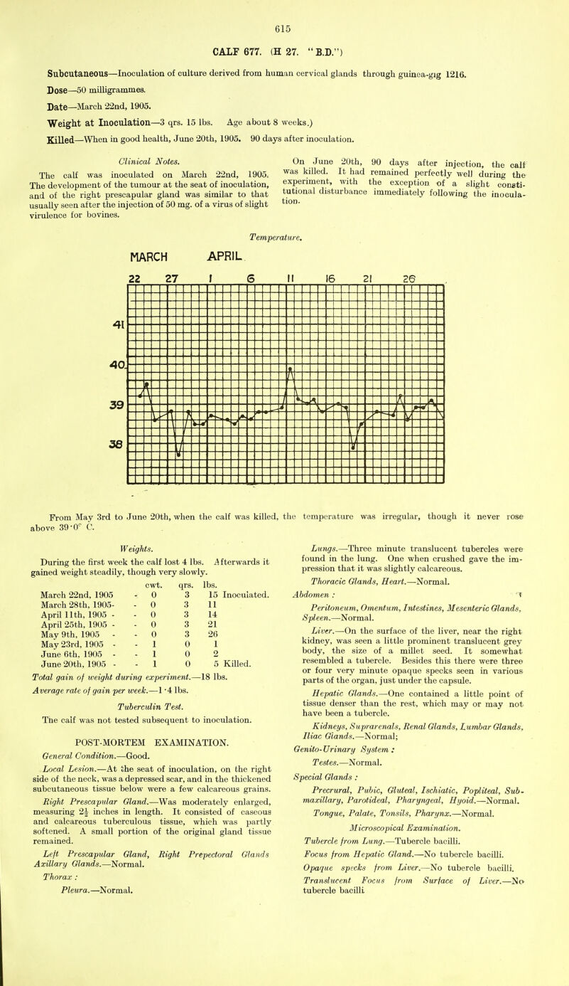 CALF 677. (H 27. B.D.) Subcutaneous—Inoculation of culture derived from human cervical glands through guinea-gig 1216. Dose—50 milligrammes. Date—March 22nd, 1905. Weight at Inoculation—3 qrs. 15 lbs. Age about 8 weeks.) Killed—When in good health, June 20th, 1905. 90 days after inoculation. Clinical Notes. The calf was inoculated on March 22nd, 1905. The development of the tumour at the seat of inoculation, and of the right prescapular gland was similar to that usually seen after the injection of 50 mg. of a virus of sUght virulence for bovines. On June 20th, 90 days after injection, the calf was killed. It had remained perfectly well during the experiment, with the exception of a slight coneti- tutional disturbance immediately following the inocula- tion. MARCH 22 27 Temperature. APRIL I 6 II 16 21 2© - ± -7 ft 1 ■-]■ t - i i - ■ I JUL 41 40. 39 36 From May 3rd to June 20th, when the calf was killed, the temperature was irregular, though it never rose above 39'0'^ C. Weights. During the first week the calf lost 4 lbs. A fterwards it gained weight steadily, though very slowly. Inoculated. cwt. qrs. lbs. March 22nd, 1905 - 0 3 15 March 28th, 1905- - 0 3 11 April 11th, 1905 - - 0 3 14 April 25th, 1905 - - 0 3 21 May 9th, 1905 - - 0 3 26 May 23rd, 1905 - - 1 0 1 June 6th, 1905 - - 1 0 2 June 20th, 1905 - - 1 0 5 Killed. Total gain of weight during experiment.—18 lbs. Average rate of gain per week.—1 '4 lbs. Tuberculin Test. The calf was not tested subsequent to inoculation. POST-MORTEM EXAMINATION. General Condition.—Good. Local Lesion.—At the seat of inoculation, on the right side of the neck, was a depressed scar, and in the thickened subcutaneous tissue below were a few calcareous grains. Right Prescapidar Gland.—Was moderately enlarged, measuring 2^ inches in length. It consisted of caseous and calcareous tuberculous tissue, which was partly softened. A small portion of the original gland tissue remained. Left Prescapular Gland, Right Prepectoral Glands Axillary Glands.—Normal. Thorax : Pleura.—Normal. Lungs.—Three minute translucent tubercles were found in the lung. One when crushed gave the im- pression that it was slightly calcareous. Thoracic Glands, Heart.—Normal. Abdomen: I Peritoneum, Omentum, Intestines, Mesenteric Glands, Spleen.—Normal. Liver.—On the surface of the liver, near the right kidney, was seen a little prominent translucent grey body, the size of a millet seed. It somewhat resembled a tubercle. Besides this there were three or four very minute opaque specks seen in various parts of the organ, just under the capsule. Hepatic Glands.—One contained a little point of tissue denser than the rest, which may or may not have been a tubercle. Kidneys, Suprarenals, Renal Glands, Lumbar Glands, Iliac Glands.—Normal; Genito-Urinary System : Testes.—Normal. Special Glands : Precrural, Pubic, Gluteal, Ischiatic, Popliteal, Sub- maxillary, Parotideal, Pharyngeal, Hyoid.—Normal. Tongue, Palate, Tonsils, Pharynx.—Normal. Microscopical Examination. Tubercle from Lung.—Tubercle bacilli. Focus from Hepatic Gland.—No tubercle baciUi. Opaque specks from. Liver.—No tubercle bacilli. Translucent Focus from Surface of Liver.—No tubercle bacilli