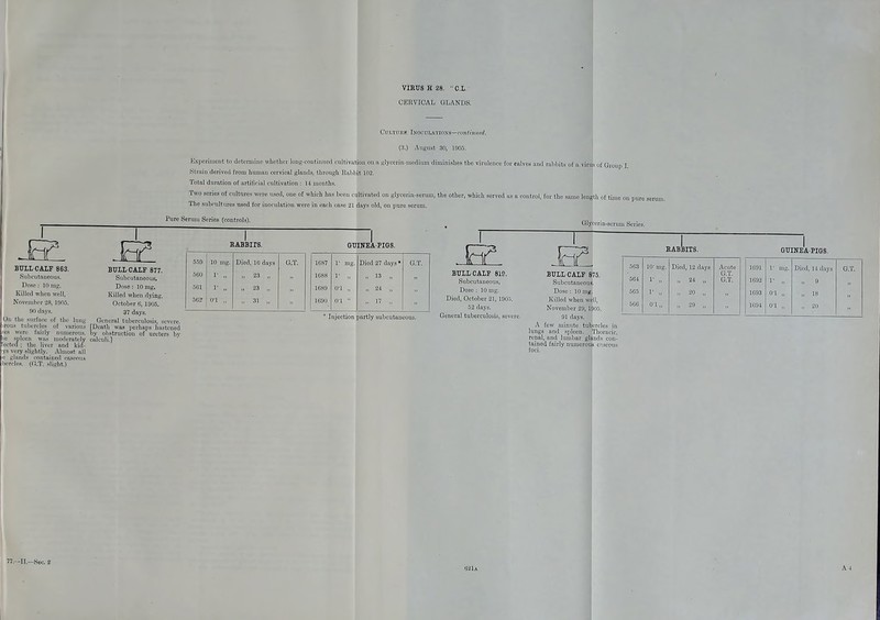 CERVICAL GLANDS. BULL-CALF 863. Subcutaneous. Dose : 10 nig. November 28, 19(15. 90 days. On the surface of the lung s tubercles of various spleen was nn.nl.Tniclv lected ; the liver and kid- very slightly. Almost all filiinds contained f-nsenns rcles. (G.T. slight.) Cultu sb Inoculations— cantvmiei. (3.) August 30, 1905. Experiment to determine whether long-continued cultivation on a glycerin-medium diminishes the virulence for calves and rabbits of a virul of Group I Strain derived from human cervical glands, through HaKhit 102. Total duration of artificial cultivation : 14 months. Two series of cultures were used, one of which has been cultivated on glyceri The subcultures used for inoculation were in each case 21 days old, on pure a Pure Serum Series (controls). , the other, which served as a control, for the same length of time on pure s Glyw RABBITS. GUINEA-PIGS. BULL-CALF 877. Subcutaneous, Dose: 10 mg. Killed when dying, October 6, 1905. 37 days. General tuberculosis, severe. [Death was perhaps hastened by obstruction of ureters by calculi.] 559 10 nig. Died, 16 days G.T. 560 1' 23 ,. 5G1 1* „ ;, 23 „ 56? 0'1 „ ii 31 „ 1687 Died 2 days * G.T. 1688 1- „ ., 13 „ 1689 O'l „ 24 „ 1690 o-i  „ 17 „ ' Injection partly subcutaneous. BULL-CALF 819. Subcutaneous, Dose: 10 mg. Died, October 21, 190.'>. 52 days. General tuberculosis, seve BULL-CALF 875. Subcutaneous. Killed when well, November 20, M)05. 91 days. | A few minute tubercles in lungs and spleen. [Thoracic, renal, and lumbar glands con- tained fairly numerous caseous foci. GUINEA-PIGS. 563 564 10' mg. 1' i, Died, 12 days ,, 24 „ Acute G.T. G.T. 1691 1692 1' „ Died, 14 days „ 9 G.T. 565 566 1' 01 „ 29 „ 1693 1604 0'1 „