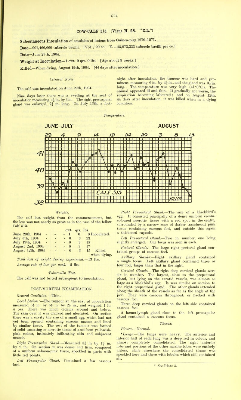 COW-CALF 515. (Virus H. 28. C.L.) Subcutaneous Inoculation of emulsion of lesions from Guinea-pigs 1270-1271. Dose—901,466,660 tubercle bacilli. [Vol. : 20 cc. E. = 45,073,333 tubercle bacilli per cc] Date—June 29th, 1904. Weight at Inoculation—1 cwt. 0 qrs. 0 lbs. [Age about 9 weeks.] Killed—When dying, August 12th, 1904. [44 days after inoculation.] The calf was inoculated on June 29th, 1904. Clinical Notes. night after inoculation, the tumour was hard and pro- minent, measuring 6 in. by 4 J in., and the gland was 3] in. long. The temperature was very high (4rO°C). The animal appeared ill and thin. It gradually got worse, the Nine days later there was a swelling at the seat of respiration becoming laboured; and on August 12th, inoculation measuring 4A in. by 3 in. The right prescapular 44 days after inoculation, it was killed when in a dying gland was enlarged, 2^ in. long. On July 13th, a fort- condition. Temperature. JUNE JULY 29 4 9 Weights. The calf lost weight from the commencement, but the loss was not nearly so great as in the case of the fellow Calf 513. cwt. qrs. lbs. June 29th, 1904 - - - 1 0 0 Inoculated. July 5th, 1904 - - - 0 3 23 July 19th, 1904 ... 0 August 2nd, 1904 - - 0 August 12th, 1904 - - 0 3 15 17 15 Killed when dying. Total loss of weight during experiment.—13 lbs. Average rate of loss per week.—2 lbs. Tuberculin Test. The calf was not tested subsequent to inoculation. POST-MORTEM EXAMINATION. General Condition.—Thin. Local Lesion:—The tumour at the seat of inoculation measured 6£ in. by 5\ in. by 2\ in., and weighed 1 lb. 4 ozs. There was much cedema around and below. The skin over it was cracked and ulcerated. On section there was a cavity the size of a small egg, which had not yet been opened, containing caseous masses and lined by similar tissue. The rest of the tumour was formed of solid caseating or necrotic tissue of a uniform yellowish- pink colour, intimately infiltrating skin and subjacent muscle. Right Prescapular Gland.—Measured 3J in by If in. by 2 in. On section it was dense and firm, composed of a uniform salmon-pink tissue, speckled in parts with little red points. Left Prescapular Gland.—Contained a few caseous foci. Right Prepectoral Gland.—The size of a blackbird's egg. It consisted principally of a dense uniform cream- coloured necrotic tissue with a red spot in the centre, surrounded by a narrow zone of darker translucent pink tissue containing caseous foci, and outside this again a thickened capsule. Left Prepectoral Gland.—Two in number, one being slightly enlarged. One focus was seen in each. Pectoral Glands.—The large right pectoral gland con- tained groups of caseous foci. Axillary Glands.—Right axillary gland contained a single focus. Left axillary gland contained three or four foci, larger than that in the right. Cervical Glands.—The right deep cervical glands were six in number. The largest, close to the prepectoral gland, but lying on the carotid vessels, was almost as large as a blackbird's egg. It was similar on section to the right prepectoral gland. The other glands extended along the sheath of the vessels as far as the angle of the jaw. They were caseous throughout, or packed with caseous foci. Three deep cervical glands on the left side contained caseous foci. A ha?mo-lymph gland close to the left prescapular gland contained a caseous focus. Thorax. Pleura.—Normal. *Lungs.~^The lungs were heavy. The anterior and inferior half of each lung was a deep red in colour, and almost completely consolidated. The right anterior lobe and portions of the other smaller lobes were entirely airless, while elsewhere the consolidated tissue was speckled here and there with lobules which still contained air. * See Plate 5.