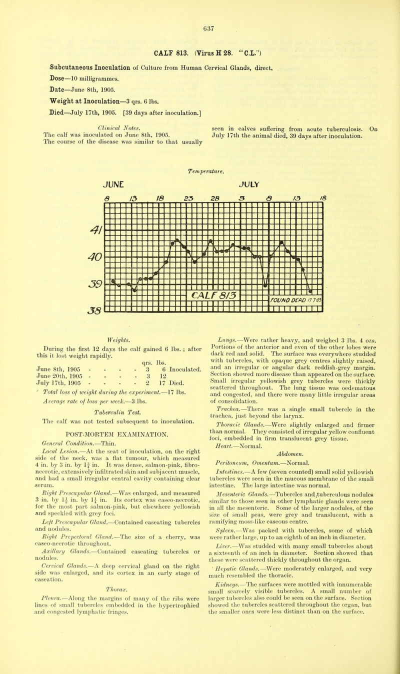 CALF 813. (Virus H 28. C.L.) Subcutaneous Inoculation of Culture from Human Cervical Glands, direct. Dose—10 milligrammes. Late—June 8th, 1905. Weight at Inoculation—3 qrs. 6 lbs. Died—July 17th, 1905. [39 days after inoculation.] Clinical Notes. seen in calves suffering from acute tuberculosis. On The calf was inoculated on June 8th, 1905. July 17th the animal died, 39 days after inoculation. The course of the disease was similar to that usually Temperature. JUNE JULY S 15 18 23 28 3 S A3 /& Weights. During the first 12 days the calf gained 6 lbs. ; after this it lost weight rapidly. qrs. lbs. June 8th, 1905 .... 3 6 Inoculated. June 20th, 1905 - - - - 3 12 July 17th, 1905 - - - - 2 17 Died. Total loss of weight during the experiment.—17 lbs. Average rate of loss per week.—3 lbs. Tuberculin Test. The calf was not tested subsequent to inoculation. POST-MORTEM EXAMINATION. General Condition.—Thin. Local Lesion.—At the seat of inoculation, on the right aide of the neck, was a flat tumour, which measured 4 in. by 3 in. by If in. It was dense, salmon-pink, fibro- necrotic, extensively infiltrated skin and subjacent muscle, and had a small irregular central cavity containing clear serum. Right Prescapular Gland.—Was enlarged, and measured 3 in. by 1| in. by 1J in. Its cortex was caseo-necrotic, for the most part salmon-pink, but elsewhere yellowish and speckled with grey foci. Left Prescapidar Gland.—Contained caseating tubercles and nodules. Right Prepectoral Gland.—The size of a cherry, was caseo-necrotic throughout. Axillary Glands.—Contained caseating tubercles or nodules. Cervical Glands.—A deep cervical gland on the right side was enlarged, and its cortex in an early stage of caseation. Thorax. Pleura.—Along the margins of many of the ribs were lines of small tubercles embedded in the hypertrophied and congested lymphatic fringes. Lungs.—Were rather heavy, and weighed 3 lbs. 4 ozs. Portions of the anterior and even of the other lobes were dark red and solid. The surface was everywhere studded with tubercles, with opaque grey centres slightly raised, and an irregular or angular dark reddish-grey margin. Section showed more disease than appeared on the surface. Small irregular yellowish grey tubercles were thickly scattered throughout. The lung tissue was oedematous and congested, and there were many little irregular areas of consolidation. Trachea.—There was a single small tubercle in the trachea, just beyond the larynx. Thoracic Glands.—Were slightly enlarged and firmer than normal. They consisted of irregular yellow confluent foci, embedded in firm translucent grey tissue. Heart. —Normal. Abdomen. Peritoneum, Omentum.—Normal. Intestines.—A few (seven counted) small solid yellowish tubercles were seen in the mucous membrane of the small intestine. The large intestine was normal. Mesenteric Glands.—Tubercles and tuberculous nodules similar to those seen in other lymphatic glands were seen in all the mesenteric. Some of the larger nodules, of the size of small peas, were grey and translucent, with a ramifying moss-like caseous centre. Spleen.—Was packed with tubercles, some of which were rather large, up to an eighth of an inch in diameter. Liver.—Was studded with many small tubercles about a sixteenth of an inch in diameter. Section showed that these were scattered thickly throughout the organ. ' Hepatic Glands.—Were moderately enlarged, and very much resembled the thoracic. Kidneys.—The surfaces were mottled with innumerable small scarcely visible tubercles. A small number of larger tubercles also could be seen on the surface. Section showed the tubercles scattered throughout the organ, but the smaller ones were less distinct than on the surface.