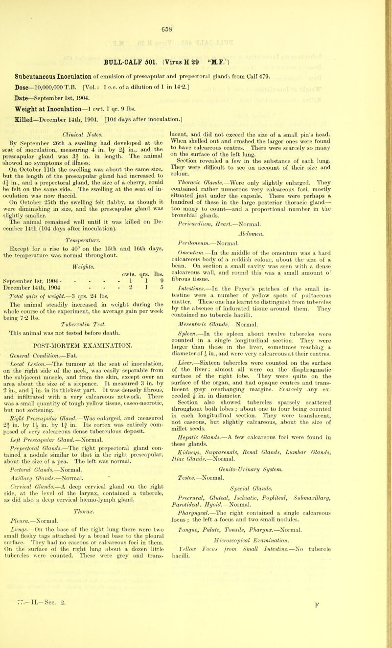 BULL-CALF 501. (Virus H 29 M.F.) Subcutaneous Inoculation of emulsion of prescapular and prepectoral glands from Calf 479. Dose—10,000,000 T.B. [Vol.: 1 c.e. of a dilution of 1 in 14-2.] Date—September 1st, 1904. Weight at Inoculation—1 cwt. 1 qr. 9 lbs. Killed—December 14th, 1904. [104 days after inoculation.] Clinical Notes. By September 26th a swelling had developed at the seat of inoculation, measuring 4 in. by 2£ in., and the prescapular gland was 3| in. in length. The animal showed no symptoms of illness. On October 11th the swelling was about the same size, but the length of the prescapular gland had increased to 4£ in., and a prepectoral gland, the size of a cherry, could be felt on the same side. The swelling at the seat of in- oculation was now flaccid. On October 25th the swelling felt flabby, as though it were diminishing in size, and the prescapular gland was slightly smaller. The animal remained well until it was killed on De- cember 14th (104 days after inoculation). Temperature. Except for a rise to 40° on the 15th and 16th days, the temperature was normal throughout. Weights. cwts. qrs. lbs. September 1st, 1904 1 1 9 December 14th, 1904 ... 2 1 5 Total gain of weight.—3 qrs. 24 lbs, The animal steadily increased in weight during the whole course of the experiment, the average gain per week being 72 lbs. Tuberculin Test. This animal was not tested before death. POST-MORTEM EXAMINATION. General Condition.—Fat. Local Lesion.—The tumour at the seat of inoculation, on the right side of the neck, was easily separable from the subjacent muscle, and from the skin, except over an area about the size of a sixpence. It measured 3 in. by 2 in., and | in. in its thickest part. It was densely fibrous, and infiltrated with a very calcareous network. There was a small quantity of tough yellow tissue, caseo-necrotic, but not softening. Right Prescapular Gland.—Was enlarged, and measured 2| in. by 1J in. by If in. Its cortex was entirely com- posed of very calcareous dense tuberculous deposit. Left Presca-pular Gland.—Normal. Prepectoral Glands.—The right prepectoral gland con- tained a nodule similar to that in the right prescapular, about the size of a pea. The left was normal. Pectoral Glands.—Normal. Axillary Glands.—Normal. Cervical Glands.—A deep cervical gland on the right side, at the level of the larynx, contained a tubercle, as did also a deep cervical hrcino-lymph gland. Thorax. Pleura.—Normal. Lungs.—On the base of the right lung there were two small fleshy tags attached by a broad base to the pleural surface. They had no caseous or calcareous foci in them. On the surface of the right lung about a dozen little tubercles were counted. These were grey and trans- lucent, and did not exceed the size of a small pin's head. When shelled out and crashed the larger ones were found to have calcareous centres. There were scarcely so many on the surface of the left lung. Section revealed a few in the substance of each lung. They were difficult to see on account of their size and colour. Thoracic Glands.—Were only slightly enlarged. They contained rather numerous very calcareous foci, mostly situated just under the capsule. There were perhaps a hundred of these in the large posterior thoracic gland— too many to count—and a proportional number in the bronchial glands. Pericardium, Heart.—Normal. Abdomen. Peritoneum.—Normal. Omentum.—In the middle of the omentum was a hard calcareous body of a reddish colour, about the size of a bean. On section a small cavity was seen with a dense calcareous wall, and round this was a small amount oc fibrous tissue. Intestines.—In the Peyer's patches of the small in- testine were a number of yellow spots of pultaceous matter. These one has learnt to distinguish from tubercles by the absence of indurated tissue around them. They contained no tubercle bacilli. Mesenteric Glands.—Normal. Spleen.—In the spleen about twelve tubercles were counted in a single longitudinal section. They were larger than those in the liver, sometimes reaching a diameter of J in., and were very calcareous at their centres. Liver.—Sixteen tubercles were counted on the surface of the liver; almost all were on the diaphragmatic surface of the right lobe. They were quite on the surface of the organ, and had opaque centres and trans- lucent grey overhanging margins. Scarcely any ex- ceeded |- in. in diameter. Section also showed tubercles sparsely scattered throughout both lobes ; about one to four being counted in each longitudinal section. They were translucent, not caseous, but slightly calcareous, about the size of millet seeds. Hepatic Glands.—A few calcareous foci were found in these glands. Kidneys, Suprarenals, Renal Glands, Lumbar Glands, Iliac Glands.—Normal. Genito-Urinary System. Testes.—Normal. Special Glands. Precrural, Gluteal, Ischiatic, Popliteal, Submaxillary, Parotideal, Hyoid.—Normal. Pharyngeal.—The right contained a single calcareous focus ; the left a focus and two small nodules. Tongue, Palate, Tonsils, Pharynx.—-Normal. Microscopical Examination. Yellow Focus from Small Intestine,—No tubercle bacilli.