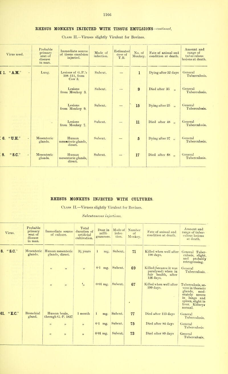 RHESUS MONKEYS INJECTED WITH TISSUE EMULSIONS —continued. Class II.—Viruses slightly Virulent for Bovines. Virus used. Probable primary seat of disease in man. Immediate source of tissue emulsion injected. Mode of infection. Estimate<; ut T.B. No. of Monkey. Fate of animal and condition at death. Amount and range of tuberculous lesions at death. 11. A.M. Lung. Lesions of G.P.'s 108-111, from Cow 3. Subcut. 1 Dying after 52 days General Tuberculosis. Lesions from Monkey 3. Subcut. 9 Died after 35 „ General Tuberculosis. from Monkey 9. TlV/ 1 T1 ( f 'I f I pv O General Tuberculosis. Lesions from Monkey 7. Subcut. 11 Died after 48 „ General Tuberculosis. : 6. U.H. Mesenteric glands. Human mesenteric glands, direct. Subcut. 5 Dying after 37 „ General Tuberculosis, 8.  S.C. Mesenteric glands. Human mesenteric glands, direct. Subcut. 17 Died after 68 „ General Tuberculosis. RHESUS MONKEYS INJECTED WITH CULTURES. Class II.—Viruses slightly Virulent for Bovines. Subcutaneous injections. Virus. Probable primary seat of disease in man. Immediate source of culture. Total duration of artificial cultivation. Dose in milli- grammes. 1 Mode of infec- tion. Number of Monkey. Fate of animal and condition at death. Amount and range of tuber- culous lesions at death. 8. S.C Mesenteric glands. Human mesenteric glands, direct. 3J years 1 mg. j Subcut. 71 Killed when well after 190 days. General Tuber- culosis, slight, and probably retrogressing. >> >> 0-1 mg. Subcut. 69 Killed (because it was paralysed) when in fair health, after 126 days. General Tuberculosis. !! J) f 0 01 mg. Subcut. 67 Killed when well after 199 days. Tuberculosis, se- vere in thoracic glands, mod- erately severe in lungs and spleen, slight in liver. Kidney? normal. 61. E.C. Bronchial gland. Human brain, through G.-P. 1837 1 month 1 mg. Subcut. 77 Died after 113 days General Tuberculosis. 53 )> 0-1 mg. Subcut. 75 Died after 84 days General Tuberculosis, » 1) 0-01 mg. Subcut. 73 Died after 89 days General Tuberculosis.