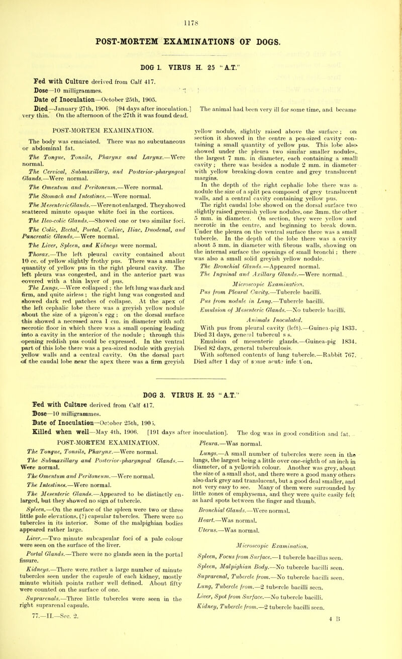 POST-MORTEM EXAMINATIONS OF DOGS. DOG 1. VIRUS H. 25  A.T. Fed with Culture derived from Calf 417. Dose—10 milligrammes. ' 1 .! Date of Inoculation—October 25th, 1905. Died—January 27th, 1906. [94 days after inoculation.] The animal had been very ill for some time, and became very thin. On the afternoon of the 27th it was found dead. POST-MORTEM EXAMINATION. The body was emaciated. There was no subcutaneous or abdominal fat. The Tongue, Tonsils, Pharynx and Larynx.—Were normal. The Cervical, Submaxillary, and Posterior-pharyngeal Glands.—Were normal. The Omentum and Peritoneum.—Were normal. The Stomach and Intestines.—Were normal. The MesentericGlands.—We re not enlarged. Theyshowed scattered minute opaque white foci in the cortices. The Ileo-colic Glands.— Showed one or two similar foci. The Colic, Rectal, Portal, Cceliac, Iliac, Duodenal, and Pancreatic Glands.—Were normal. The Liver, Spleen, and Kidneys were normal. Ttiorax.—The left pleural cavity contained about 10 cc. of yellow slightly frothy pus. There was a smaller ■quantity of yellow pus in the right pleural cavity. The left pleura was congested, and in the anterior part was covered with a thin layer of pus. The Lungs.—Were collapsed ; the left lung was dark and firm, and quite airless; the right lung was congested and showed dark red patches of collapse. At the apex of t!he left cephalic lobe there was a greyish yellow nodule a/bout the size of a pigeon's egg ; on the dorsal surface this showed a necrosed area 1 cm. in diameter with soft necrotic floor in which there was a small opening leading into a cavity in the anterior of the nodule ; through this ■opening reddish pus could be expressed. In the ventral part of this lobe there was a pea-sized nodule with greyish yellow walls and a central cavity. On the dorsal part <otf ithe caudal lobe near the apex there was a iirm greyish yellow nodule, slightly raised above the surface ; on section it showed in the centre a pea-sized cavity con- taining a small quantity of yellow pus. This lobe also, showed under the pleura two similar smaller nodules., the largest 7 mm. in diameter, each containing a small! cavity; there was besides a nodule 2 mm. in diameter with yellow breaking-down centre and grey translucent margins. In the depth of the right cephalic lobe there was a. nodule the size of a split pea composed of grey translucent walls, and a central cavity containing yellow pus. The right caudal lobe showed on the dorsal surface two slightly raised greenish yellow nodules, one 3mm. the other 5 mm. in diameter. On section, they were yellow and necrotic in the centre, and beginning to break down. Under the pleura on the ventral surface there was a small tubercle. In the depth of the lobe there was a cavity about 5 mm. in diameter with fibrous walls, showing on the internal surface the openings of small bronchi; there was also a small solid greyish yellow nodule. The Bronchial Glands.—Appeared normal. The Inguinal and Axillary Glands.—Were normal. . Microscopic Exam inatio n. Pus from Pleural Cavity.—Tubercle bacilli. Pus from nodule in Lung.—Tubercle bacilli. Emulsion of Mesenteric Glands.—No tubercle bacilli. Animals Inoculated. With pus from pleural cavity (left).—Guinea-pig 1833. Died 31 days, general tubercul s s. Emulsion of mesenteric glands.—Guinea-pig 1834. Died 82 days, general tuberculosis. With softened contents of lung tubercle.—Rabbit 767. Died after 1 day of some arut^ infe t on. DOG 3. VIR Fed with Culture derived from Calf 417. Dose—10 milligrammes. Date of Inoculation—October 25th, 1901. Killed when well—May 4th, 1906. [191 days aft. POST-MORTEM EXAMINATION. The Tongue, Tonsils, Pharynx.—Were normal. The Submaxillary and Posterior-pharyngeal Glands.— Were normal. The Omentum and Peritoneum.—Were normal. Tint Intestines.—Were normal. The Mesenteric Glands.—Appeared to be distinctly en- larged, but they showed no sign of tubercle. Spleen.—On the surface of the spleen were two or three little pale elevations, (?) capsular tubercles. There were no tubercles in its interior. Some of the malpighian bodies appeared rather large. Liver.—Two minute subcapsular foci of a pale colour were seen on the surface of the liver. Portal Glands.—There were no glands seen in the portal fissure. Kidneys.— There were, rather a large number of minute tubercles seen under the capsule of each kidney, mostly minute whitish points rather well defined. About fifty were counted on the surface of one. Suprarenals.—Three little tubercles were seen in the right suprarenal capsule. 77.—II.—Sec. 2. H. 25  A.T. inoculation]. The dog was in good condition and fat. Pleura.—Was normal. Lungs.—A small number of tubercles were seen in the lungs, the largest being a little over one-eighth of an inch in diameter, of a yellowish colour. Another was grey, about the size of a small shot, and there were a good many others also dark grey and translucent, but a good deal smaller, and not very easy to see. Many of them were surrounded by little zones of emphysema, and they were quite easily felt as hard spots between the finger and thumb. Bronchial Glands.—Were normal. Heart.—Was normal. Uterus.—Was normal. Microscopic Examination. Spleen, Focus from Surface.—1 tubercle bacillus seen. Spleen, Malpighian Body.—No tubercle bacilli seen. Suprarenal, Tubercle from.— No tubercle bacilli seen. Lung, Tubercle from.—2 tubercle bacilli seen. Liver, Spot from Surface.—No tubercle bacilli. Kidney, Tubercle from.—2 tubercle bacilli seen. 4 B i