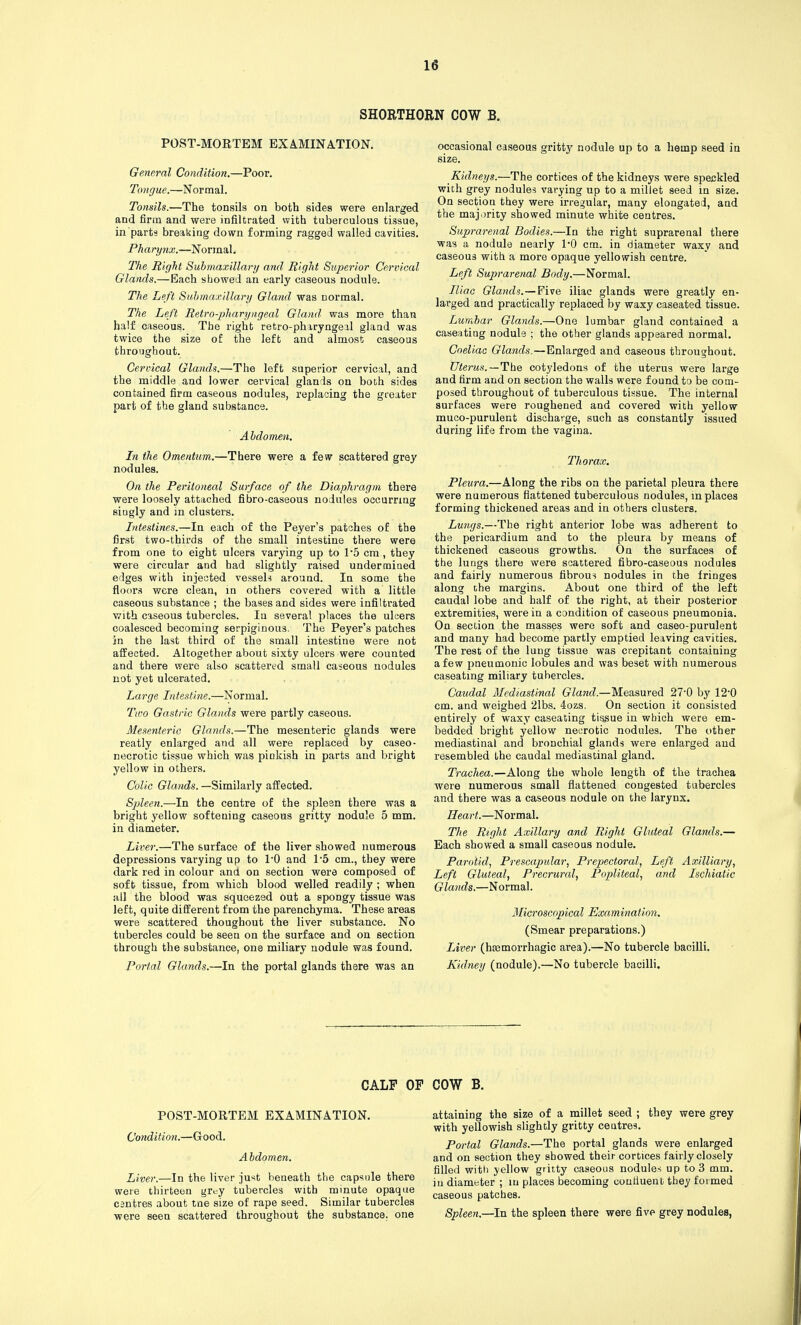 SHORTHORN COW B. POST-MORTEM EXAMINATION. General Condition.—Poor. Tongue.—Normal. Tonsils.—The tonsils on both sides were enlarged and firm and were infiltrated with tuberculous tissue, in parts breaking down forming ragged walled cavities. Pharynx.—Normal. The Right Sub maxillary and Right Superior Cervical Glands.—Each showed an early caseous nodule. The Left Suhmaxillary Glayid was normal. The Left Retro-pharyngeal Gland, was more than half caseous. The right retro-pharyngeal gland was twice the size of the left and almost caseous throughout. Cervical Glands.—The left superior cervical, and the middle and lower cervical glands on both sides contained firm caseous nodules, replacing the greater part of the gland substance. A bdomen. In the Omentum.—There were a few scattered grey nodules. On the Peritoneal Surface of the Diaphragm there were loosely attached fibro-caseous nodules occurring singly and m clusters. Intestines.—In each of the Peyer’s patches of the first two-thirds of the small intestine there were from one to eight ulcers varying up to 1'5 cm , they were circular and had slightly raised undermined edges with injected vessels around. In some the floors were clean, in others covered with a little caseous substance ; the bases and sides were infiltrated with caseous tubercles. In several pilaces the ulcers coalesced becoming serpiginous. The Peyer’s patches in the last third of the small intestine were not affected. Altogether about sixty ulcers were counted and there were also scattered small caseous nodules not yet ulcerated. Large Intestine.—Normal. Tiro Gastric Glands were partly caseous. Mesenteric Glands.—The mesenteric glands were reatly enlarged and all were replaced by caseo- necrotic tissue which was pinkish in parts and bright yellow in others. Colic Glands. —Similarly affected. Spleen.—In the centre of the spleen there was a bright yellow softening caseous gritty nodule 5 mm. in diameter. Liver.—The surface of the liver showed numerous depressions varying up to I'O and 1'5 cm., they were dark red in colour ana on section were composed of soft tissue, from which blood welled readily ; when all the blood was squeezed out a spongy tissue was left, quite different from the parenchyma. These areas were scattered thoughout the liver substance. No tubercles could be seen on the surface and on section through the substance, one miliary nodule was found. Portal Glands.—In the portal glands there was an occasional caseous grittj'^ nodule up to a hemp seed in size. Kidneys.—The cortices of the kidneys were speckled with grey nodules varying up to a millet seed in size. On section they were irregular, many elongated, and the majority showed minute white centres. Suprarenal Bodies.—In the right suprarenal there was a nodule nearly I'O cm. in diameter waxy and caseous with a more opaque yellowish centre. Left Suprarenal Body.—Normal. Iliac Gla7ids.—Five iliac glands were greatly en¬ larged and practically replaced by waxy caseated tissue. Lumbar Glands.—One lumbar gland contained a caseating nodule ; the other glands appeared normal. Coeliac Glands.—Enlarged and caseous throughout. Uterus. —ThQ cotyledons of the uterus were large and firm and on section the walls were found to be com¬ posed throughout of tuberculous tissue. The internal surfaces were roughened and covered with yellow muco-purulent discharge, such as constantly issued during life from the vagina. Thorax. Pleura.—Along the ribs on the parietal pleura there were numerous flattened tuberculous nodules, m places forming thickened areas and in others clusters. Lungs.—The right anterior lobe was adherent to the pericardium and to the pleura by means of thickened caseous growths. On the surfaces of the lungs there were scattered fibro-caseous nodules and fairly numerous fibrous nodules in the fringes along the margins. About one third of the left caudal lobe and half of the right, at their posterior extremities, were in a condition of caseous pneumonia. On section the masses were soft and caseo-purulent and many had become partly emptied leaving cavities. The rest of the lung tissue was crepitant containing a few pneumonic lobules and was beset with numerous caseating miliary tubercles. Caudal Mediastinal Gland.—Measured 27'0 by 12'0 cm. and weighed 21bs. 4ozs, On section it consisted entirely of waxy caseating tissue in which were em¬ bedded bright yellow necrotic nodules. The other mediastinal and bronchial glands were enlarged and resembled the caudal mediastinal gland. Trachea.—Along the whole length of the trachea were numerous small flattened congested tubercles and there was a caseous nodule on the larynx. Heart.—Normal. The Right Axillary and Right Gluteal Glands.— Each showed a small caseous nodule. Parotid, Prescapidar, Prepectoral, Left Axilliary, Left Gluteal, Precrural, Popliteal, and Ischiatic Glands.—N ormal. Microscopical Examination. (Smear preparations.) Liver (hmmorrhagic area).—No tubercle bacilli. Kidney (nodule).—No tubercle bacilli. CALF OP COW B. POST-MORTEM EXAMINATION. Condition.—Good. Abdomen. Liver.—In the liver just beneath the capsule there were thirteen grey tubercles with minute opaque centres about tne size of rape seed. Similar tubercles were seen scattered throughout the substance, one attaining the size of a millet seed ; they were grey with yellowish slightly gritty centres. Portal Glands.—The portal glands were enlarged and on section they showed their cortices fairly closely filled with yellow gritty caseous nodules up to 3 mm. in diameter ; in places becoming contluent they formed caseous patches. Spleen.—In the spleen there were five grey nodules,