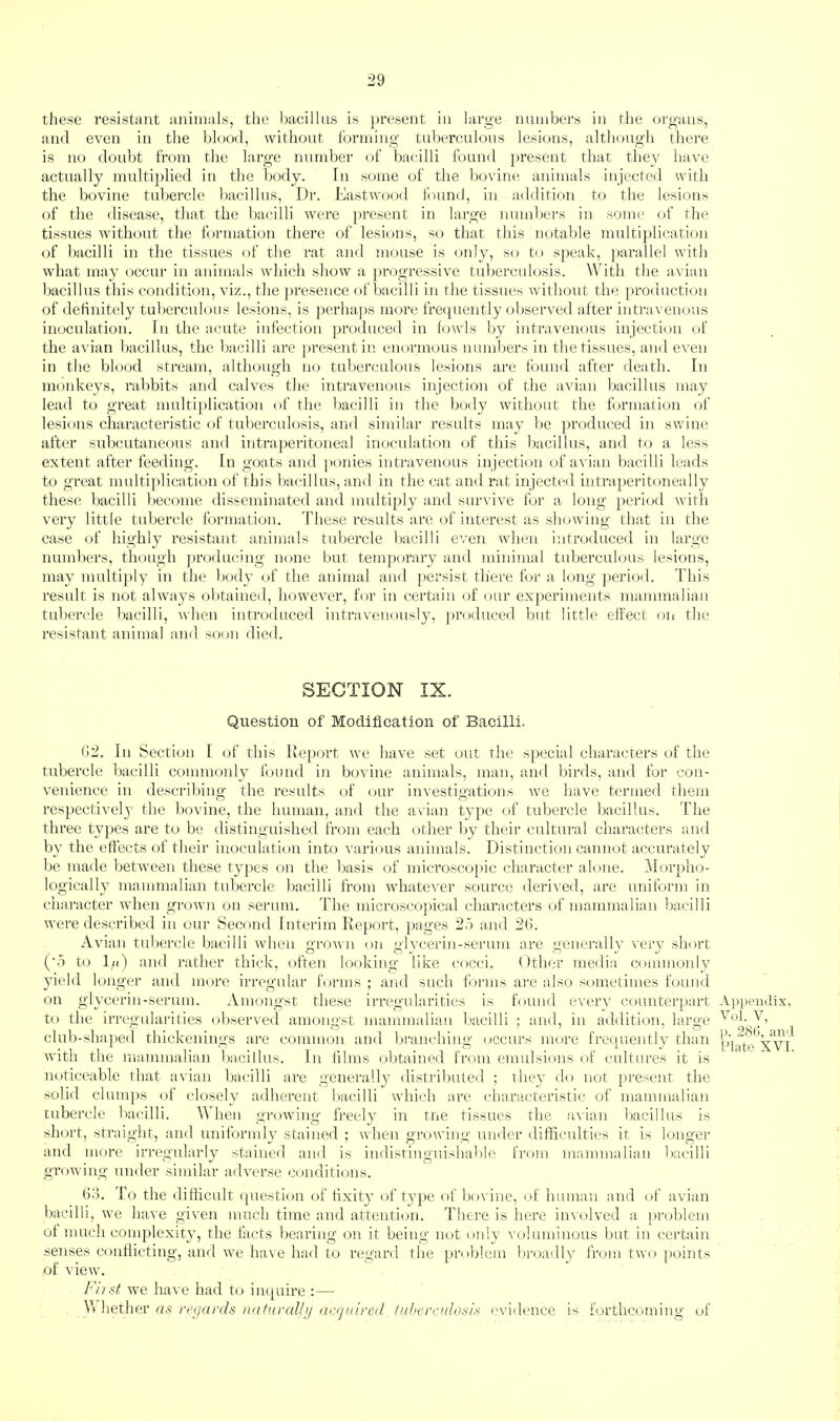 these resistant animals, the bacillus is ])resent in large numbers in the organs, and even in the blood, without forming tuberculous lesions, although there is iKj doubt from the lai’ge nundjer of bacilli found present that they have actually multiplied in the body. Tn some of the bcndiu! animals injected with the bovine tubercle Itacillus, Dr. Eastwood fnmd, in addition to the lesions of the disease, that the bacilli were ])resent in large nund)ei's in some of the tissues without the formation there of lesions, so that this notable multiplication of bacilli in the tissues of the rat and mouse is only, so to s])eak, })arallel with what may occur in animals which show a ])rogressive tuberculosis. With the avian bacillus this condition, viz., the ])resence of bacilli in the tissues wdthout the proiiuction of detinitely tuberculous lesions, is perhaps more frequently (d)served after intravenous inoculation. In the acute infection produced in fowls by intravenous injection of the a\'ian bacillus, the bacilli are [)resentiu enormous numbers in the tissues, and even in the blood stream, although no tuberculous lesions are found after death. In monkeys, rabbits and calves the intravenous injection of the avian bacillus may lead to great multiplication of the bacilli in the body wifliout the formation of lesions characteristic of tuberculosis, and similar results may l)e produced in swine after subcutaneous and intraperitoneal inoculation of this bacillus, and to a less extent after feeding. In goats and ponies intravenous injection of avian bacilli leads to great multiplication of this bacillus, and in the cat and rat inject(‘d intraperitoneally these bacilli become disseminated and multiply and survive for a long period with very little tubercle formation. These results are of interest as showing that in the case of highly resistant animals tubercle bacilli even when introduced in large numbers, though j)roducing none but temporary and minimal tuberculous lesions, may multijdy in the 1)ody of the animal and persist there for a long ])eriod. This result is not always obtained, however, for in certain of our experiments mammalian tultercle bacilli, when introduced intravenously, ])roduced but little effect on the resistant animal and soon died. SECTION IX. Question of Modification of Bacilli. ()2. Ill Section I of this Report we have set out the special characters of the tubercle bacilli commonly found in bovine animals, man, and birds, and for con¬ venience in describing the results of our investigations we have termed them respectively the bovine, the human, and the aeian type of tubercle bacillus. The three types are to be distinguished from each other by their cultural ciiaracters anti by the effects of their inoculation into various animals. Distinction cannot accurately be made between these types on the ftasis of microscopic character alone. i\Iorpho- logically mammalian tubercle bacilli from whatever source derived, are uniform in character when grtiwn on serum. The microscopical characters of mammalian bacilli were described iu our Second Interim Report, jiages 25 and 2(5. Avian tuliercle bacilli when gi-own on glycerin-serum are generally very short ('5 to 1/ij and rather thick, often looking like cocci. ()ther media commonly yield longer and more irregular forms ; and such forms are also sometimes found on glycerin-serum. Amongst these irregularities is found every counterpart to the irregularities observed amongst mammalian bacilli ; and, in addition, large club-sha]ted thickenings are common and branching occurs more frequently than with the mammalian bacillus. In films obtained from emulsions of cultures it is noticeable that avian bacilli are generally distributed ; they do not present the solid clumps of closely adherent l^acilli which are characteristic of mammalian tubercle bacilli. When growing freely in tne tissues the a\ian bacillus is short, straight, and uniformly stained ; when growing under difficulties it is longer and more irregularly stained and is indistinguishafile from mammalian bacilli growing under similar adverse conditions. Appendix. Vol. V, p. 28(5, and Plate XVI. (555. To the difficult question of fixity of tyjie of bovine, of human and of avian bacilli, we have given much time and attention. There is here iinolved a problem ot much complexity, the facts bearing on it being not only voluminous but in certain senses confficting, and we have had to regard the problem f»roadly from two points of view. First we have had to inquire :— Vi hether as regards nafurrd/g aerjuired. (uherruJosis evidence is forthcoming of