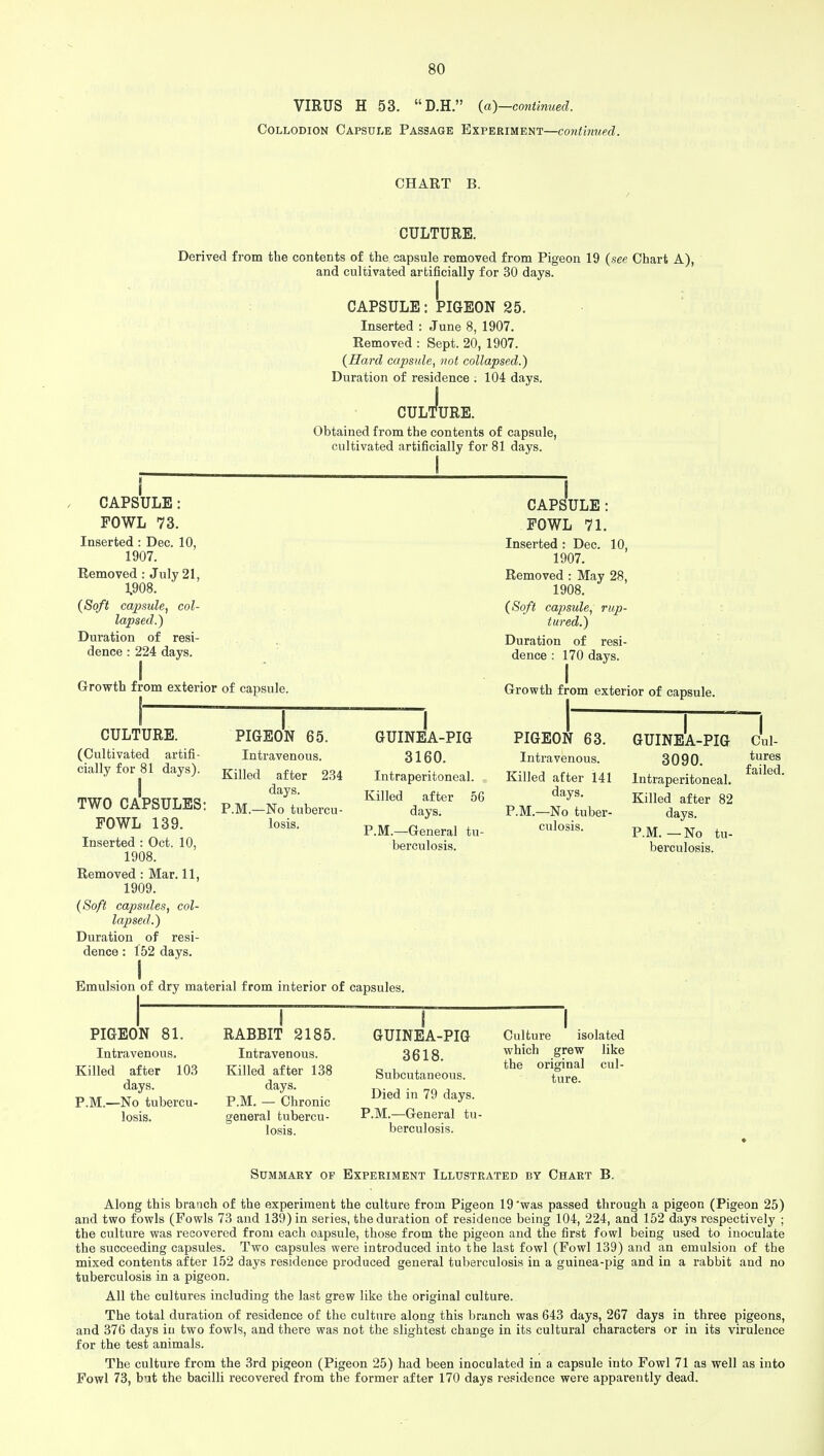 VIRUS H 53.  D.H. (a)—continued. Collodion Capsule Passage Experiment—continued. CHART B. CULTURE. Derived from the contents of the capsule removed from Pigeon 19 (see Chart A), and cultivated artificially for 30 days. CAPSULE: PIGEON 25. Inserted : June 8, 1907. Removed : Sept. 20, 1907. (Hard capsule, not collapsed.) Duration of residence ; 104 days. CULTURE. Obtained from the contents of capsule, cultivated artificially for 81 days. CAPSULE: FOWL 73. Inserted: Dec. 10, 1907. Removed : July 21, 1,908. (Soft capsule, col- lapsed.) Duration of resi- dence : 224 days. Growth from exterior of capsule. CULTURE. (Cultivated artifi- cially for 81 days). I TWO CAPSULES: FOWL 139. Inserted : Oct. 10, 1908. Removed : Mar. 11, 1909. (Soft capsules, col- lapsed.) Duration of resi- dence : 152 days. PIGEON 65. Intravenous. Killed after 234 days. P.M.—No tubercu- losis. GUINEA-PIG 3160. Intraperitoneal. Killed after days. P.M.—General tu- berculosis. 56 I CAPSULE: FOWL 71. Inserted : Dec. 10, 1907. Removed : May 28, 1908. (Soft capsule, rup- tured.) Duration of resi- dence : 170 days. „ I Growth from exterior of capsule. PIGEON 63. Intravenous. Killed after 141 days. P.M.—No tuber- culosis. GUINEA-PIG 3090. Intraperitoneal. Killed after 82 days. P.M.—No tu- berculosis. I Cul- tures failed. Emulsion of dry material from interior of capsules. PIGEON 81. Intravenous. Killed after 103 days. P.M.—No tubercu- losis. RABBIT 2185. Intravenous. Killed after 138 P.M. — Chronic general tubercu- losis. GUINEA-PIG 3618. Subcutaneous. Died in 79 days. P.M.—General tu- berculosis. Culture isolated which grew like the original cul- ture. Summary of Experiment Illustrated by Chart B. Along this branch of the experiment the culture from Pigeon 19'was passed through a pigeon (Pigeon 25) and two fowls (Fowls 73 and 139) in series, the duration of residence being 104, 224, and 152 days respectively ; the culture was recovered from each capsule, those from the pigeon and the first fowl being used to inoculate the succeeding capsules. Two capsules were introduced into the last fowl (Fowl 139) and an emulsion of the mixed contents after 152 days residence produced general tuberculosis in a guinea-pig and in a rabbit and no tuberculosis in a pigeon. All the cultures including the last grew like the original culture. The total duration of residence of the culture along this branch was 643 days, 267 days in three pigeons, and 376 days in two fowls, and there was not the slightest change in its cultural characters or in its virulence for the test animals. The culture from the 3rd pigeon (Pigeon 25) had been inoculated in a capsule into Fowl 71 as well as into Fowl 73, but the bacilli recovered from the former after 170 days residence were apparently dead.