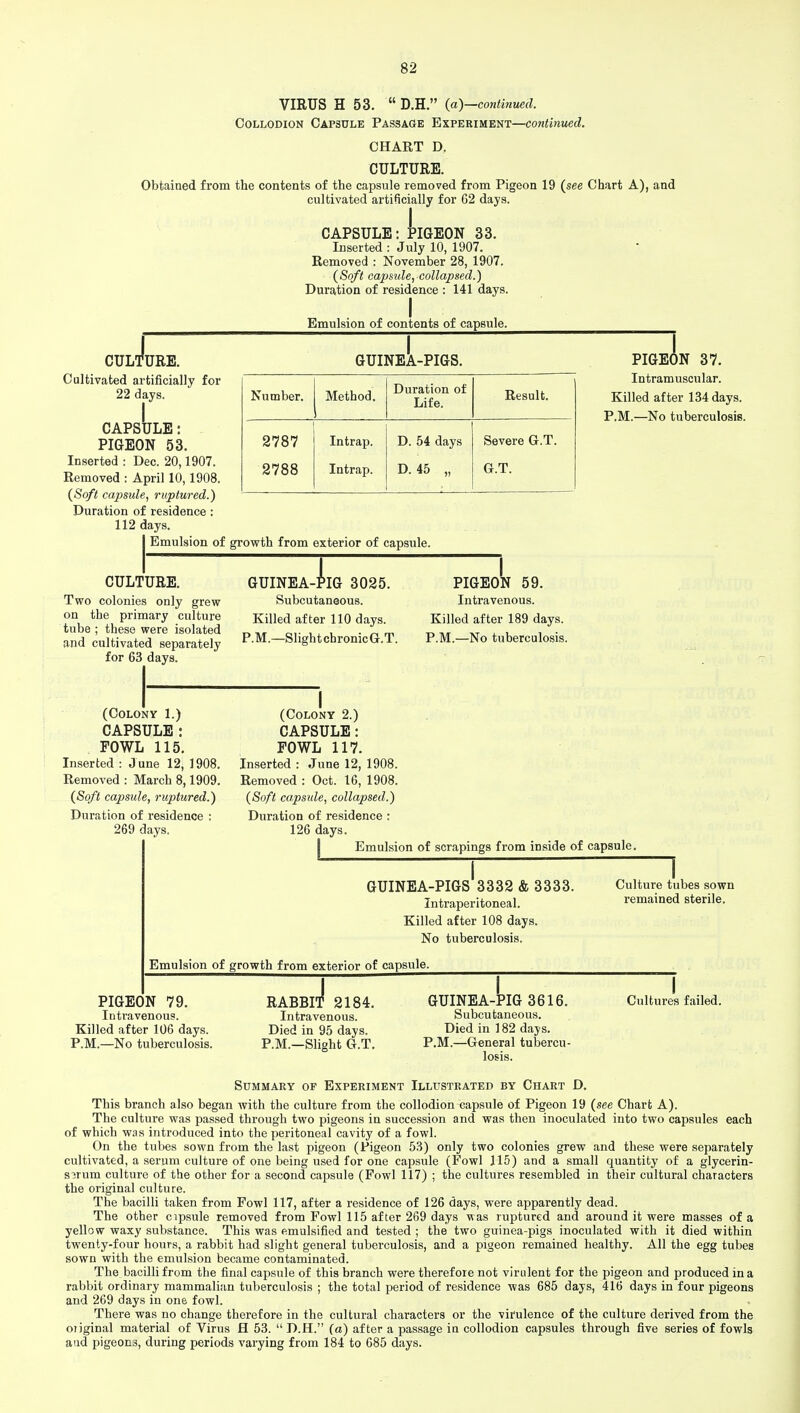 VIRUS H 53.  D.H. (a)—continued. Collodion Capsule Passage Experiment—continued. CHART D. CULTURE. Obtained from the contents of the capsule removed from Pigeon 19 (see Chart A), and cultivated artificially for 62 days. CAPSULE: PIGEON 33. Inserted : July 10, 1907. Removed : November 28, 1907. (Soft capsule, collapsed.) Duration of residence : 141 days. Emulsion of contents of capsule. CULTURE. Cultivated artificially for 22 days. I CAPSULE: PIGEON 53. Inserted : Dec. 20,1907. Removed : April 10,1908. (Soft capsule, ruptured.) Duration of residence : 112 days. GUINEA-PIGS. Number. Method. Duration of Life. Result. 2787 2788 Intrap. Intrap. D. 54 days D.45 „ Severe G.T. G.T. PIGEON 37. Intramuscular. Killed after 134 days. P.M.—No tuberculosis. Emulsion of growth from exterior of capsule. CULTURE. Two colonies only grew on the primary culture tube ; these were isolated and cultivated separately for 63 days. GUINEA-PIG 3025. Subcutaneous. Killed after 110 days. P.M.—Slight chronicG.T. PIGEON 59. Intravenous. Killed after 189 days. P.M.—No tuberculosis. (Colony 1.) CAPSULE: FOWL 115. Inserted : June 12, 1908. Removed : March 8,1909. (Soft capsule, ruptured.) Duration of residence : 269 days. (Colony 2.) CAPSULE: FOWL 117. Inserted : June 12, 1908. Removed : Oct. 16, 1908. (Soft capsule, collapsed.) Duration of residence : 126 days. Emulsion of scrapings from inside of capsule. GUINEA-PIGS 3332 & 3333. Intraperitoneal. Killed after 108 days. No tuberculosis. Culture tubes sown remained sterile. Emulsion of growth from exterior of capsule. PIGEON 79. Intravenous. Killed after 106 days. P.M.—No tuberculosis. RABBIT 2184. Intravenous. Died in 95 days. P.M.—Slight G.T. GUINEA-PIG 3616. Subcutaneous. Died in 182 days. P.M.—General tubercu- losis. Cultures failed. Summary of Experiment Illustrated by Chart D. This branch also began with the culture from the collodion capsule of Pigeon 19 (see Chart A). The culture was passed through two pigeons in succession and was then inoculated into two capsules each of which was introduced into the peritoneal cavity of a fowl. On the tubes sown from the last pigeon (Pigeon 53) only two colonies grew and these were separately cultivated, a serum culture of one being used for one capsule (Fowl 115) and a small quantity of a glycerin- s^rum culture of the other for a second capsule (Fowl 117) ; the cultures resembled in their cultural characters the original culture. The bacilli taken from Fowl 117, after a residence of 126 days, were apparently dead. The other cipsule removed from Fowl 115 after 269 days was ruptured and around it were masses of a yellow waxy substance. This was emulsified and tested ; the two guinea-pigs inoculated with it died within twenty-four hours, a rabbit had slight general tuberculosis, and a pigeon remained healthy. All the egg tubes sown with the emulsion became contaminated. The bacilli from the final capsule of this branch were therefore not virulent for the pigeon and produced in a rabbit ordinary mammalian tuberculosis ; the total period of residence was 685 days, 416 days in four pigeons and 269 days in one fowl. There was no change therefore in the cultural characters or the virulence of the culture derived from the oiiginal material of Virus fl 53.  D.H. (a) after a passage in collodion capsules through five series of fowls and pigeons, during periods varying from 184 to 685 days.