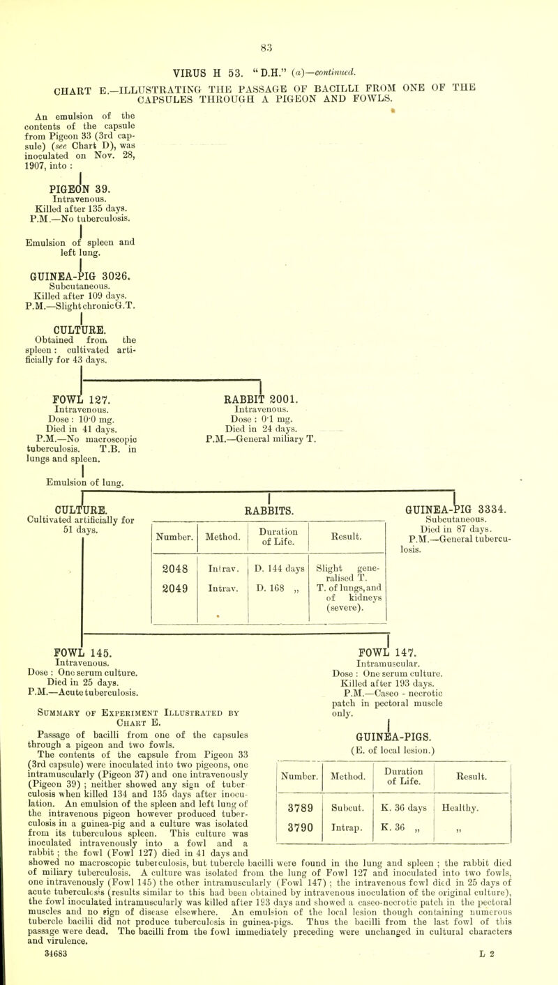 VIRUS H 53.  D.H. (a)—continued. CHART E —ILLUSTRATING THE PASSAGE OF BACILLI FROM ONE OF THE CAPSULES THROUGH A PIGEON AND FOWLS. An emulsion of the contents of the capsule from Pigeon 33 (3rd cap- sule) (see Chart D), was inoculated on Nov. 28, 1907, into : PIGEON 39. Intravenous. Killed after 135 days. P.M.—No tuberculosis. Emulsion of spleen and left lung. GUINEA-PIG 3026. Subcutaneous. Killed after 109 days. P.M.—Slight chronicG.T. I CULTURE. Obtained from the spleen: cultivated arti- ficially for 43 days. FOWL 127. Intravenous. Dose: 10 0 mg. Died in 41 days. P.M.—No macroscopic tuberculosis. T.B. in lungs and spleen. I Emulsion of lung. RABBIT 2001. Intravenous. Dose : 0-l mg. Died in 24 days. P.M.—General miliary T. I CULTURE. Cultivated artificially for 51 days. RABBITS. Number. Method. Duration of Life. Result. 2048 Intrav. D. 144 days Slight gene- ralised T. 2049 Intrav. D. 168 „ T. of lungs, and of kidneys • (severe). GUINEA-PIG 3334. Subcutaneous. Died in 87 days. P.M.—General tubercu- losis. FOWL 147. Intramuscular. Dose : One serum culture. Killed after 193 days. P.M.—Caseo - necrotic patch in pectoial muscle only. I GUINEA-PIGS. (E. of local lesion.) FOWL 145. Intravenous. Dose : One serum culture. Died in 25 days. P.M.—Acute tuberculosis. Summary of Experiment Illustrated by Chart E. Passage of bacilli from one of the capsules through a pigeon and two fowls. The contents of the capsule from Pigeon 33 (3rd capsule) were inoculated into two pigeons, one intramuscularly (Pigeon 37) and one intravenously (Pigeon 39) ; neither showed any sign of tuber culosis when killed 134 and 135 days after inocu- lation. An emulsion of the spleen and left lung of the intravenous pigeon however produced tuber- culosis in a guinea-pig and a culture was isolated from its tuberculous spleen. This culture was inoculated intravenously into a fowl and a rabbit ; the fowl (Fowl 127) died in 41 days and showed no macroscopic tuberculosis, but tubercle bacilli were found in the lung and spleen ; the rabbit died of miliary tuberculosis. A culture was isolated from the lung of Fowl 127 and inoculated into two fowls, one intravenously (Fowl 145) the other intramuscularly (Fowl 147) ; the intravenous fowl died in 25 days of acute tuberculosis (results similar to this had been obtained by intravenous inoculation of the original culture), the fowl inoculated intramuscularly was killed after 193 days and showed a caseo-necrotic patch in the pectoral muscles and no sign of disease elsewhere. An emulsion of the local lesion though containing numerous tubercle bacilii did not produce tuberculosis in guinea-pigs. Thus the bacilli from the last fowl of this passage were dead. The bacilli from the fowl immediately preceding were unchanged in cultural characters and virulence. Number. Method. Duration of Life. Result. 3789 3790 Subcut. Intrap. K. 36 days K. 36 „ Healthy. 34683 L 2