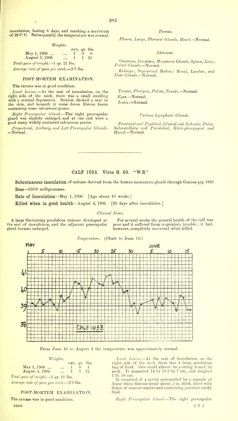 inoculation, lasting 6 days, and reaching a maximum of 39-6° C. Subsequently the temperature was normal. Weights. cwt. qr. lbs. May 1, 1906 1 0 0 August 3, 1906 ... 1 1 21 Total gain of weight.—1 qr. 21 lbs. Average rate of gain per iveek.—3-7 lbs. POST-MORTEM EXAMINATION. The carcass was in gcod condition. Local Lesion.—At the seat of inoculation, on the right side of the neck, there was a small swelling with a central depression. Section showed a scar in the skin, and beneath it some dense fibrous tissue containing some calcareous grains. Right Prescapular Gland,—The right prescapular giand was slightly enlarged, and at one end were a good many widely scattered calcareous grains. Prepectoral, Axillary, and Left Prescapular Glands. —Normal. Thorax. Pleura, Lungs, Thoracic Glands, Heart.—Normal. Abdomen. Omentum, Intestines, Mesenteric Glands, Spleen, Liver, Portal Glands.—Normal. Kidneys ; Suprarenal Bodies; Renal, Lumbar, and Iliac Glands.—Normal. Tongue, Pharynx, Palate, Tonsils.—Normal. Eyes.—Normal. Testes.—Normal. Various Lymphatic Glands. Precrural and Popliteal, Gluteal and Ischiatic, Pubic, Submaxillary and Parotideal, Retro-pharyngeal and Hyoid.—Normal. CALF 1053. Virus H. 60. W.B. Subcutaneous inoculation of culture derived from the human mesenteric glands through Guinea-pig 1830 Dose—650 0 milligrammes. Date of Inoculation—May 1, 1906. [Age about 10 weeks.] Killed when in good health—August 4, 1906. [95 days after inoculation.] Clinical Notes. A large fluctuating pendulous tumour developed at For several weeks the general health of the calf was the seat of inoculation, and the adjacent prescapular poor and it suffered from respiratory trouble ; it had, gland became enlarged. however, completely recovered when killed. Temperature. (Chart to June 16.) j L 3? 38 1 0 £ 30 i 5 £=!5 5 From June 16 to August 4 the temperature was approximately normal. Weights. May 1, 1906 ... August 4, 1906 cwt. qr. 1 0 1 1 lbs. 1 12 Total gain of weight.—1 qr. 11 lbs. Average rate of gain per week.—29 lbs. POST-MORTEM EXAMINATION. The carcass was in good condition. 34683 Local Lesion.—At the seat of inoculation on the right side of the neck there was a large pendulous bag of fluid. One could almost tie a string round its neck. It measured 14 by 10 2 by 7 cm., and weighed 1 lb. 10 ozs. It consisted of a cavity surrounded by a capsule of dense white fibrous tissue about | in. thick, lined with flakes of caseous matter and containing purulent curdy fluid. Right Prescapular Gland.—The right prescapular 2X2