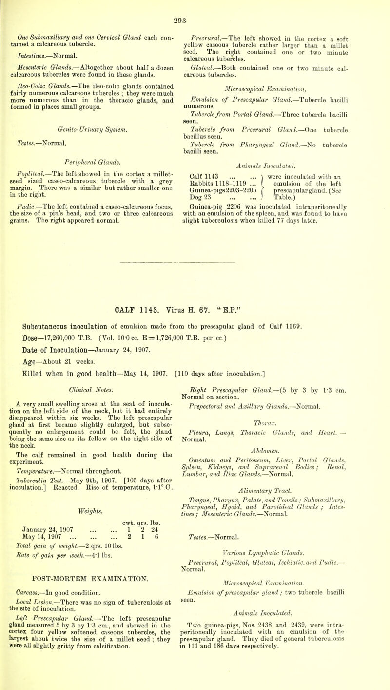 One Submaxillary and one, Cervical Gland each con- tained a calcareous tubercle. Intestines.—Normal. Mesenteric Glands.—Altogether about half a dozen calcareous tubercles were found in these glands. Reo-Colic Glands.—The ileo-colic glands contained fairly numerous calcareous tubercles ; they were much more numerous than in the thoracic glands, and formed in places small groups. Genito-Urinary System. Testes.—Normal. Peripheral Glands. Popliteal.—The left showed in the cortex a millet- seed sized caseo-calcareous tubercle with a grey margin. There was a similar but rather smaller one in the right. Pudic.—The left contained a caseo-calcareous focus, the size of a pin's head, and two or three calcareous grains. The right appeared normal. Precrural.—The left showed in the cortex a soft yellow caseous tubercle rather larger than a millet seed. The right contained one or two minute calcareous tubercles. Gluteal.—Both contained one or two minute cal- careous tubercles. Microscopical Examination. Emulsion of Prescapular Gland.—Tubercle bacilli numerous. Tubercle from Portal Gland.—'Three tubercle bacilli seen. Tubercle from Precrural Gland.—One tubercle bacillus seen. Tubercle from Pharyngeal Gland.—No tubercle bacilli seen. Animals Inoculated. Calf 1143 ) were inoculated with an Rabbits 1118-1119 ... ( emulsion of the left Guinea-pigs 2203-2205 ( prescapular gland. (See Dog 23 j Table.) Guinea-pig 2206 was inoculated intrapsritoneally with an emulsion of the spleen, and was found to have slight tuberculosis when killed 77 days later. CALF 1143. Virus H. 67.  E.P. Subcutaneous inoculation of emulsion made from the prescapular gland of Calf 1169. Dose—17,260,000 T.B. (Vol. 10 0 cc. E = 1,726,000 T.B. per cc ) Date of Inoculation—January 24, 1907. Age—About 21 weeks. Killed when in good health—May 14, 1907. [110 days after inoculation.] Clinical Notes. A very small swelling arose at the seat of inocula- tion on the left side of the neck, but it had entirely disappeared within six weeks. The left prescapular gland at first became slightly enlarged, but subse- quently no enlargement could be felt, the gland being the same size as its fellow on the right side of the neck. The calf remained in good health during the experiment. Temperature.—Normal throughout. luberculin Test.—May 9th, 1907. [105 days after inoculation.] Reacted. Rise of temperature, 1*1° C . Weights. cwt. ars. lbs. January 24, 1907 1 2 24 May 14, 1907 2 1 6 Total gain of weight.—2 qrs. 10 lbs. Rate of gain per week.—4'1 lbs. POST-MORTEM EXAMINATION. Carcass.—In good condition. Local Lesion.—There was no sign of tuberculosis at the site of inoculation. Left Prescapular Gland. — The left prescapular gland measured 5 by 3 by 1-3 cm., and showed in the cortex four yellow softened caseous tubercles, the largest about twice the size of a millet seed ; they were all slightly gritty from calcification. Right Prescapular Gland.—(5 by 3 by 1*3 cm. Normal on section. Prepectoral and Axillary Glands.—Normal. Thorax. Pleura, Lungs, Thoracic Glands, and Heart. — Normal. Abdomen. Omentum and Peritoneum, Lioer, Portal Glands, Spleen, Kidneys, and Suprarenal Bodies; Renal, Lumbar, and Iliac Glands.—Normal. Alimentary Tract. Tongue, Pharynx, Palate, and Tonsils ; Submaxillary, Pharyngeal, Ilyoid, and Parotideal Glands ; Intes- tines; Mesenteric Glands.—Normal. Testes.—Normal. Various Lymphatic Glands. Precrural, Popliteal, Gluteal, Ischiatic,and Pudic.— Normal. Microscopical Examination. Emulsion of prescapular gland ; two tubercle bacilli seen. Animals Inoculated. Two guinea-pigs, Nos. 2438 and 2439, were intra- peritoneally inoculated with an emulsion of the prescapular gland. They died of general tuberculosis in 111 and 186 days respectively.