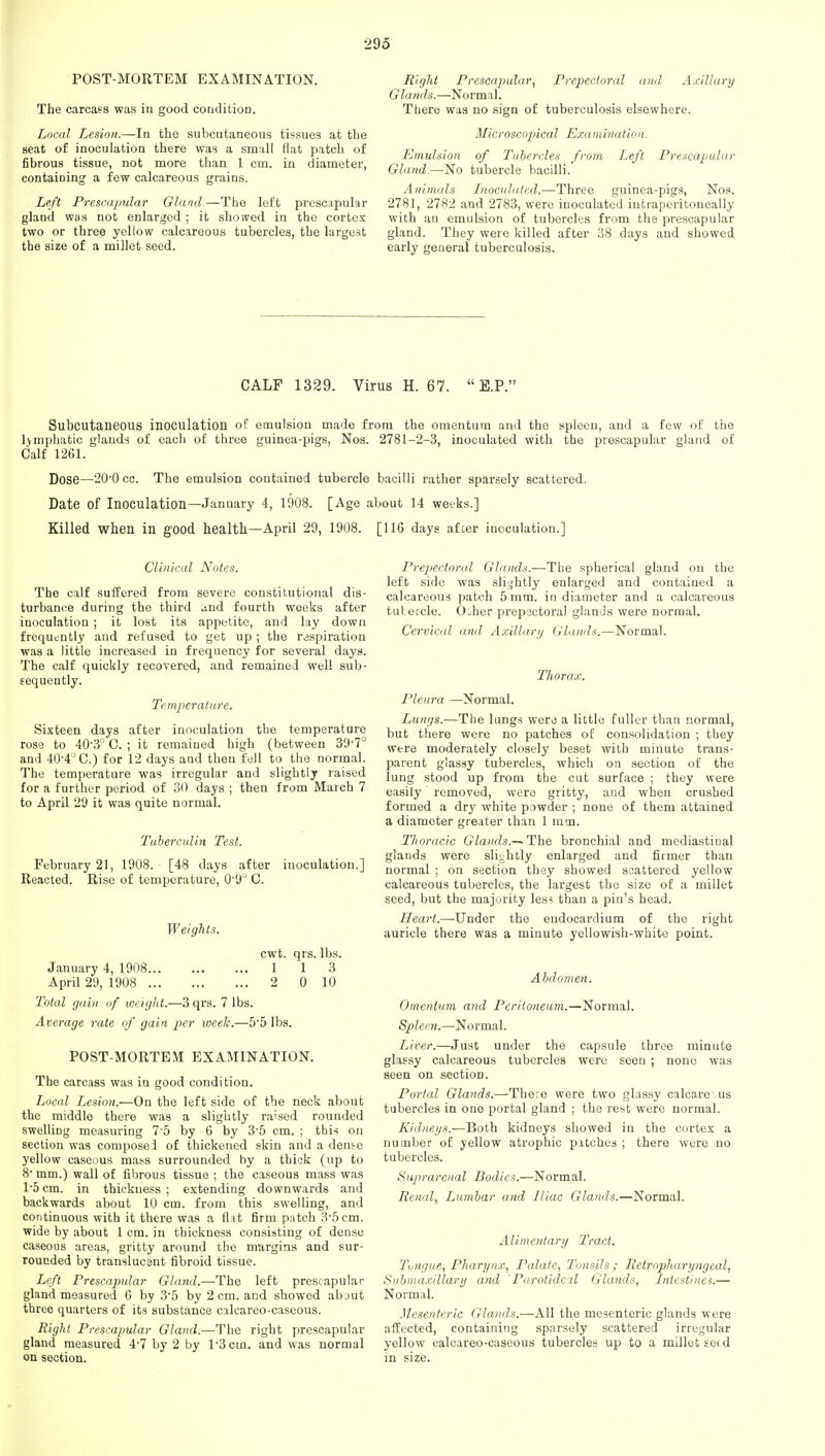 POST-MORTEM EXAMINATION. The carcass was in good condition. Local Lesion.—In the subcutaneous tissues at the seat of inoculation there was a small flat patch of fibrous tissue, not more than 1 cm. in diameter, containing a few calcareous grains. Left Prescapular Gland.—The left prescapular gland was not enlarged ; it showed in the cortex two or three yellow calcareous tubercles, the largest the size of a millet seed. Right Prescapular, Prepecloral and Axillary G la nds.—Normal. There was no sign of tuberculosis elsewhere. Microscopical Examination. Emulsion of Tubercles from Left Prescapular Gland.—No tubercle bacilli. Animals Inoculated.—Three guinea-pigs, Nos. 2781, 2782 and 2783, were inoculated intraperitoneally with an emulsion of tubercles from the prescapular gland. They were killed after 38 days and showed early general tuberculosis. CALF 1329. Virus H. 67.  E.P. Subcutaneous inoculation of emulsion made from the omentum and the spleen, and a few of the lymphatic glands of each of three guinea-pigs, Nos. 2781-2-3, inoculated with the prescapular gland of Calf 1261. Dose—2O0 cc. The emulsion contained tubercle bacilli rather sparsely scattered. Date of Inoculation—January 4, 1908. [Age about 14 weeks.] Killed when in good health—April 29, 1908. [116 days after inoculation.] Clinical Notes. The calf suffered from severe constitutional dis- turbance during the third dnd fourth weeks after inoculation ; it lost its appetite, and lay down frequently and refused to get up ; the respiration was a little increased in frequency for several days. The calf quickly recovered, and remained well sub- sequently. Temperature. Sixteen days after inoculation the temperature rose to 40'3° C. ; it remained high (between 39-7° and 40'4°C.) for 12 days and then fell to the normal. The temperature was irregular and slightly raised for a further period of 30 days ; then from March 7 to April 29 it was quite normal. Tuberculin Test. February 21, 1908. [48 days after inoculation.] Reacted. Rise of temperature, 0-9° C. Weights. cwt. qrs. lbs. January 4, 1908 1 1 3 April 29, 1908 2 0 10 Total gain of iveight.—3 qrs. 7 lbs. Average rate of gain per week.—5-5 lbs. POST-MORTEM EXAMINATION. The carcass was in good condition. Local Lesion.—On the left side of the neck about the middle there was a slightly ra;sed rounded swelling measuring 75 by 6 by 3'5 cm. ; this on section was compose! of thickened skin and a dense yellow caseous mass surrounded by a thick (up to 8 mm.) wall of fibrous tissue ; the caseous mass was 15 cm. in thickness ; extending downwards and backwards about 10 cm. from this swelling, and continuous with it there was a flat firm patch 3*5 cm. wide by about 1 cm. in thickness consisting of dense caseous areas, gritty around the margins and sur- rounded by translucent fibroid tissue. Left Prescapular Gland.—The left prescapular gland measured 6 by 3-5 by 2 cm. and showed about three quarters of its substance calcareo-caseous. Right Prescapular Gland.—The right prescapular gland measured 4*7 by 2 by l-3cm. and was normal on section. Prepecloral Glands.—The spherical gland on the left side was slightly enlarged and contaiued a calcareous patch 5 mm. in diameter and a calcareous tuLercle. Ouher prepsctoral glands were normal. Cervical arid Axillary Glands.—Normal. Thorax. Pleura —Normal. Lungs.—The lungs were a little fuller than normal, but there were no patches of consolidation ; they were moderately closely beset with minute trans- parent glassy tubercles, which on section of the lung stood up from the cut surface ; they were easily removed, were gritty, and when crushed formed a dry white powder ; none of them attained a diameter greater than 1 mm. Thoracic Glands.-^The bronchial and mediastinal glands were slightly enlarged and firmer than normal ; on section they showed scattered yellow calcareous tubercles, the largest the size of a millet seed, but the majority les? than a pin's head. Heart.—Under the endocardium of the right auricle there was a minute yellowish-white point. Abdomen. Omentum and Peritoneum.—Normal. Spleen.—Normal. Liver.—Just under the capsule three minute glassy calcareous tubercles were seen ; none was seen on section. Portal Glands.—There were two glassy calcare us tubercles in one portal gland ; the rest were normal. Kidneys.—Both kidneys showed in the cortex a number of yellow atrophic pitches ; there were no tubercles. Suprarenal Bodies.—Normal. Renal, Lumbar and Iliac Glands.—Normal. Alimentary Tract. Tongue, Pharynx, Palate, Tonsils; Retropharyngeal, Submaxillary and Parotidcil Glands, Intestines.— Normal. Mesenteric Glands.—All the mesenteric glands were affected, containing sparsely scattered irregular yellow calcareo-caseous tubercles up to a millet setd in size.
