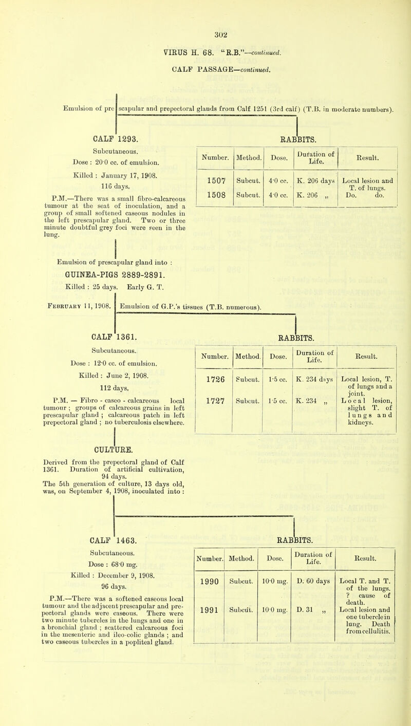 VIRUS H. 68. 11 KB.—continued. CALF PASSAGE—continued. Emulsion of pre scapular and prepectoral glands from Calf 1251 (3rd calf) (T.B. in moderate numbers). CALF 1293. Subcutaneous. Dose : 20 0 cc. of emulsion. Killed : January 17, 1908. 116 days. P.M.—There was a small fibro-calcareous tumour at the seat of inoculation, and a group of small softened caseous nodules in the left prescapular gland. Two or three minute doubtful grey foci were seen in the lung. RABBITS. Number. Method. Dose. Duration of Life. Result. 1507 1508 Subcut. Subcut. 4-0 cc. 4-0 cc. K. 206 days K. 206 „ Local lesion and T. of lungs. Do. do. Emulsion of prescapular gland into : GUINEA-PIGS 2889-2891. Killed : 25 days. Early G. T. February 11,1908. Emulsion of G.P.'s tissues (T.B. numerous). CALF 1361. Subcutaneous. Dose : 12-0 cc. of emulsion. Killed : June 2, 1908. 112 days. P.M. — Fibro - caseo - calcareous local tumour ; groups of calcareous grains in left prescapular gland ; calcareous patch in left prepectoral gland ; no tuberculosis elsewhere. RABBITS. Number. Method. Dose. Duration of Life. Result. 1726 Subcut. 15 cc. K. 234 days Local lesion, T. of lungs and a joint. 1727 Subcut. 15 cc. K. 234 „ Local lesion, slight T. of lungs and kidneys. CULTURE. Derived from the prepectoral gland of Calf 1361. Duration of artificial cultivation, 94 days. The 5th generation of culture, 13 days old, was, on September 4, 1908, inoculated into : CALF 1463. Subcutaneous. Dose : 68 0 mg. Killed : December 9, 1908. 96 days. P.M.—There was a softened caseous local tumour and the adjacent prescapular and pre- pectoral glands were caseous. There were two minute tubercles in the lungs and one in a bronchial gland ; scattered calcareous foci in the mesenteric and ileo-colic glands ; and two caseous tubercles in a popliteal gland. RABBITS. Number. Method. Dose. Duration of Life. Result. 1990 Subcut. 10-0 mg. D. 60 days Local T. and T. of the lungs. ? cause of death. 1991 Subcut. 10 0 mg. D. 31 „ Local lesion and one tubercle in lung. Death from cellulitis.