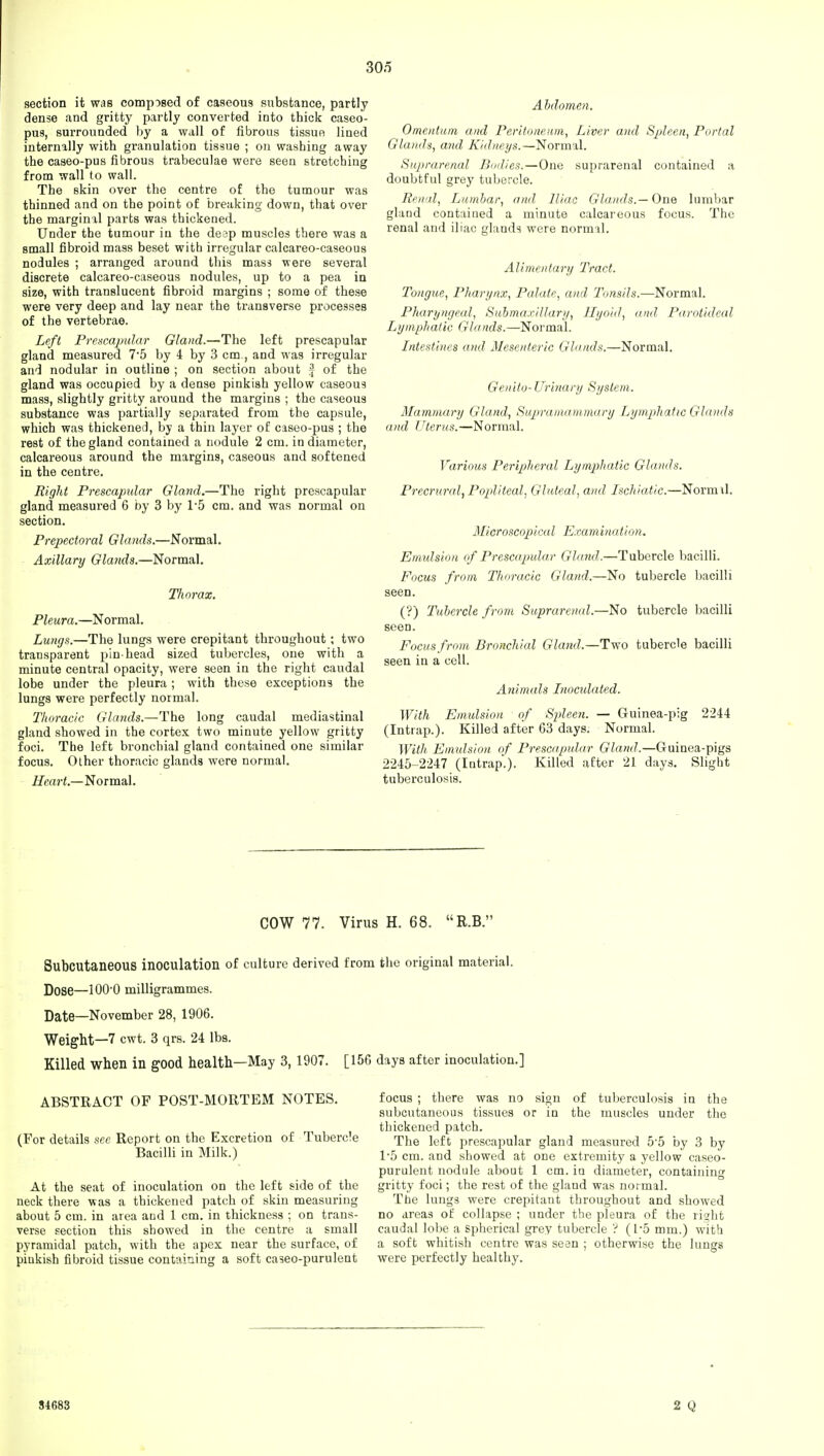 30o section it was composed of caseous substance, partly dense and gritty partly converted into thick caseo- pus, surrounded by a wall of fibrous tissue lined internally with granulation tissue ; on washing away the caseo-pus fibrous trabeculae were seen stretching from wall to wall. The skin over the centre of the tumour was thinned and on the point of breaking down, that over the marginal parts was thickened. Under the tumour in the deap muscles there was a small fibroid mass beset with irregular calcareo-caseous nodules ; arranged around this mass were several discrete calcareo-caseous nodules, up to a pea in size, with translucent fibroid margins ; some of these were very deep and lay near the transverse processes of the vertebrae. Left Prescapular Gland.—The left prescapular gland measured 75 by 4 by 3 cm., and was irregular and nodular in outline ; on section about f of the gland was occupied by a dense pinkish yellow caseous mass, slightly gritty around the margins ; the caseous substance was partially separated from the capsule, which was thickened, by a thin layer of caseo-pus ; the rest of the gland contained a nodule 2 cm. in diameter, calcareous around the margins, caseous and softened in the centre. Right Prescapular Gland.—The right prescapular gland measured 6 by 3 by l-5 cm. and was normal on section. Prepectoral Glands.—Normal. Axillary Glands.—Normal. Thorax. Pleura.—Normal. Lungs.—The lungs were crepitant throughout; two transparent pin-head sized tubercles, one with a minute central opacity, were seen in the right caudal lobe under the pleura; with these exceptions the lungs were perfectly normal. Thoracic Glands.—The long caudal mediastinal gland showed in the cortex two minute yellow gritty foci. The left bronchial gland contained one similar focus. Other thoracic glands were normal. Heart.—Normal. Abdomen. Omentum and Peritoneum, Liver and Spleen, Portal Glands, and Kidneys.—Normal. Suprarenal Bodies.—One suprarenal contained a doubtful grey tubercle. Renal, Lumbar, and Iliac Glands.— One lumbar gland contained a minute calcareous focus. The renal and iliac glands were normal. Alimentary Tract. Tongue, Pharynx, Palate, and Tonsils.—Normal. Pharyngeal, SubmaxillaryHyoid, and Parotideal Lymphatic Glands.—Normal. Intestines and Mesenteric Glands.—Normal. Geuito-Urinary System. Mammary Gland, Supramammary Lymphatic Glands and Uterus.—Normal. Various Peripheral Lymphatic Glands. Precrural, Popliteal, Gluteal, and Ischiatic.—Normil. Microscopical Examination. Emulsion of Prescapular Gland.—Tubercle bacilli. Focus from Thoracic Gland.—No tubercle bacilli seen. (?) Tubercle from Suprarenal.—No tubercle bacilli seen. Focus from Bronchial Gland.—Two tubercle bacilli seen in a cell. Animals Inoculated. With Emulsion of Spleen. — Guinea-pig 2244 (Intrap.). Killed after G3 days. Normal. With Emulsion of Prescapular Gland.—Guinea-pigs 2245-2247 (Intrap'.). Killed after 21 days. Slight tuberculosis. COW 77. Virus H. 68. R.B. Subcutaneous inoculation of culture derived from the original material. Dose—100-0 milligrammes. Date—November 28, 1906. Weight—7 cwt. 3 qrs. 24 lbs. Killed When in good health—May 3, 1907. [156 days after inoculation.] ABSTRACT OF POST-MORTEM NOTES. (For details see Report on the Excretion of Tubercle Bacilli in Milk.) At the seat of inoculation on the left side of the neck there was a thickened patch of skin measuring about 5 cm. in area and 1 cm. in thickness ; on trans- verse section this showed in the centre a small pyramidal patch, with the apex near the surface, of pinkish fibroid tissue containing a soft caseo-purulent focus ; there was no sign of tuberculosis in the subcutaneous tissues or in the muscles under the thickened patch. The left prescapular gland measured 5'5 by 3 by 1*5 cm. and showed at one extremity a yellow caseo- purulent nodule about 1 cm. in diameter, containing gritty foci; the rest of the gland was normal. The lungs were crepitant throughout and showed no areas of collapse ; under the pleura of the right caudal lobe a Spherical grey tubercle ? (1*5 mm.) with a soft whitish centre was seen ; otherwise the lungs were perfectly healthy. 84683