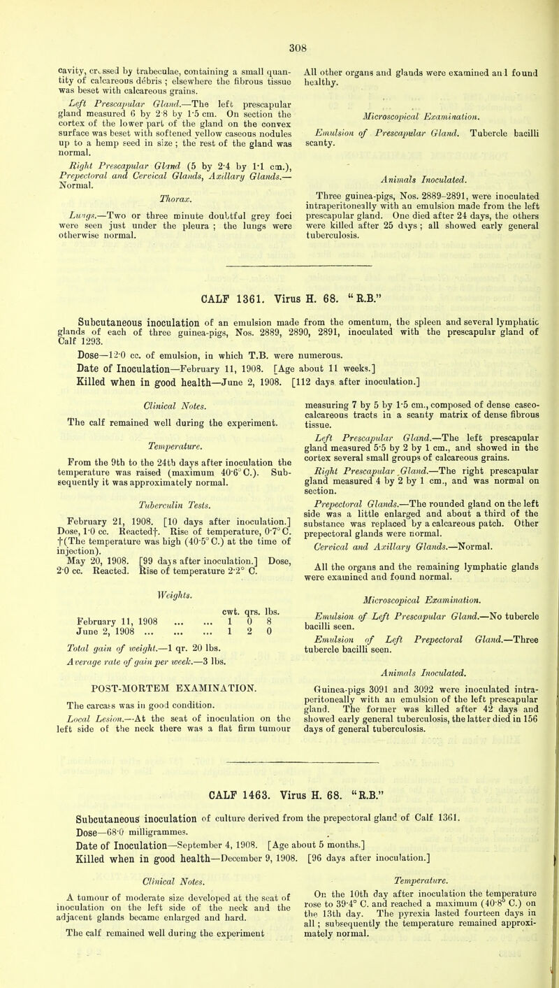 cavity, civ ssed by trabeculae, containing a small quan- tity of calcareous debris ; elsewhere the fibrous tissue was beset with calcareous grains. Left Prescapular Gland.—The left prescapular gland measured 6 by 2 8 by 1*5 cm. On section the cortex of the lower part of the gland on the convex surface was beset with softened yellow caseous nodules up to a hemp seed in size ; the rest of the gland was normal. Right Prescapular Gland (5 by 2-4 by 1*1 cm.), Prepectoral and Cervical Glands, Axillary Glands.— Normal. Thorax. Lungs.—Two or three minute doubtful grey foci were seen just under the pleura ; the lungs were otherwise normal. All other organs and glauds were examined aul found healthy. Microscopical Examination. Emulsion of Prescapular Gland. Tubercle bacilli scanty. Animals Inoculated. Three guinea-pigs, Nos. 2889-2891, were inoculated intraperitoneally with an emulsion made from the left prescapular gland. One died after 24 days, the others were killed after 25 diys ; all showed early general tuberculosis. CALF 1361. Virus H. 68.  R.B. Subcutaneous inoculation of an emulsion made from the omentum, the spleen and several lymphatic glands of each of three guinea-pigs, Nos. 2889, 2890, 2891, inoculated with the prescapular gland of Calf 1293. Dose—12-0 cc. of emulsion, in which T.B. were numerous. Date of Inoculation—February 11, 1908. [Age about 11 weeks.] Killed when in good health—June 2, 1908. [112 days after inoculation.] Clinical Notes. The calf remained well during the experiment. Temperature. From the 9th to the 24tb days after inoculation the temperature was raised (maximum 40*6° C). Sub- sequently it was approximately normal. Tuberculin Tests. February 21, 1908. [10 days after inoculation.] Dose, TO cc. Keactedf. Rise of temperature, 0'7°C. f(The temperature was high (40'5°C.) at the time of injection). May 20, 1908. [99 dajs after inoculation.] Dose, 2 0 cc. Reacted. Rise of temperature 2-2° C. Weights. cwt. qrs. lbs. February 11, 1908 1 0 8 June 2, 1908 1 2 0 Total gain of loeight.—1 qr. 20 lbs. Average rate of gain per week.—3 lbs. POST-MORTEM EXAMINATION. The carcass was in good condition. Local Lesion.—At the seat of inoculation on the left side of tbe neck there was a flat firm tumour measuring 7 by 5 by 1*5 cm., composed of dense caseo- calcareous tracts in a scanty matrix of dense fibrous tissue. Left Prescapular Gland.—The left prescapular gland measured 5-5 by 2 by 1 cm., and showed in the cortex several small groups of calcareous grains. Right Prescapular Gland.—The right prescapular gland measured 4 by 2 by 1 cm., and was normal on section. Prepectoral Glands.—The rounded gland on the left side was a little enlarged and about a third of the substance was replaced by a calcareous patch. Other prepectoral glands were normal. Cervical and Axillary Glands.—Normal. All the organs and the remaining lymphatic glands were examined and found normal. Microscopical Examination. Emulsion of Left Prescapular Gland.—No tubercle bacilli seen. Emulsion of Left Prepectoral Gland.—Three tubercle bacilli seen. Animals Inoculated. Guinea-pigs 3091 and 3092 were inoculated intra- peritoneally with an emulsion of the left prescapular gland. The former was killed after 42 days and showed early general tuberculosis, the latter died in 156 days of general tuberculosis. CALF 1463. Virus H. 68. R.B. Subcutaneous inoculation of culture derived from the prepectoral gland of Calf 1361. Dose—68'0 milligrammes. Date of Inoculation—September 4, 1908. [Age about 5 months.] Killed when in good health—December 9, 1908. [96 days after inoculation.] Clinical Notes. A tumour of moderate size developed at the seat of inoculation on the left side of the neck and the adjacent glands became enlarged and hard. The calf remained well during the experiment Temperature. On the 10th day after inoculation the temperature rose to 39-4° C. and reached a maximum (40-8° C.) on the 13th day. The pyrexia lasted fourteen days in all; subsequently the temperature remained approxi- mately normal.