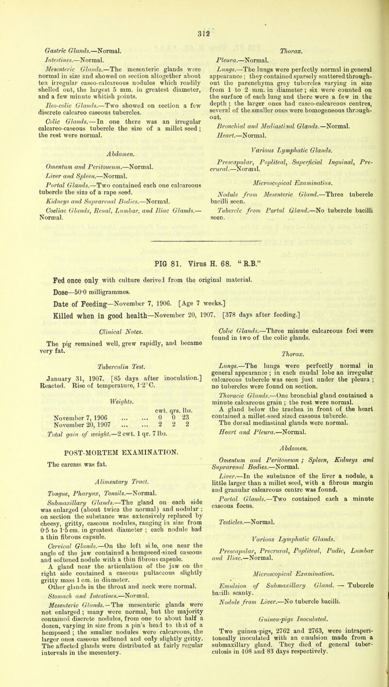 Gastric Glands.—Normal. Intestines.—Normal. Mesenteric Glands.—The mesenteric glands were normal in size and showed on section altogether about ten irregular caseo-calcareous nodules which readily shelled out, the largest 5 mm. in greatest diameter, and a few minute whitish points. Heo-colic Glands.—Two showed on section a few discrete calcareo caseous tubercles. Colic Glands.—In one there was an irregular calcareo-caseous tubercle the size of a millet seed ; the rest were normal. Abdomen. Omentum and Peritoneum.—Normal. Liver and Spleen.—Normal. Portal Glands.—Two contained each one calcareous tubercle the size of a rape seed. Kidneys and Suprarenal Bodies.—Normal. Coeliac Glands, Renal, Lumbar, and Iliac Glands.— Normal. Thorax. Pleura.—Normal. Lungs.—-The lungs were perfectly normal in general appearance ; they contained sparsely scattered through- out the parenchyma grey tubercles varying in size from 1 to 2 mm. in diameter ; six were counted on the surface of each lung and there were a few in the depth ; the larger ones had caseo-calcareous centres, several of the smaller ones were homogeneous through- out. Bronchial and Mediastinal Glands.—Normal. Heart.—Normal. Various Lymphatic Glands. Prescapular, Popliteal, Superficial Inguinal, Pre- crural.—Normal. Microscopical Examination. Nodule from Mesenteric Gland.—Three tubercle bacilli seen. Tubercle from Portal Gland.—No tubercle bacilli seen. PIG 81. Virus H. 68.  R.B. Fed once Ollly with culture derived from the original material. Dose—50'0 milligrammes. Date of Feeding—November 7, 1906. [Age 7 weeks.] Killed when in good health—November 20, 1907. [378 days after feeding.] Clinical Notes. The pig remained well, grew rapidly, and became very fat. Tuberculin Test. January 31, 1907. [85 days after inoculation.] Reacted. Rise of temperature, 1-2°C. Weights. cwt. qrs. Ib3. November 7, 1906 0 0 23 November 20, 1907 ... ... 2 2 2 Total gain of weight--2 cwt. 1 qr. 711)3. POST-MORTEM EXAMINATION. The carcass was fat. Alimentary Tract. Tongue, Pharynx, Tonsils.—Normal. Submaxillary Glands.—The gland on each side was enlarged (about twice the normal) and nodular ; on section the substance was extensively replaced by cheesy, gritty, caseous nodules, ranging in size from 05 to l-5cm. in greatest diameter ; each nodule had a thin fibrous capsule. Cervical Glands.—On the left sile, one near the angle of the jaw contained a hempseed-sized caseous and softened nodule with a thin fibrous capsule. A gland near the articulation of the jaw on the right side contained a caseous pultaceous slightly gritty mass 1 cm. in diameter. Other glands in the throat and neck were normal. Stomach and Intestines.—Normal. Mesenteric Glands. —The mesenteric glands were not enlarged ; many were normal, but the majority contained discrete nodules, from one to about half a dozen, varying in size from a pin's head to thxt of a hempseed ; the smaller nodules were calcareous, the larger ones caseous softened and only slightly gritty. The affected glands were distributed at fairly regular intervals in the mesentery. Colic Glands.—Three minute calcareous foci were found in two of the colic glands. Thorax. Lungs.—The lungs were perfectly normal in general appearance ; in each caudal lobe an irregular calcareous tubercle was seen just under the pleura ; no tubercles were found on section. Thoracic Glands.—One bronchial gland contained a minute calcareous grain ; the rest were normal. A gland below the trachea in front of the heart contained a millet-seed sized caseous tubercle. The dorsal mediastinal glands were normal. Heart and Pleura.—Normal. Abdomen. Omentum and Peritoneum; Spleen, Kidneys and Suprarenal Bodies.—Normal. Liver.—In the substance of the liver a nodule, a little larger than a millet seed, with a fibrous margin and granular calcareous centre was found. Portal Glands.—Two contained each a minute caseous focus. Testicles.—Normal. Various Lymphatic Glands. Prescapular, Precrural, Popliteal, Pudic, Lumbar and Iliac—Normal. Microscopical Examination. Emulsion of Submaxillary Gland. - bacilli scanty. Nodule from Liver.—No tubercle bacilli. Tubercle Guinea-pigs Inoculated. Two guinea-pigs, 2762 and 2763, were intraperi- toneally inoculated with an emulsion made from a submaxillary gland. They died of general tuber- culosis in 108 and 83 days respectively.