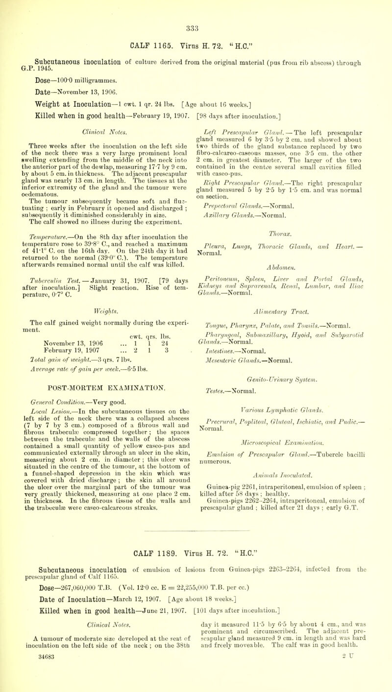 CALF 1165. Virus H. 72.  H.C. Subcutaneous inoculation of culture derived from the original material (pus from rib abscess) through G.P. 1945. Dose—1000 milligrammes. Date—November 13, 1906. Weight at Inoculation—1 cwt. 1 qr. 24 lbs. [Age about 1G weeks.] Killed when in good health—February 19, 1907. [98 days after inoculation.] Clinical Notes. Three weeks after the inoculation on the left side of the neck there was a very large prominent local swelling extending from the middle of the neck into the anterior part of the dewlap, measuring 17 7 by 9 cm. by about 5 cm. in thickness. The adjacent prescapular gland was nearly 13 cm. in length. The tissues at the inferior extremity of the gland and the tumour were oedematous. The tumour subsequently became soft and fluc- tuating ; early in February it opened and discharged ; subsequently it diminished considerably in size. The calf showed no illness during the experiment. Temperature.—On the 8th day after inoculation the temperature rose to 39-8° C, and reached a maximum of 41-1° C. on the 16th day. On the 24th day it had returned to the normal (390U C). The temperature afterwards remained normal until the calf was killed. Tuberculin Test. — January 31, 1907. [79 days after inoculation.] Slight reaction. Rise of tem- perature, 0 7° C. Weights. The calf gained weight normally during the experi- ment. cwt. qrs. lbs. November 13, 1906 ... 1 1 24 February 19, 1907 ... 2 1 3 lotal gain of weight.—3 qrs. 7 lb?. Average rate of gain per week.—6-5 lbs. POST-MORTEM EXAMINATION. General Condition.—Very good. Local Lesion.—In the subcutaneous tissues on the left side of the neck there was a collapsed abscess (7 by 7 by 3 cm.) composed of a fibrous wall and fibrous trabecular compressed together; the spaces between the trabecular and the walls of the abscess contained a small quantity of yellow caseo-pus and communicated externally through an ulcer in the skin, measuring about 2 cm. in diameter ; this ulcer was situated in the centre of the tumour, at the bottom of a funnel-shaped depression in the skin which was covered with dried discharge ; the skin all around the ulcer over the marginal part of the tumour was very greatly thickened, measuring at one place 2 cm. in thickness. In the fibrous tissue of the walls and the trabecular were caseo-calcareous streaks. Left Prescapular Gland. — The left prescapular gland measured 6 by 3-5 by 2 cm. and showed about two thirds of the gland substance replaced by two fibro-calcareo-caseous masses, one 3*5 cm. the other 2 cm. in greatest diameter. The larger of the two contained in the centre several small cavities filled with caseo-pus. Right Prescapular Gland.—The right prescapular gland measured 5 by 2-5 by T5 cm. and was normal on section. Prepectoral Glands.—Normal. Axillary Glands.—Normal. Thorax. Pleura, Lungs, Thoracic Glands, and Heart. — Normal. Abdomen. Peritoneum, Spleen, Liver and Portal Glands, Kidneys and Suprarenale, Renal, Lumbar, and Miac Glands.—Normal. Alimentary Tract. Tongue, Pharynx, Palate, and Tonsils.—Normal. Pharyngeal, Submaxillary, Ffyoid, and Subparotid Glands.—-Normal. Intestines.—Normal. Mesenteric Glands.—Normal. Genito-Urinary System. Testes.—Normal. Various Lymphatic Glands. Precrural, Popliteal, Gluteal, Ischiatic, and Pudic.— Normal. Microscopical Examination. Emulsion of Prescapular Gland.—-Tubercle bacilli numerous. Animals Inoculated. Guinea-pig 2261, intraperitoneal, emulsion of spleen ; killed after 58 days ; healthy. Guinea-pigs 2262-2264, intraperitoneal, emulsion of prescapular gland ; killed after 21 days ; early G.T. CALF 1189. Virus H. 72. H.C. Subcutaneous inoculation of emulsion of lesions from Guinea-pigs 2263-2264, infected from the prescapular gland of Calf 1165. Dose—267,060,000 T.B. (Vol. 12-0 cc. E = 22,255,000 T.B. per cc.) Date of Inoculation—March 12, 1907. [Age about 18 weeks.] Killed when in good health—June 21. 1907. [101 days after inoculation.] Clinical Notes. day it measured 11'5 by 6-5 by about 4 cm., and was prominent and circumscribed. The adjacent pre- A tumour of moderate size developed at the seat of scapular gland measured 9 cm. in length and was hard inoculation on the left side of the neck ; on the 38th and freely moveable. The calf was in good health. 34683 2 U