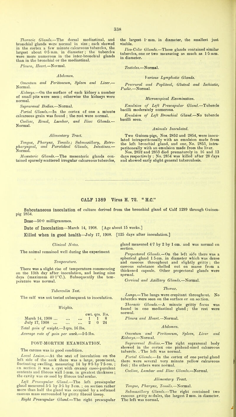 Thoracic Glands.—The dorsal mediastinal, and bronchial glands were normal in size ; each showed in the cortex a few minute calcareous tubercles, the largest about 0'5 mm. in diameter ; the tubercles were more numerous in the inter-bronchial glands than in the bronchial or the mediastinal. Pleura, Heart.—Normal. Abdomen. Omentum and Peritoneum, Spleen and Liver.— Normal. Kidneys.—On the surface of each kidney a number of small pits were seen ; otherwise the kidneys were normal. Suprarenal Bodies.—Normal. Portal Glands.—In the cortex of one a minute calcareous grain was found ; the rest were normal. Coeliac, Renal, Lumbar, and Iliac Glands.— Normal. Alimentary Tract. Tongue, Pharynx, Tonsils; Submaxillary, Retro- pharyngeal, and Parotideal Glands, Intestines.— Normal. Mesenteric Glands.—The mesenteric glands con- tained sparsely scattered irregular calcareous tubercles, the largest 1* mm. in diameter, the smallest just visible. Ileo-Colic Glands.—These glands contained similar tubercles, one or two measuring as much as T5 ram. in diameter. Testicles.—Normal. Various Lymphatic Glands. Precrural and Popliteal, Gluteal and Ischiatic, Pudic.—Normal. Microscopical Examination. Emulsion of Left Prescapular Gland.—Tubercle bacilli moderately numerous. Eviulsion of Left Bronchial Gland.—No tubercle bacilli seen. Animals Inoculated. Two Guinea-pigs, Nos. 2852 and 2854, were inocu- lated intraperitoneal^ with an emulsion made from the left bronchial gland, and one, No. 2853, intra- peritoneally with an emulsion made from the liver. Nos. 2852 and 2853 died prematurely in 16 and 13 days respectively ; No. 2854 was killed after 28 days and showed early slight general tuberculosis. CALF 1389 Virus H. 72.  H.C. Subcutaneous inoculation of culture derived from the bronchial gland of Calf 1299 through Guinea- pig 2854. Dose—50'0 milligrammes. Date of Inoculation—March 14, 1908. [Age about 15 weeks.] Killed when in good health—July 17, 1908. [125 days after inoculation.] Clinical Notes. The animal remained well during the experiment • X -i-- e i.' Temperature. There was a slight rise of temperature commencing on the 13th day after inoculation, and lasting nine days (maximum 40 1°C). Subsequently the tem- perature was normal. Tuberculin lest. The calf was not tested subsequent to inoculation. Weights. March 14, 1908 July 17, 1908 Total gain of weight.—3qrs. 16 lbs. Average rate of gain per iveek.—55 lbs cwt. qrs. lbs. 1 1 8 2 0 24 POST-MORTEM EXAMINATION. The carcass was Li good condition. Local Lesion.—At the seat of inoculation on the left side of the neck there was a large, prominent, fluctuating swelling, measuring 14 by 8'5 by 7 5 cm. ; on section it was a cyst with creamy caseo-purulent contents and fibrous wall 5 mm. in greatest thickness ; the cavity was err ssed by fibrous trateculae. Left Prescapular Gland.—The left prescapular gland measured 5-5 by 3-5 by 3 cm. ; on section rather more than half the gland was occupied by a softened caseous mass surrounded by gritty fibroid tissue. Right Prescapular Gland.—The right prescapular gland measured 47 by 2 by 1 cm. and was normal on section. Prepectoral Glands.—On the left side there was a spherical gland 15 cm. in diameter which was dense and caseous throughout and slightly gritty ; the caseous substance shelled out en masse from a thickened capsule. Other prepectoral glands were normal. Cervical and Axillary Glands.—Normal. Thorax. Lungs.—The lungs were crepitant throughout. No tubercles were seen on the surface or on section. Ihoracic Glands.—A minute gritty focus was found in one mediastinal gland; the rest were normal. Pleura and Heart.—Normal. Abdomen. Omentum and Peritoneum, Spleen, Liver and Kidneys.—Normal. Suprarenal Bodies.—The right suprarerjal body showed in the cortex one pinhead-sized calcareous tubercle. . The left was normal. Portal Glands.—In the cortex of one portal gland there were several very minute yellow calcareous foci ; the others were normal. Coeliac, Lumbar and Iliac Glands.—Normal. Alimentary Tract. Tongue, Pharynx, Tonsils.—Normal. Submaxillary Glands.—The right contained two caseous gritty ncdules, the largest 2 mm. in diameter. The left was normal.