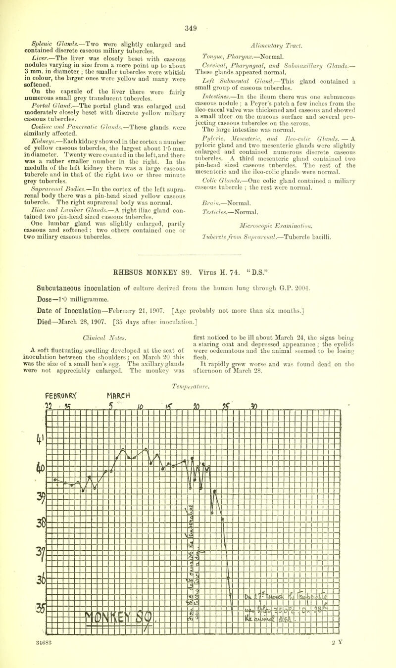 Splenic Glands.—Two were slightly enlarged and contained discrete caseous miliary tubercles. Liver.—The liver was closely beset with caseous nodules varying in size from a mere point up to about 3 mm. in diameter ; the smaller tubercles were whitish in colour, the larger ones were yellow and many were softened. On the capsule of the liver there were fairly numerous small grey translucent tubercles. Portal Gland.—The portal gland was enlarged and tnoderatelv closely beset with discrete yellow miliary caseous tubercles. Coeiiac and Pancreatic Glands.—These glands were similarly affected. Kidneys.—Each kidney showed in the cortex a number of yellow caseous tubercles, the largest about l5mm. in diameter. Twenty were counted in the left, and there was a rather smaller number in the right. In the medulla of the left kidney there was a large caseous tubercle and in that of the right tAvo or three minute grey tubercles. Suprarenal Bodies.—In the cortex of the left supra- renal body there was a pin-head sized yellow caseous tubercle. The right suprarenal body was normal. Iliac and Lumbar Glands.—A right iliac gland con- tained two pin-head sized caseous tubercles. One lumbar gland was slightly enlarged, partly caseous and softened : two others contained one or two miliary caseous tubercles. Alimentary Tract. Tonr/ue, Pharynx.—Normal. Cervical, Pharyngeal, and Submaxillary Glands.— These glands appeared normal. Left Submental Gland.—This gland contained a small group of caseous tubercles. Intestines.—In the ileum there was one submucous caseous nodule ; a Peyer's patch a few inches from the ileo-caecal valve was thickened and caseous and showed a small ulcer on the mucous surface and several pro- jecting caseous tubercles on the serous. The large intestine was normal. Pyloric, Mesenteric, and Jleo-colic Glands. — A pyloric gland and two mesenteric glands were slightly enlarged and contained numerous discrete caseous tubercles. A third mesenteric gland contained two pin-head sized caseous tubercles. The rest of the mesenteric and the ileo-colic glands were normal. Colic Glands.—One colic gland contained a miliary caseous tubercle ; the rest were normal. Brain.-—-Normal. Testicles.—Normal. Microscopic Examina tion. luberclefrom Suprarenal.—Tubercle bacilli. RHESUS MONKEY 89. Virus H. 74. D.S. Subcutaneous inoculation of culture derived from the human lung through G.P. 2004. Dose—l'O milligramme. Date of Inoculation—February 21, 1907. [Age probably not more than six months.] Died—March 28, 1907. [35 days after inoculation.] Clinical Notes. first noticed to be ill about March 24, the signs being a staring coat and depressed appearance ; the eyelids A soft fluctuating swelling developed at the seat of were oedematous and the animal seemed to be losing inoculation between the shoulders ; on March 20 this flesh. was the size of a small hen's egg. The axillary glands It rapidly grew worse and was found dead on the were not appreciably enlarged. The monkey was afternoon of March 28. FEBRUARY 12 ■ 25 MftWH Temperature. t£ P ft da ft SE=!3 ■i 2 z 3? 38 3? 36 35 S 34683 I! i it r QAM 2 Y