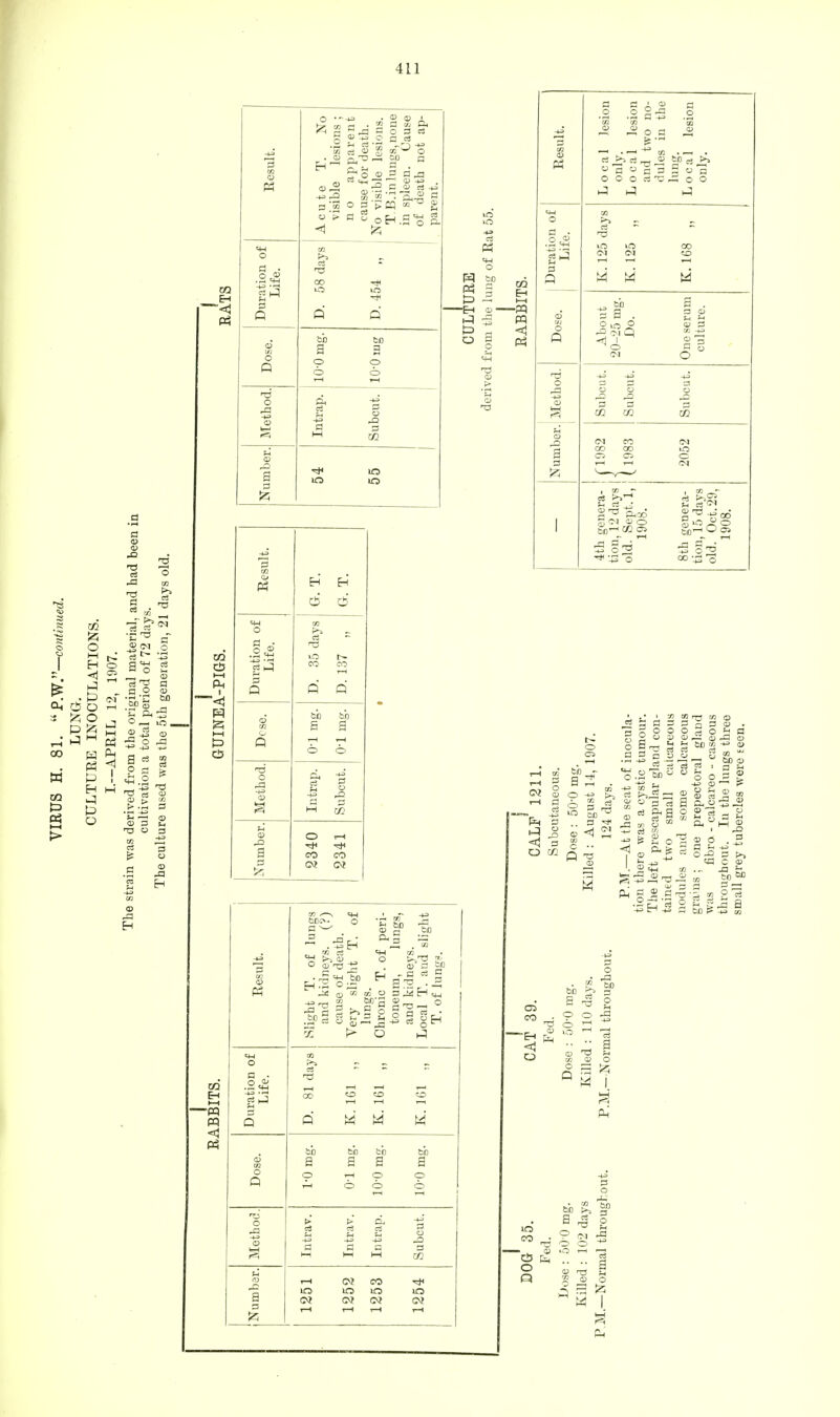 13 cS 2 o 1—1 H <l £ o P S3 P H Ph P Eh P P o ■a 5 •gT3 - ^ cs» '.3 1 a o 2 2 i i cd cs U a _ q O cd E ftt3 J O _ iffl , H 4>-£f 0> Result. Acute T. No visible lesions ; n o apparent cause for death. No visible lesions. T B. in lungs, none in spleen. Cause of death not ap- parent. Duration of Life. D. 58 days D. 454 „ Dose. bb to a a o o 6 o r-l i-H o A CD Intrap. Subcut. Number. lO in P o Eh I-H pq p3 i i. m lag o > .5 3 CD -a H -a H I—( Ph i «< i—i Result. H Eh o o ® .« «4-l g P Q D. 35 days D. 137 „ Dcse. bo bo s a i—1 i-H © © Method. Intrap. Subcut. Number. 2340 2341 Result. Local Jesion only. Local lesion and two no- dules in the lung. Local lesion only. o 3 o CD O Q K. 125 days K. 125 „ K. 168 „ About 20-25 mg. Do. One serum culture. Method. Subcut. Subcut. Subcut. Number. <M CO <M oo oo >rs CI OS c i—i i—i OI 1 4th genera- tion, 12 days old. Sept.l, 1908. 8th genera- tion, 15 days old. Oct. 29, 1908. s a a 5 o o 2 o i) 05 CD a a cS ? cs o a a CD ^ CD ^ CJ t3 Ofi « -» CD CS _ lu to E-< I-H -pq pq <! PS or P o a 3 . DQ 3 .5 rs cS « Cj O <1 2 CS .2 Si 0 Jo t-^-S =2 ° a cs dag » S S « _ CD bo cd o = ; CD — P CD 02 £ 1 a a o-a s CO C CD bo ~ -a . _5 qp ' Eh Eh 02 OQ U . a'3 wu -» <— — o £13 bo - a cs 0 9 2 • -5 * O a ^ 1—1 s S §eh p .—I 00 1—l Dui Q M M M CD 09 •§ca a bb a mg. Do cp cp 0 1—1 0 0 0 Method. Intrav. cS -*^> a cS ^. P Subcut. Number. 1251 1252 1253 1254 a a> a -p n +3 bo CD? -p K OS CO Eh O E o a o ^3 bo 3 O CD O 5 K r=3 Ph' 10 so o n bb CQ a cS T3 0 (M O CD CD TJ m CD P Kill