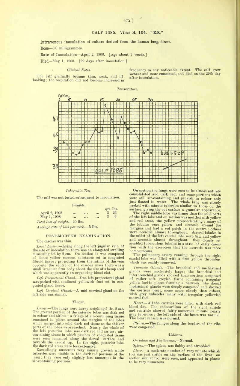 472] CALF 1385. Virus H. 104.  E.R. Intravenous inoculation of culture derived from the human lung, direct. Dose—-5'0 milligrammes. Date of Inoculation—April 2, 1908. [Age about 9 weeks.] Died—May 1, 1908. [29 days after inoculation.] Clinical Notes. frequency to any noticeable extent. The calf grew weaker and more emaciated, and died on the 29th day ine call gradually became thin,, weak, and ill- after inoculation, looking ; the respiration did not become increased in Temperature. PtPRlU A — 1- si - i w \ \ \ = A u tt 1 f i 1 > i Tuberculin Test. The calf was not tested subsequent to inoculation. Weights. qrs. lbs. April 2, 1908 3 26 May 1, 1908 3 6 Total loss of weight.—20 lbs. Average rate of loss per week.—5 lbs. POST-MORTEM EXAMINATION. The carcass was thin. Local Lesion.—Lying along the left jugular vein at the site of inoculation there was an elongated swelling measuring 6-3 by 2 cm. On section it was composed of dense yellow caseous substance set in congested fibroid tissue ; projecting from the intima of the vein opposite the centre of the caseous mass there was a small irregular firm body about the size of a hemp seed which was apparently an organising blood-clot. Left Prepectoral Gland.—One left prepectoral gland was packed with confluent yellowish foci set in con- gested gland tissue. Left Cervical Gland.—A mid cervical gland on the left side was similar. Thorax. Lungs.—The lungs were heavy weighing 5 lbs. 2 ozs. The greater portion of the anterior lobes was dark red in colour and airless ; a fringe of air-containing tissue remained in places around the margins of the lobes which merged into solid dark red tissue as the thicker parts of the lobes were reached. Nearly the whole of the left posterior lobe was dark red and airless ; air- containing tissue in which patches of congested tissue were seen remained along the dorsal surface and towards the caudal tip. In the right posterior lobe the dark red areas were less extensive. Exceedingly numerous very minute greyish white tubercles were visible in the dark red portions of the lung ; they were only slightly less numerous in the air-containing portions. On section the lungs were seen to be almost entirely consolidated and dark red, and some portions which were still air-containing and pinkish in colour only just floated in water. The whole lung was closely packed with minute tubercles similar to those on the surface, giving the cut surface a granular appearance. The right middle lobe was firmer than the solid parts of the left iobe and on section was mottled with yellow and red areas, ttie yellow preponderating ; many of the lobules were yellow and necrotic around the margins and had a red patch in the centre ; others were necrotic almost throughout. Several lobules in the midst of the left caudal lobe were firm and yellow and necrotic almost throughout ; they closely re- sembled tuberculous lobules in a state of early casea- tion with the exception that the necrosis was more homogeneous. The pulmonary artery running through the ricdit caudal lobe was filled with a firm yellow thrombus which was readily removed. Thoracic Glands.—The bronchial and mediastinal glands were moderately large; the bronchial and interbronchial glands showed their cortices composed of rather soft greyish tissue containing irregular yellow foci in places forming a network ; the dorsal mediastinal glands were deeply congested and showed the cortices beset, some more closely than others, with grey tubercles many with irregular yellowish central foci. Heart.—All the cavities were filled with dark red blood-clot. The endocardium of the right auricle and ventricle showed fairly numerous minute pearly grey tubercles ; the left side of the heart was normal. The heart muscle was normal. Pleura.—The fringes along the borders of the ribs were congested. Abdomen. Omentum and Peritoneum.—Normal. Spleen.—The spleen was flabby and atrophied. Liver.—A moderate number of very minute whitish foci was just visible on the surface of the liver ; on section similar foci were seen, and appeared in places to be very numerous.