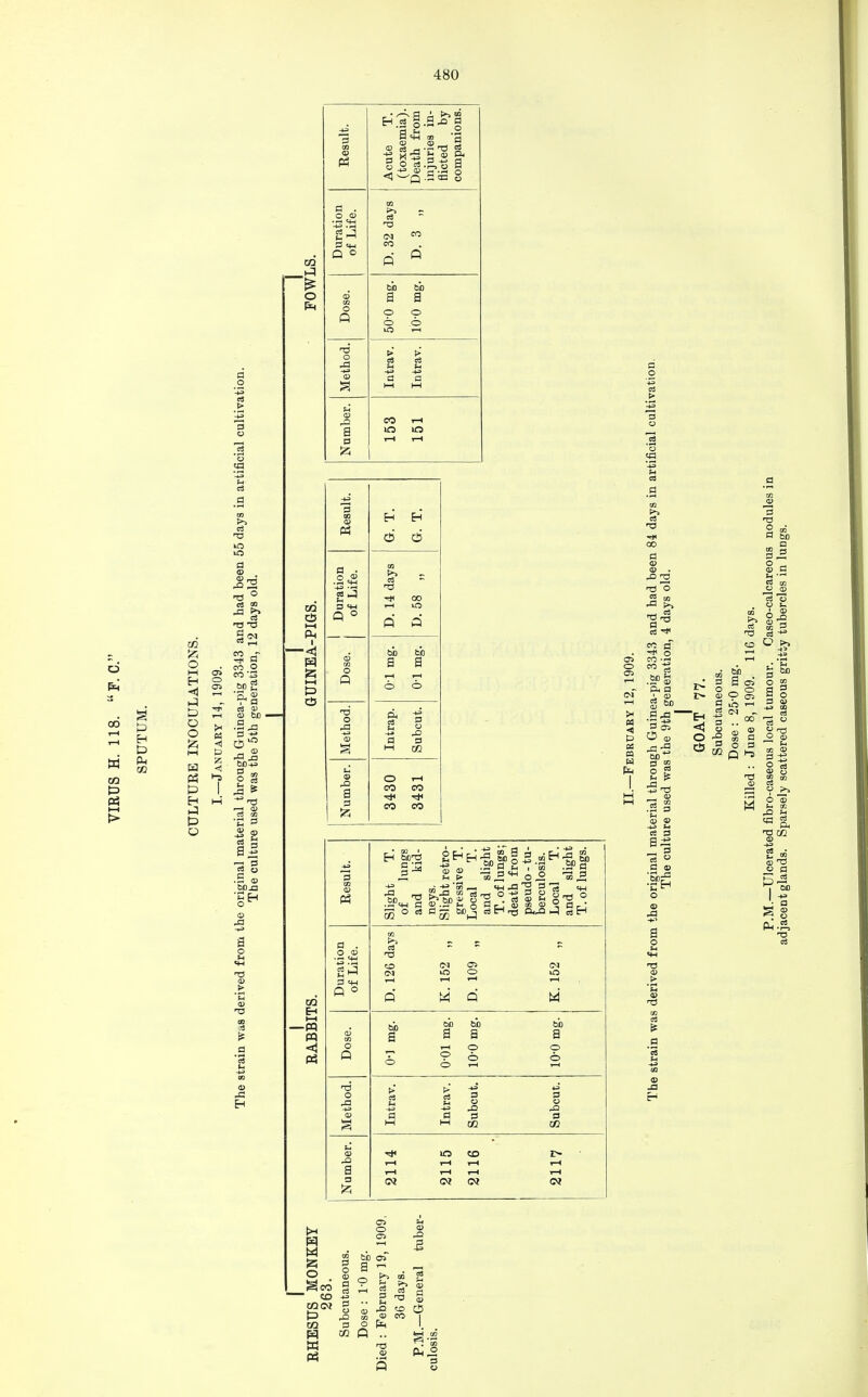 o co H CO p p EH p Ph 00 CO is o I—I H <J P P o o i-H H P3 P H P P O Result. Acute T. (toxaemia). Death from injuries in- flicted by companions. Duration of Life. m _P D. 32 da D. 3 o Dose. to 60 a a o © o o thod. > > S3 03 It U tion Mei -+a a a r-I M cial cultiva Number. CO l-H lO m t-H rH 59 u OS 5 days in Result. EH Eh' 6 6 iinea-pig 3343 and had been ;h generation, 12 days old. GUINEA-PIGS. Duration of Life. D. 14 days D. 58 „ Dose, j bb 60 a a i-H i-H o o shod. 1 1 -S 42 43 _a Mei a a M CO 60 rial throt used was Numbei 3430 3431 i| .S <D 60 _a 1* 43 Eh OS o CG i—i -pq pq ID OS j 3 ctn Q ° o P, T3 O 43 42 a 3 60 3 d  3 , lH>'IIIfi^li 53 ° d cd\*' d h l> to ,3 O 45 £§ — tH -d 13 ?, c« «H OH 60^ 03 EH rg 0,43 J SH 03 T3 M Q 60 a 60 60 a a ■-I O 60 a o o 43 3 CO 43 3 CO >o co I> l-H 1—1 l-H I—1 i-H T—1 rH Oi .2 '3 03 T3 43 2 •n o 2 to Irt 03 T3 § * CO C~ ■* O 2?'-3 .S° » ft a g 60 P43- 1S O CD 43-2 60 3 co g£ 73 — CD CO .2 3 CD CD oS 3 P^ 3 CD '5b^ M o Sco'  CD CGCM P CO W PS 43 60 as a h a g 53 ^ cd 2 03 a g 3 3 43 CO cb CD CO I O pL< ^ cO Pn2 3 3 T3 d 60 Sri CD 3 ^ 1 03 to CD CD 03 *o o u o? §-§ O n= CO 3 O _ CD O d ih ^ CM 3 .. 60 a ci o rH 3 «> M g CO CD 3 '+a S 03 co co 03 V -5 O CD 43 U cd 5 Ph 3 CO CD o a p  00