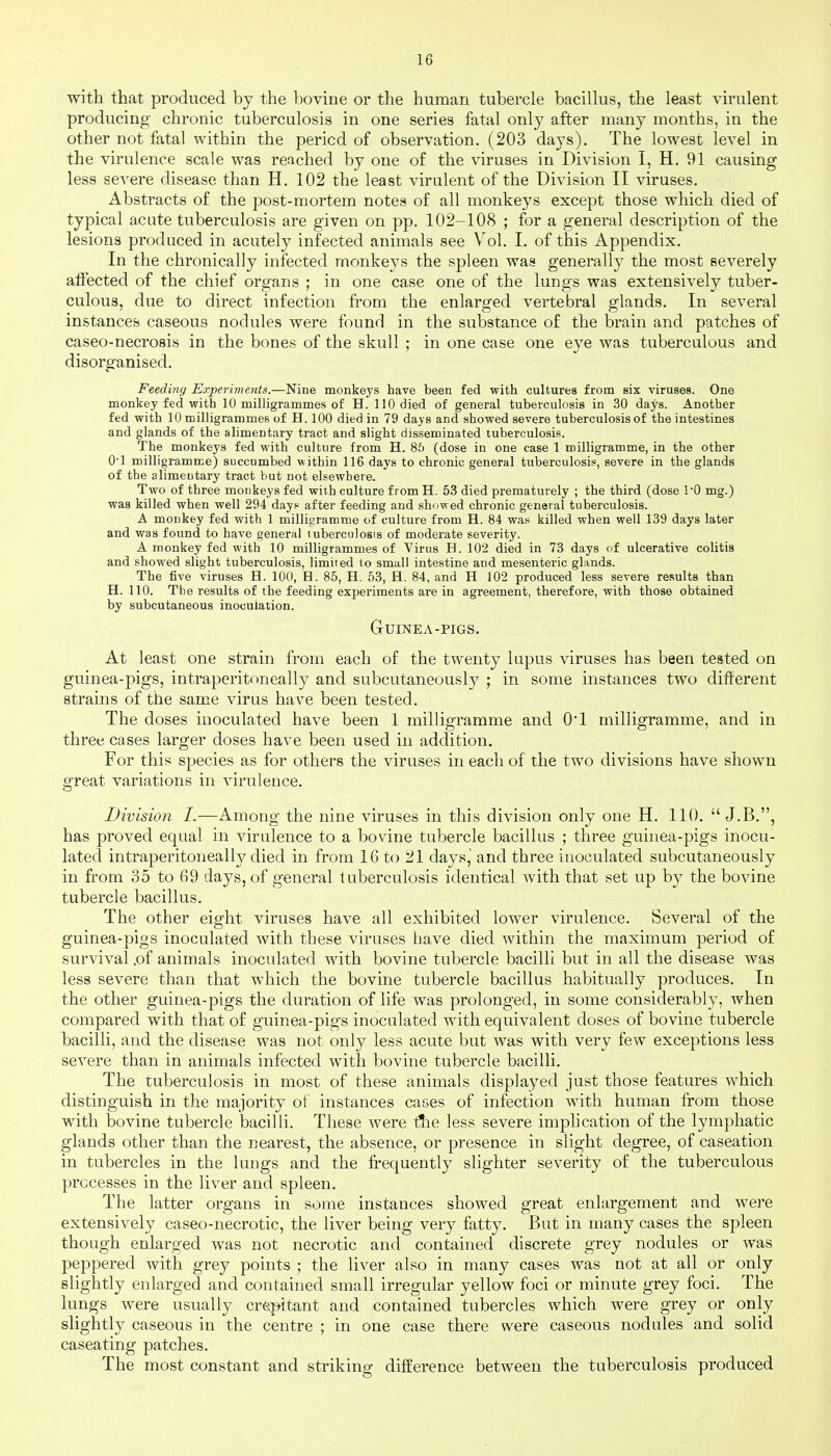 with that produced by the bovine or the human tubercle bacillus, the least virulent producing- chronic tuberculosis in one series fatal only after many months, in the other not fatal within the period of observation. (203 days). The lowest level in the virulence scale was reached by one of the viruses in Division I, H. 91 causing less severe disease than H. 102 the least virulent of the Division II viruses. Abstracts of the post-mortem notes of all monkeys except those which died of typical acute tuberculosis are given on pp. 102-108 ; for a general description of the lesions produced in acutely infected animals see Vol. I. of this Appendix. In the chronically infected monkeys the spleen was generally the most severely affected of the chief organs ; in one case one of the lungs was extensively tuber- culous, due to direct infection from the enlarged vertebral glands. In several instances caseous nodules were found in the substance of the brain and patches of caseo-necrosis in the bones of the skull ; in one case one eye was tuberculous and disorganised. Feedmg Experiments.—Nine monkeys have been fed with cultures from six viruses. One monkey fed with 10 milligrammes of H. 110 died of general tuberculosis in 30 days. Another fed with 10 milligrammes of H. 100 died in 79 days and showed severe tuberculosis of the intestines and glands of the alimentary tract and slight disseminated tuberculosis. The monkeys fed with culture from H. %b (dose in one case 1 milligramme, in the other 0-1 milli gramme) succumbed within 116 days to chronic general tuberculosis, severe in the glands of the alimentary tract but not elsewhere. Two of three monkeys fed with culture from H. 53 died prematurely ; the third (dose I'O mg.) was killed when well 294 day? after feeding and showed chronic general tuberculosis. A monkey fed with 1 millieramme of culture from H. 84 was killed when well 139 days later and was found to have general tuberculosis of moderate severity. A monkey fed with 10 milligrammes of Virus H. 102 died in 73 days of ulcerative colitis and showed slight tuberculosis, limited to small intestine and mesenteric glands. The five viruses H. 100, H. 85, H. 53, H. 84. and H 102 produced less severe results than H. 110. The results of the feeding experiments are in agreement, therefore, with those obtained by subcutaneous inoculation. Guinea-pigs. At least one strain from each of the twenty lupus viruses has been tested on guinea-pigs, intraperitoneally and subcutaneously ; in some instances two ditferent strains of the same virus have been tested. The doses inoculated have been 1 milligramme and 0*1 milligramme, and in three cases larger doses have been used in addition. For this species as for others the viruses in each of the two divisions have shown great variations in virulence. Division I.—Among the nine viruses in this division only one H. 110.  J.B., has proved equal in virulence to a bovine tubercle bacillus ; three guinea-pigs inocu- lated intraperitoneally died in from 16 to '21 days, and three inoculated subcutaneously in from 35 to 69 days, of general tuberculosis identical with that set up by the bovine tubercle bacillus. The other eight viruses have all exhibited lower virulence. Several of the guinea-pigs inoculated with these viruses have died within the maximum period of survival .of animals inoculated with bovine tubercle bacilli but in all the disease was less severe than that which the bovine tubercle bacillus habitually produces. In the other guinea-pigs the duration of life was prolonged, in some considerably, when compared with that of guinea-pigs inoculated with equivalent doses of bovine tubercle bacilli, and the disease was not only less acute but was with very few exceptions less severe than in animals infected with bovine tubercle bacilli. The tuberculosis in most of these animals displayed just those features which distinguish in the majority of instances cases of infection with human from those with bovine tubercle bacilli. These were tlie less severe imphcation of the lymphatic glands other than the nearest, the absence, or presence in slight degree, of caseation in tubercles in the lungs and the frequently slighter severity of the tuberculous processes in the liver and spleen. The latter organs in some instances showed great enlargement and were extensively caseo-necrotic, the liver being very fatty. But in many cases the spleen though enlarged was not necrotic and contained discrete grey nodules or was peppered with grey points ; the liver also in many cases was not at all or only slightly enlarged and contained small irregular yellow foci or minute grey foci. The lungs were usually crcsjMtant and contained tubercles which were grey or only slightly caseous in the centre ; in one case there were caseous nodules and solid caseating patches. The most constant and striking difference between the tuberculosis produced