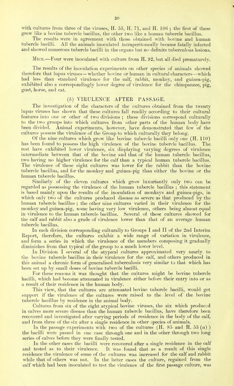 with cultures from three of the vn-uses, H. 53, H. 71, and H. 106 ; the first of these grew like a bovine tubercle bacillus, the other two like a human tubercle bacillus. The results were in ag-reem.ent with those obtained with bovine and human tubercle bacilli. All the animals inoculated intraperitoneally became fatally infected and showed numerous tubercle bacilli in the organs but no definite tuberculous lesions. Mice.—Four were inoculated with culture from H. 92, but all died prematm-ely. The results of the inoculation experiments on other species of animals showed therefore that lupus viruses — whether bovine or human in cultural characters—which had less than standard virulence for the calf, rabbit, monkey, and guinea-pig, exhibited also a correspondingly lower degree of virulence for the chimpanzee, pig, goat, horse, and cat. {b) VIRULENCE AFTER PASSAGE. The investigation of the characters of the cultures obtained fi'om the twenty lupus viruses has shown that these cultures fall readily according to their cultural features into one or other of two divisions ; these divisions correspond culturally to the two groups into which cultures from other parts of the human body have been divided. Animal experiments, however, have demonstrated that few of the cultures possess the virulence of the Group to which culturally they belong. Of the nine cultures which grow like bovine tubercle bacilli only one (H. 110) has been found to possess the high virulence of the bovine tubercle bacillus. The rest have exhibited lower virulence, six displaying varying degrees of virulence intermediate between that of the bovine and that of the human tubercle bacillus, two having no higher virulence for the calf than a typical human tubercle bacillus. The virulence of these eight cultures was lower for the rabbit than the bovine tubercle bacillus, and for the monkey and guinea-pig than either the bovine or the human tubercle bacillus. Similarly of the eleven cultures which grow luxuriantly only two can be regarded as possessing the virulence of the human tubercle bacillus ; this statement is based mainly upon the results of the inoculation of monkeys and guinea-pigs, in which only two of the cultures produced disease as severe as that produced by the human tubercle bacillus ; the other nine cultures varied in their virulence for the monkey and guinea-pig, some having very low virulence, others being almost equal in virulence to the human tubercle bacillus. Several of these cultures showed for the calf and rabbit also a grade of virulence lower than that of an average human tubercle bacillus. In each division corresponding culturally to Groups I and II of the 2nd Interim Heport, therefore, the cultures exhibit a wide range of variation in virulence, and form a series in which the virulence of the members composing it gradually diminishes from that typical of the group to a much lower level. In Division I several of the atypical cultures approximated very nearly to the bovine tubercle bacillus in their virulence for the calf, and others produced in this animal a chronic form of generalised tuberculosis very similar to that which has been set up by small doses of bovine tubercle bacilli. For these reasons it was thoug-ht that the cultures might be bovine tubercle bacilli, which had become attenuated in virulence either before their entry into or as a result of their residence in the human body. This view, that the cultures are attenuated bovine tubercle bacilli, would get support if the virulence of the cultures were raised to the level of the bovine tubercle bacillus by residence in the animal body. Cultures from six of the eight atypical bovine viruses, the six which produced in calves more severe disease than the human tubercle bacillus, have therefore been recovered and investigated after varying periods of residence in the body of the calf, and from three of the six after a single residence in other species of animals. In the passage experiments with two of the cultures (H. 85 and H, 53 (a) ) the bacilli were passed in one case through one and in the other through two long series of calves before they were finally tested. In the other cases the bacilli were recovered after a single residence in the calf and tested as to their virulence. It was found that as a result of this single residence the virulence of some of the cultures was increased for the calf and rabbit while that of others was not. In the latter cases the cultui-e, regained from the calf which had been inoculated to test the virulence of the first passage culture, was