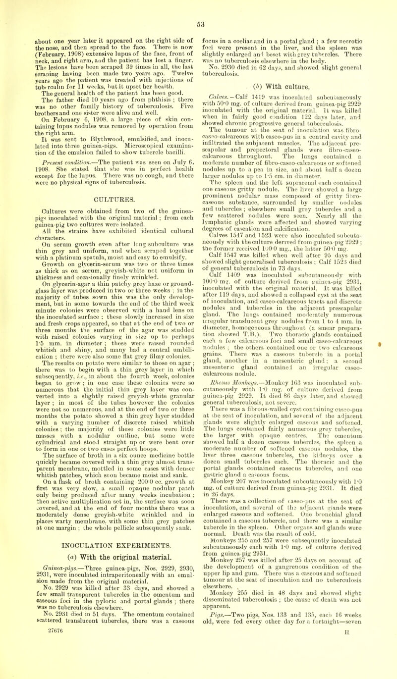 about one year later it appeared on the right side of the nose, and then spread to the face. There is now (February, 1908) extensive lupus of the face, front of neck, and right arm, aud the patient has lost a finger. The lesions have been scraped 39 times iu all, the last scraping having been made two years ago. Twelve years ago the patient was treated with injections of ibuberculm for 11 wec-ks, hut it upset her health. The general health of the patient has beeti good. The father died 10 years ago from phthisis ; there was no other family history of tuberculosis. Five brothers and one sister were alive and well. On February 6, 1908, a large piece of skin con- taining lupus nodules was removed by operation from the right arm. It was sent to Blythwood, emulsiSed, and inocu- lated into three guinea-pigs. Microscopical examina- tion of the emulsion failed to show tubercle bacilli. Present condition.—The patient was seen on July 6, 1908. She stated that she was in perfect health except for the lupus. There was no cough, and there were no physical signs of tuberculosis. CULTURES. Cultures were obtained from two of the guinea- pig^ inoculated with the original material ; from each guinea-pig two cultures were isolated. All the strains have exhibited identical cultural chnracters. On serum growth even after Ic ng subculture was thin grey and uniform, and when scrap?d together with a platinum spatula, moist and easy to emulsify. Growth on glycerin-serum was two or three times as thick as on serum, greyish-white net uniform in thickness and occasionally finely wrinkled. On glycerin-agar a thin patchy grey haze or ground- glass layer was produced in two or three weeks ; in the majority of tubes sown this was the only develop- ment, but in some towards the end of the third week minute colonies were observed with a hand lens on the inoculated surface ; these slowly increased in size and fresh crops appeared, so that at the end of two or three months the surface of the agar was studded with raised colonies varying in size up to perhaps 1-5 mm. in diameter ; these were raised rounded whitish and shiny, and many had a central umbili- cation ; there were also some flat grey filmy colonies. The results on potato were similar to those on agar ; there was to begin with a thin grey layer in which subsequently, i.e., in about the fourth week, colonies began to grow ; in one case these colonies were so numerous that the initial thin grey layer was con- verted into a slightly raised greyish-white granular layer ; in most of the tubes however the colonies were not so numerous, and at the end of two or three months the potato showed a thin grey layer studded with a varying number of discrete raised whitish colonies ; the majority of these colonies were little masses with a nodular outline, but some were cylindrical and stooJ straight up or were bent over to form in one or two cases perfect hoops. The surface of broth in a six ounce medicine bottle quickly became covered with a thin grey almost trans- parent mcQibrane, mottled iu some cases with denser whitish patches, which scon became moist and sank. On a flask of broth containing '2000 cc. growth at first was very slow, a small opaque nodular patch only being produced after many weeks incubation ; then active multiplication set in, the surface was soon ^•overed, and at the end of four months there was a moderately dense greyish-white wrinkled and in places warty membrane, with some thin grey patches at one margin ; the whole pellicle subsequently tank. INOCULATION EXPERIMENTS, (a) With the original material. Guinea-jngs.—Three guinea-pigs, Nos. 2929, 2930, 2931, were inoculated intraperitoneally with an emul- sion made from the original material. No. 2929 was killed after 33 days, and showed a few small transparent tubercles in the omentum and caseous foci in the pyloric and portal glands ; there was no tuberculosis elsewhere. No. 2931 died in 51 days. The omentum contained scattered translucent tubercles, there was a caseous focus in a coeliac and in a portal gland ; a few necrotic foci were present in the liver, and the spleen was slightly enlarged and beset with prey tubercles. There was no tuberculosis elsewhere in the body. No. 2930 died in 62 days, and showed slight general tuberculosis. (i) With culture. Calves. —1419 was inoculated sultcutaneously with ,50-0 mg. of culture derived from guinea-pig 2929 inoculated with the original material. It was killed when in fairly good condition 122 days later, and showed chronic progressive general tuberculosis. The tumour at the seat of inoculation was fibro- easfto-calcareous with caseo-pus in a central cavity and infiltrated the subjacent muscles. The adjacent pre- scapular and prepectoral glands were fibro-caseo- calcareous throughout. The lungs contained a moderate number of fibro-caseo-calcareous or softened nodules up to a pea in size, aud about half a dozen larger nodules up to 1-5 cm. in diameter. The spleen and the left suprarenal each contained one caseous gritty nodule. The liver showed a large prominent nodular mass composed of gritty fibro- caseous substance, surrounded by smaller nodules and tubercles ; elsewhere small grey tubercles and a few scattered nodules were seen. Nearly all the lymphatic glands were affected and showed varying degrees of caseation and calcification. Calves 1547 and 1523 were also inoculated subcuta- neously with the culture derived from guinea-pig 2929 ; the former received lUO-O mg., the latter 50'0 mg. Calf 1547 was killed when well after 95 days and showed slight generahsed tuberculosis ; Calf 152.-J died of general tuberculosis in 73 days. Calf 1409 was Inoculated subcutaneou^ly with 100 0 mg;. of culture derived from uinea-pig 2931, inoculated with the original material. It was killed after 119 days, and showed a collapsed cyst at the seat of inoculation, and caseo-calcareous tracts and discrete nodules and tubercles in the adjacent prescapular gland. The lungs contained moderately numerous irregular translucent grey nodules from 1 to 4 mm. in diameter, homogeneous throughout (a smear prepara- tion showed T.B.). Two thoracic glands contained each a few calcareous foci and small caseo-calcareous nodules ; the others contained one or two calcareous grains. There was a caseous tubercle in a portal gland, another in a mesenteric glmd; a second mesenteric gland containei an irregular caseo- calcareous nodule. Rhesus Monkeijs.—Monkey 163 was inoculated sub- cutaneously with 1*0 mg. of culture derived from guinea-pig 2929. It died 86 days later, and showed general tuberculosis, not severe. Tbere was a fibrous-walled cyst containing caseo-pus at cbe seat of inoculation, and sevei'al of the adjacent glands were slightly enlarged caseous and softened. The lungs contained fairly numerous grey tubercles, the larger with opaque centres. The omentum showed half a dozen caseous tubercles, the spleen a moderate number of softened caseous nodules, the liver three caseous tubercles, the kidneys over a dozen small tubercles each. The thoracic and the portal glands contained caseous tubercles, and one gastric gland a caseous focus. Monkey 207 was inoculated subcutaneously with I'O mg. of culture derived from guinea-pig 2931. It died in 26 days. There was a collection of caseo-pus at the seat of inoculation, and saveral of the adjacent glands were enlarged caseous and softened. One bronchial gland contained a caseous tubercle, and there was a similar tubercle in the spleen. Other organs and glands were normal. Death was the result of cold. Monkeys 255 and 257 were subsequently inoculated subcutaneously each with TO mg. of culture derived from guinea pig 2931. Monkey 257 was killed after 25 days on account of the development of a gangrenous condition of the upper lip and gum. There was a caseous and softened tumour at the seat of inoculation and no tuberculosis elsewhere. Monkey 255 died in 48 days and showed slight disseminated tuberculosis ; the cause of death was not apparent. Pigs.—Two pigs, Nos. 133 and 135, eaco 16 weeks old, were fed every other day for a fortnight—seven 27676 H