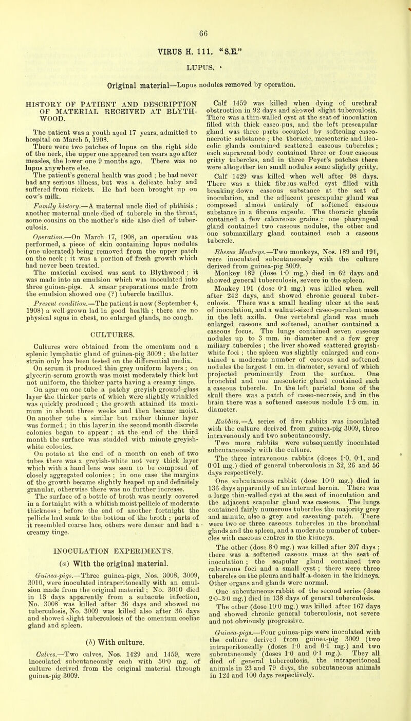 VIRUS H. 111. S.E. LUPUS. • Original material—Lupus nodules removed by operation. HISTORY OF PATIENT AND DESCRIPTION OP MATERIAL RECEIVED AT BLYTH- WOOD. The patient was a youth aged 17 years, admitted to hospital on March 5, 1908. There were two patches of lupus on the right side of the neck, the upper one appeared ten vears ago after measles, the lower one 9 months ago. There was no lupus anywhere else. The patient's general health was good ; he had never had any serious illness, but was a delicate baby and suffered from rickets. He had been brought up on cow's milk. Family history.—A maternal uncle died of phthisis ; another maternal uncle died of tubercle in the throat, some cousins on the mother's side also died of tuber- culosis. Operation.—On March 17, 1908, aa operation was performed, a piece of skin containing lupus nodules (one ulcerated) being removed from the upper patch on the neck ; it was a portion of fresh growth which had never been treated. The material excised was sent to Blythwood ; it was made into an emulsion which was inoculated into three guinea-pigs. A smear preparations made from the emulsion showed one (?) tubercle bacillus. Present condition.—The patient is now (September 4, 1908) a well grown lad in good health ; there are no physical signs in chest, no enlarged glands, no cough. CULTURES. Cultures were obtained from the omentum and a splenic lymphatic gland of guinea-pig 3009 ; the latter strain only has been tested on the differential media. On serum it produced thin grey uniform layers ; on glycerin-serum growth was moist moderately thick but not uniform, the thicker parts having a creamy tinge. On agar on one tube a patchy greyish ground-glass layer the thicker parts of which were slightly wrinkled was quickly produced ; the growth attained its maxi- mum in about three weeks and then became moist. On another tube a similar but rather thinner layer was formed ; in this layer in the second month discrete colonies began to appear ; at the end of the third month the surface was studded with minute greyish- white colonies. On potato at the end of a month on each of two tubes tViere was a greyish-white not very thick layer which with a hand lens was seen to be composed of closely aggregated colonies ; in one case the margins of the growth became slightly heaped up and definitely granular, otherwise there was no further increase. The surface of a bottle of broth was nearly covered in a fortnight with a whitish moist pellicle of moderate thickness ; before the end of another fortnight the pellicle had sunk to the bottom of the broth ; parts of it resembled coarse lace, others were denser and had a creamy tinge. INOCULATION EXPERIMENTS, (a) With the original material. Guinea-pigs.—-Three guinea-pigs, Nos. 3008, 3009, 3010, were inoculated intraperitoneally with an emul- sion made from the original material ; No. 3010 died in 13 days apparently from a subacute infection, No. 3008 was killed after 36 days and showed no tuberculosis. No. 3009 was killed also after 36 days and showed slight tuberculosis of the omentum coeliac gland and spleen. (&) With culture. Calves.—Two calves, Nos. 1429 and 1459, were inoculated subcutaneously each with 50*0 mg. of culture derived from the original material through guinea-pig 3009. Calf 1459 was killed when dying of urethral obstruction in 92 days and showed slight tuberculosis. There was a thin-walled cyst at the seat of inoculation filled with thick caseo-pus, and the left prescapular gland was three pirts occupied by softening caseo- necrotic substance ; the thoracic, mesenteric and ileo- colic glands contain'=id scattered caseous tubercles; each suprarenal body contained three or four caseous gritty tubercles, and in three Peyer's patches there were altogether ten small nodules some slightly gritty. Calf 1429 was killed when well after 98 days. There was a thick fibrous walled cyst filled with breaking down caseous substance at the seat of inoculation, and the adjacent prescapular gland was composed almost entirely of softened caseous substance in a fibrous capsule. The thoracic glands contained a few calcareous grains ; one pharyngeal gland contained two caseous nodules, the other and one submaxillary gland contained each a caseous tubercle. Rhesus Monkeys.—-Two monkeys, Nos. 189 and 191, were inoculated subcutaneously with the culture derived from guinea-pig 3009. Monkey 189 (dose I'O mg.) died in 62 days and showed general tuberculosis, severe in the spleen. Monkey 191 (dose O'l mg.) was killed when well after 242 days, and showed chronic general tuber- culosis. There was a small healing ulcer at the seat of inoculation, and a walnut-sized caseo-purulent mass in the left axilla. One vertebral gland was much enlarged caseous and softened, another contained a caseous focus. The lungs contained seven caseous nodules up to 3 mm. in diameter and a few grey miliary tubercles ; the liver showed scattered greyish- white foci ; the spleen was slightly enlarged and con- tained a moderate number of caseous and softened nodules the largest 1 cm. in diameter, several of which projected prominently from the surface. One bronchial and one mesenteric gland contained each a caseous tubercle. In the left parietal bone of the skull there was a patch of caseo-necrosis, and in the brain there was a softened caseous nodule 15 cm. in diameter. Rabbits.—A series of five rabbits was inoculated with the culture derived from guinea-pig 3009, three intravenously and two subcutaneously. Two more rabbits were subsequently inoculated subcutaneously with the culture. The three intravenous rabbits (doses I'O, O'l, and O'Ol mg.) died of general tuberculosis in 32, 26 and 56 days respectively. One subcutaneous rabbit (dose 100 mg.) died in 136 days apparently of an internal hernia. There was a large ihin-walled cyst at the seat of inoculation and the adjacent scapular gland was caseous. The lungs contained fairly numerous tubercles the majority grey and minute, also a grey and caseating patch. There were two or three caseous tubercles in the bronchial glands and the spleen, and a moderate number of tuber- cles with caseous centres in the kidneys. The other (dose 8'0 mg.) was killed after 207 days ; there was a softened caseous mass at the seat of inoculation ; the scapular gland contained two calcareous foci and a small cyst ; there were three tubercles on the pleura and half-a-dozen in the kidneys. Other organs and glan'is were normal. One subcutaneous rabbit of the second series (dose 2 0-3-0 mg.) died in 138 days of general tuberculosis. The other (dose 10 0 mg.) was killed after 167 days and showed chronic general tuberculosis, not severe and not obviously progressive. Guinea-pigs.— Four guinea-pigs were inoculated with the culture derived from guinei-pig 3009 (two intraperitoneally (doses 10 and 01 mg.) and two subcutaneously (doses I'O and O'l mg,). They all died of general tuberculosis, the intraperitoneal animals in 23 and 79 days, the subcutaneous animals in 124 and 100 days respectively.