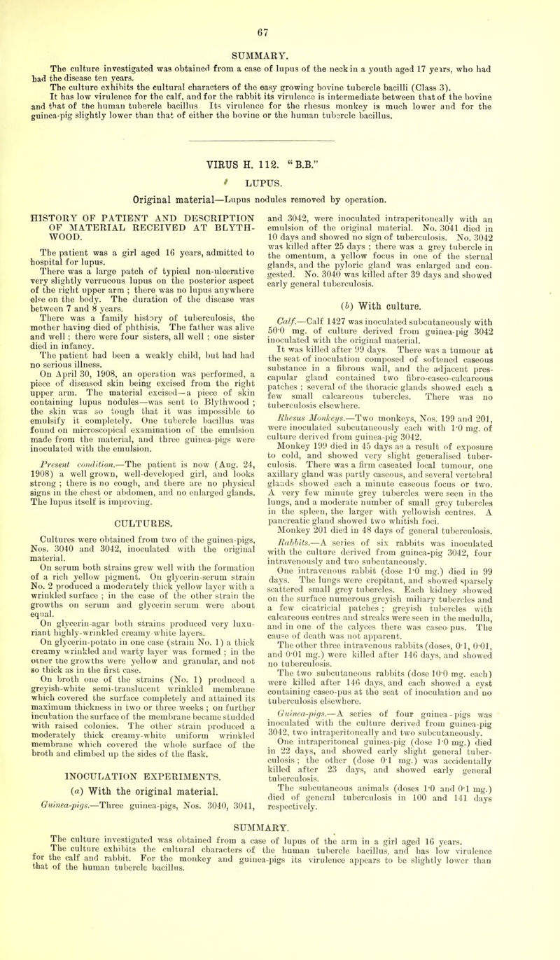 SUMMARY. The culture investigated was obtained from a case of lupus of the neck in a youth aged 17 years, who had had the disease ten years. The culture exhibits the cultural characters of the easy 2;rowing bovine tubercle bacilli (Class 3). It has low virulence for the calf, and for the rabbit its virulence is intermediate between that of the bovine and fiat of the human tubercle bacillus Its virulence for the rhesus monkey is much lower and for the guinea-pig slightly lower than that of either the bovine or the human tubercle bacillus. VIRUS H. 112. B.B. ^ LUPUS. Original material—Lupus nodules removed by operation. HISTORY OF PATIENT AND DESCRIPTION OF MATERIAL RECEIVED AT BLYTH- WOOD. The patient was a girl aged 16 years, admitted to hospital for lupus. There was a large patch of typical non-ulcerative very slightly verrucous lupus on the posterior aspect of the right upper arm ; there was no lupus anywhere else on the body. The duration of the disease was between 7 and 8 years. There was a family history of tuberculosis, the mother having died of phthisis. The father was alive and well ; there were four sisters, all well ; one sister died in infancy. The patient had been a weakly child, but had had no serious illness. On April 30, 1908, an operation was performed, a piece of diseased skin being excised from the right upper arm. The material excised—a piece of skin containing lupus nodules—was sent to Blythwood ; the skin was so tough that it was impossible to emulsify it completely. One tubercle bacillus was found on microscopical examination of the emulsion made from the material, and three guinea-pigs were inoculated with the emulsion. Present condition.—The patient is now (Aug. 24, 1908) a well grown, well-developed girl, and looks strong ; there is no cough, and there are no physical signs in the chest or abdomen, and no enlarged glands. The lupus itself is improving. CULTURES. Cultures were obtained from two of the guinea-pigs, Nos. 3040 and 3042, inoculated with the original material. On serum both strains grew well with the formation of a rich yellow pigment. On glycerin-serum strain No. 2 produced a moderately thick yellow layer with a wrinkled surface ; in the case of the other strain the growths on serum and glycerin serum were about equal. On glycerin-agar both strains produced very luxu- riant highly-wrinkled creamy white layers. On glycerin-potato in one case (strain No. 1) a thick creamy wrinkled and warty layer was formed ; in the oiner tne growths were yellow and granular, and not so thick as in the first case. On broth one of the strains (No. 1) produced a greyish-white semi-translucent wrinkled membrane which covered the surface completely and attained its maximum thickness in two or three weeks ; on further incubation the surface of the membrane became studded with raised colonies. The other strain produced a moderately thick creamy-white uniform wrinkled membrane which covered the whole surface of the broth and climbed up the sides of the flask. INOCULATION EXPERIMENTS, (a) With the original material. Guinea-pigs.—Three guinea-pigs, Nos. 3040, 3041, and 3042, were inoculated intraperitoneally with an emulsion of the original material. No. 3041 died in 10 days and showed no sign of tuberculosis. No. 3042 was killed after 25 days ; there was a grey tubercle in the omentum, a yellow focus in one of the sternal glands, and the pyloric gland was enlarged and con- gested. No. 3040 was killed after 39 days and showed early general tuberculosis. {h) With culture. Calf.—Calf 1427 was inoculated subcutaneously with 50-0 mg. of culture derived from guinea-pig 3042 inoculated with the original material. It was killed after 99 days. There was a tumour at the seat of inoculation composed of softened caseous substance in a fibrous wall, and the adjacent pres- capular gland contained two fibro-caseo-calcareous patches ; several of the thoracic glands showed each a few small calcareous tubercles. There was no tuberculosis elsewhere. Rhesus Monkeys.—Two monkeys, Nos. 199 and 201, were inoculated subcutaneously each with TO mg. of culture derived from guinea-pig 3042. Monkey 199 died in 45 days as a result of exposure to cold, and showed very slight generalised tuber- culosis. There was a firm casea.ted local tumour, one axillary gland was partly caseous, and several vertebral glands showed each a minute caseous focus or two. A very few minute grey tubercles were seen in the lungs, and a moderate number of small grey tubercles in the spleen, the larger with yellowish centres. A pancreatic gland showed two whitish foci. Monkey 201 died in 48 days of general tuberculosis. Rabbits.—A series of six rabbits was inoculated with the culture derived from guinea-pig 3042, four intravenously and two subcutaneously. One intravenous rabbit (dose TO mg.) died in 99 days. The lungs were crepitant, and showed sparsely scattered small grey tubercles. Each kidney showed on the surface numerous greyish miliary tubercles and a few cicatricial patches ; greyish tubercles with calcareous centres and streaks were seen in the medulla, and in one of the calyces there was caseo- pus. The cause of death was not apparent. The other three intravenous rabbits (doses, 0-1, Q-Ol, and 0-01 mg.) were killed after 146 days, and showed no tuberculosis. The two subcutaneous rabbits (dose lO'O mg. each) were killed after 146 days, and each showed a cyst containing caseo-pus at the seat of inoculation and no tubei'culosis elsewhere. Guinea-pigs.—A series of four guinea - pigs was inoculated with the culture derived from guinea-pig 3042, two intraperitoneally and two subcutaneously. One intraperitoneal guinea-pig (dose I'O mg.) died in 22 days, and showed early slight general tuber- culosis ; the other (dose 0-1 mg.) was accidentally killed after 23 days, and showed early general tuberculosis. The subcutaneous animals (doses 10 and 0-1 mg.) died of general tuberculosis in 100 and 141 days respectively. SUMMARY. The culture investigated was obtained from a case of lupus of the arm in a girl aged 16 years. The culture exhibits the cultural characters of the human tubercle bacillus, and has low virulence for the calf and rabbit. For the monkey and guinea-pigs its virulence appears to be slightly lower than that of the human tubercle bacillus.