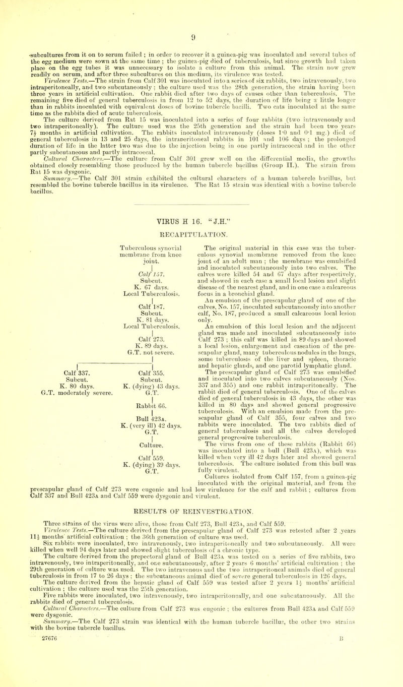 •subcultures from it on to serum failed ; in order to recover it a guinea-pig was inoculated and several tubes of the egg medium were sown at the same time ; the guinea-pig died of tuberculosis, but since growth had taken place on the egg tubes it was unnecessary to isolate a culture from this animal. The strain now grew readily on serum, and after three subcultures on this medium, its virulence was tested. Virulence Tests.—The strain from Calf 301 was inoculated into a series of six rabbits, two intravenously, two intraperitoneally, and two subcutaneously ; the culture used was the 28th generation, the strain having been three years in artificial cultivation. One rabbit died after two days of c;mses other than tuberculosis. The remaining five died of general tuberculosis in from 12 to 52 days, the duration of life being a little longer than in rabbits inoculated with equivalent doses of bovine tubercle bacilli. Two cats inoculated at the same time as the rabbits died of acute tuberculosis. The culture derived from Rat 15 was inoculated into a series of four rabbits (two intravenously and two intraperitoneally). The culture used was the 25th generation and the strain had been two years Ik months in artificial cultivation. The rabbits inoculated intravenously (doses 1/0 and O'l mg.) died of general tuberculosis in 13 and 25 days, the intraperitoneal rabbits in 101 rind 106 days ; the prolonged duration of life in the latter two was due to the injection being in one partly intracoecal and in the other partly subcutaneous and partly intracoecal. Cultural Characters.—The culture from Calf 301 grew well on the differential media, the growths obtained closely resembling those produced by the human tubercle bacillus (Group II.). The strain from Eat ]5 was dysgonic. Summary.—The Calf 301 strain exhibited the cultural characters of a human tubercle bacillus, but resembled the bovine tubercle bacillus in its virulence. The Rat 15 strain was identical with a bovine tubercle bacillus. VIRUS H 16. J.H. RECAPITULATION. Tuberculous synovial membrane from knee joint. Calf 167. Subcut. K. 67 days. Local Tuberculosis. I Calf 187. Subcut. K. 81 days. Local Tuberculosis. I Calf 273. K. 89 days. Gr.T. not severe. Calf 337. Subcut. K. 80 days. G-.T. moderately severe. Calf 355. Subcut. K. (dying) 43 days. G.T. I Rabbit 66. I Bull 423a. K. (very ill) 42 days. G.T. I Culture. I Calf 559. K. (dying) 39 days. G.T. prescapular gland of Calf 273 were eugonic and had Calf 337 and Bull 423a and Calf 559 were dysgonic and The original material in this case was the tuber- culous synovial membrane removed from the knee joint of an adult man ; the membrane was emulsified and inoculated subcutaneously into two calves. The calves were killed 54 and 67 days after respectively, and showed in each case a small local lesion and slight disease of the nearest gland, and in one case a calcareous focus in a bronchial gland. An emulsion of the prescapular gland of one of the calves, No. 157, inoculated subcutaneously into another calf, No. 187, produced a small calcareous local lesion only. An emulsion of this local lesion and the adjacent gland was made and inoculated subcutaneously into Calf 273 ; this calf was killed in 89 days and showed a local lesion, enlargement and caseation of the pre- scapular gland, many tuberculous nodules in the lungs, some tuberculosis of the liver and spleen, thoracic and hepatic glands, and one parotid lymphatic gland. The prescapular gland of Calf 273 was emulsified and inoculated into two calves subcutaneously (Nos. 337 and 355) and one rabbit intraperitoneally. The rabbit died of general tuberculosis. One of the calves died of general tuberculosis in 43 days, the other was killed in 80 days and showed general progressive tuberculosis. With an emulsion made from the pre- scapular gland of Calf 355, four calves and two rabbits were inoculated. The two rabbits died of general tuberculosis and all the calves developed general progressive tuberculosis. The virus from one of these rabbits (Rabbit 66) was inoculated into a bull (Bull 423a), which was killed when very ill 42 days later and showed general tuberculosis. The culture isolated from this bull was fully virulent. Cultures isolated from Calf 157, from a guinea-pig inoculated with the original material, and from the low virulence for the calf and rabbit ; cultures from virulent. RESULTS OF REINVESTIGATION. Three strains of the virus were alive, those from Calf 273, Bull 423a, and Calf 559. Virulence 'Tests.—The culture derived from the prescapular gland of Calf 273 was retested after 2 .years ll£ months artificial cultivation ; the 36th generation of culture was used. Six rabbits were inoculated, two intravenously, two intraperitoneally and two subcutaneously. All were killed when well 94 days later and showed slight tuberculosis of a chronic type. The culture derived from the prepectoral gland of Bull 423a was tested on a series of five rabbits, two intravenously, two intraperitoneally, and one subcutaneously, after 2 years 6 months' artificial cultivation ; the 29th generation of culture was used. The two intravenous and the two intraperitoneal animals died of general tuberculosis in from 17 to 26 days ; the subcutaneous animal died'of severe general tuberculosis in 126 days. The culture derived from the hepatic gland of Calf 559 was tested after 2 years l j months'artificial cultivation ; the culture used was the 25th generation. Five rabbits were inoculated, two intravenously, two intraperitoneally, and one subcutaneously. All the rabbits died of general tuberculosis. Cultural. Characters.—The culture from Calf 273 was eugonic ; the cultures from Bull 423a and Calf 559 were dysgonic. Summary.—The Calf 273 strain was identical with the human tubercle bacillus, the other two strains with the bovine tubercle bacillus. 27676 B