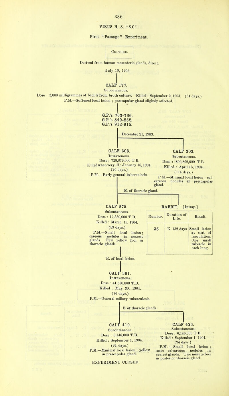 VIRUS H. 8. S.C. First Passage Experiment. Culture. Derived from human mesenteric glands, direct. July 10, 1903. CALF 177. Subcutaneous. Dose : 3,000 milligrammes of bacilli from broth culture. Killed : September 2,1903. (54 days.) P.M.—Softened local lesion ; prescapular gland slightly affected. G.P.'s 763-766. G.P.'s 849-852. G.P.'s 912-915. December 21, 1903. CALF 305. Intravenous. Dose : 728,879,000 T.B. Killed when very ill : January 16,1904 (26 days.) P.M.—Early general tuberculosis. CALF 303. Subcutaneous. Dose : 809,869,000 T.B. Killed : April 13, 1904. (114 days.) P.M. —Minimal local lesion ; cal- careous nodules in prescapular gland. E. of thoracic gland. CALF 275. Subcutaneous. Dose : 12,550,000 T.B. Killed : March 15, 1904. (59 days.) P.M.—Small local lesion ; caseous nodules in nearest glands. Few yellow foci in thoracic glands. E. of local lesion. RABBIT. [Intrap.] Number. Duration of Life. Result. 36 K. 132 days Small lesion at seat of inoculation. One small tubercle in each lung. CALF 361. Intravenous. Dose : 41,550,000 T.B. Killed : May 30, 1904. (76 days.) P.M.—General miliary tuberculosis. E.of thoracic glands. CALF 419. Subcutaneous. Dose : 6,146,000 T.B. Killed : September 1, 1904. (94 days.) P.M.—Minimal local lesion ; yellow in prescapular gland. EXPERIMENT CLOSED. CALF 423. Subcutaneous. Dose : 6,146,000 T.B. Killed : September 1, 1904. (94 days.) P.M. — Small local lesion ; caseo - calcareous nodules in nearest glands. Two minute foci in posterior thoracic gland.