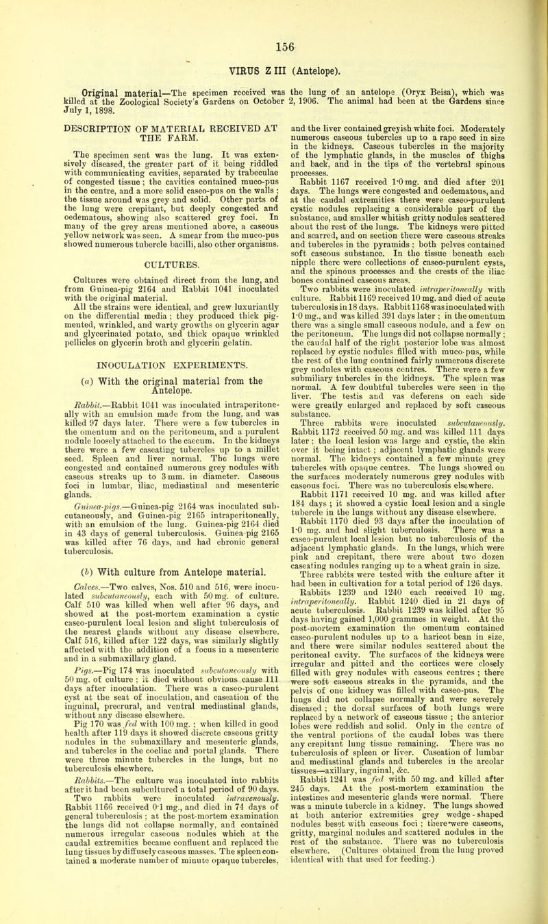 VIRUS Z III (Antelope). Original material—The specimen received was the lung of an antelope (Oryx Beisa), which was killed at the Zoological Society's Gardens on October 2, 1906. The animal had been at the Gardens since July 1, 1898. DESCRIPTION OF MATERIAL RECEIVED AT THE FARM. The specimen sent was the lung. It was exten- sively diseased, the greater part of it being riddled with communicating cavities, separated by trabeculae of congested tissue; the cavities contained muco-pus in the centre, and a more solid caseo-pus on the walls ; the tissue around was grey and solid. Other parts of the lung were crepitant, but deeply congested and oedematous, showing also scattered grey foci. In many of the grey areas mentioned above, a caseous yellow network was seen. A smear from the muco-pus showed numerous tubercle bacilli, also other organisms. CULTURES. Cultures were obtained direct from the lung, and from Guinea-pig 2164 and Rabbit 1041 inoculated with the original material. All the strains were identical, and grew luxuriantly on the differential media ; they produced thick pig- mented, wrinkled, and warty growths on glycerin agar and glycerinated potato, and thick opaque wrinkled pellicles on glycerin broth and glycerin gelatin. INOCULATION EXPERIMENTS. (a) With the original material from the Antelope. Rabbit.—Rabbit 1041 was inoculated intraperitone- ally with an emulsion made from the lung, and was killed 97 days later. There were a few tubercles in the omentum and on the peritoneum, and a purulent nodule loosely attached to the caecum. In the kidneys there were a few caseating tubercles up to a millet seed. Spleen and liver normal. The lungs were congested and contained numerous grey nodules with caseous streaks up to 3 mm. in diameter. Caseous foci in lumbar, iliac, mediastinal and mesenteric glands. Guinea-pigs.—Guinea-pig 2164 was inoculated sub- cutaneously, and Guinea-pig 2165 intraperitoneally, with an emulsion of the lung. Guinea-pig 2164 died in 43 days of general tuberculosis. Guinea-pig 2165 was killed after 76 days, and had chronic general tuberculosis. (b) With culture from Antelope material. Calves.—Two calves, Nos. 510 and 516, were inocu- lated subcutaneously, each with 50 mg. of culture. Calf 510 was killed when well after 96 days, and showed at the post-mortem examination a cystic caseo-purulent local lesion and slight tuberculosis of the nearest glands without any disease elsewhere. Calf 516, killed after 122 days, was similarly slightly affected with the addition of a focus in a mesenteric and in a submaxillary gland. Pigs.—Pig 174 was inoculated subcutaneously with 50 mg. of culture ; it died without obvious cause 111 days after inoculation. There was a caseo-purulent cyst at the seat of inoculation, and caseation of the inguinal, precrural, and ventral mediastinal glands, without any disease elsewhere. Pig 170 was fed with 100 mg. ; when killed in good health after 119 days it showed discrete caseous gritty nodules in the submaxillary and mesenteric glands, and tubercles in the coeliac and portal glands. There were three minute tubercles in the lungs, but no tuberculosis elsewhere. Rabbits.—The culture was inoculated into rabbits after it had been subcultured a total period of 90 days. Two rabbits were inoculated intravenously. Rabbit 1166 received 0! mg., and died in 74 days of general tuberculosis ; at the post-mortem examination the lungs did not collapse normally, and contained numerous irregular caseous nodules which at the caudal extremities became confluent and replaced the lung tissues by diffusely caseous masses. The spleen con- tained a moderate number of minute opaque tubercles, and the liver contained greyish white foci. Moderately numerous caseous tubercles up to a rape seed in size in the kidneys. Caseous tubercles in the majority of the lymphatic glands, in the muscles of thighs and back, and in the tips of the vertebral spinous processes. Rabbit 1167 received 1*0 mg. and died after 201 days. The lungs were congested and oedematous, and at the caudal extremities there were caseo-purulent cystic nodules replacing a considerable part of the substance, and smaller whitish gritty nodules scattered about the rest of the lungs. The kidneys were pitted and scarred, and on section there were caseous streaks and tubercles in the pyramids ; both pelves contained soft caseous substance. In the tissue beneath each nipple there were collections of caseo-purulent cysts, and the spinous processes and the crests of the iliac bones contained caseous areas. Two rabbits were inoculated intraperitoneally with culture. Rabbit 1169 received 10 mg. and died of acute tuberculosis in 18 days. Rabbit 1168 was inoculated with 1*0 mg., and was killed 391 days later ; in the omentum there was a single small caseous nodule, and a few on the peritoneum. The lungs did not collapse normally ; the caudal half of the right posterior lobe was almost replaced by cystic nodules filled with muco-pus, while the rest of the lung contained fairly numerous discrete grey nodules with caseous centres. There were a few submiliary tubercles in the kidneys. The spleen was normal. A few doubtful tubercles were seen in the liver. The testis and vas deferens on each side were greatly enlarged and replaced by soft caseous substance. Three rabbits were inoculated subcutaneously. Rabbit 1172 received 50 mg. and was killed 111 days later ; the local lesion was large and cystic, the skin over it being intact ; adjacent lymphatic glands were normal. The kidneys contained a few minute grey tubercles with opaque centres. The lungs showed on the surfaces moderately numerous grey nodules with caseous foci. There was no tuberculosis elsewhere. Rabbit 1171 received 10 mg. and was killed after 184 days ; it showed a cystic local lesion and a single tubercle in the lungs without any disease elsewhere. Rabbit 1170 died 93 days after the inoculation of 1-0 mg. and had slight tuberculosis. There was a caseo-purulent local lesion but no tuberculosis of the adjacent lymphatic glands. In the lungs, which were pink and crepitant, there were about two dozen caseating nodules ranging up to a wheat grain in size. Three rabbits were tested with the culture after it had been in cultivation for a total period of 126 days. Rabbits 1239 and 1240 each received 10 mg. intraperitoneally. Rabbit 1240 died in 21 days of acute tuberculosis. Rabbit 1239 was killed after 95 days having gained 1,000 grammes in weight. At the post-mortem examination the omentum contained caseo-purulent nodules up to a haricot bean in size, and there were similar nodules scattered about the peritoneal cavity. The surfaces of the kidneys were irregular and pitted and the cortices were closely filled with grey nodules with caseous centres ; there were soft caseous streaks in the pyramids, and the pelvis of one kidney was filled with caseo-pus. The lungs did not collapse normally and were severely diseased ; the dorsal surfaces of both lungs were replaced by a network of caseous tissue ; the anterior lobes were reddish and solid. Only in the centre of the ventral portions of the caudal lobes was there any crepitant lung tissue remaining. There was no tuberculosis of spleen or liver. Caseation of lumbar and mediastinal glands and tubercles in the areolar tissues—axillary, inguinal, &c. Rabbit 1241 was fed with 50 mg. and killed after 245 days. At the post-mortem examination the intestines and mesenteric glands were normal. There was a minute tubercle in a kidney. The lungs showed at both anterior extremities grey wedge - shaped nodules beset with caseous foci ; there *were caseous, gritty, marginal nodules and scattered nodules in the rest of the substance. There was no tuberculosis elsewhere. (Cultures obtained from the lung proved identical with that used for feeding.)