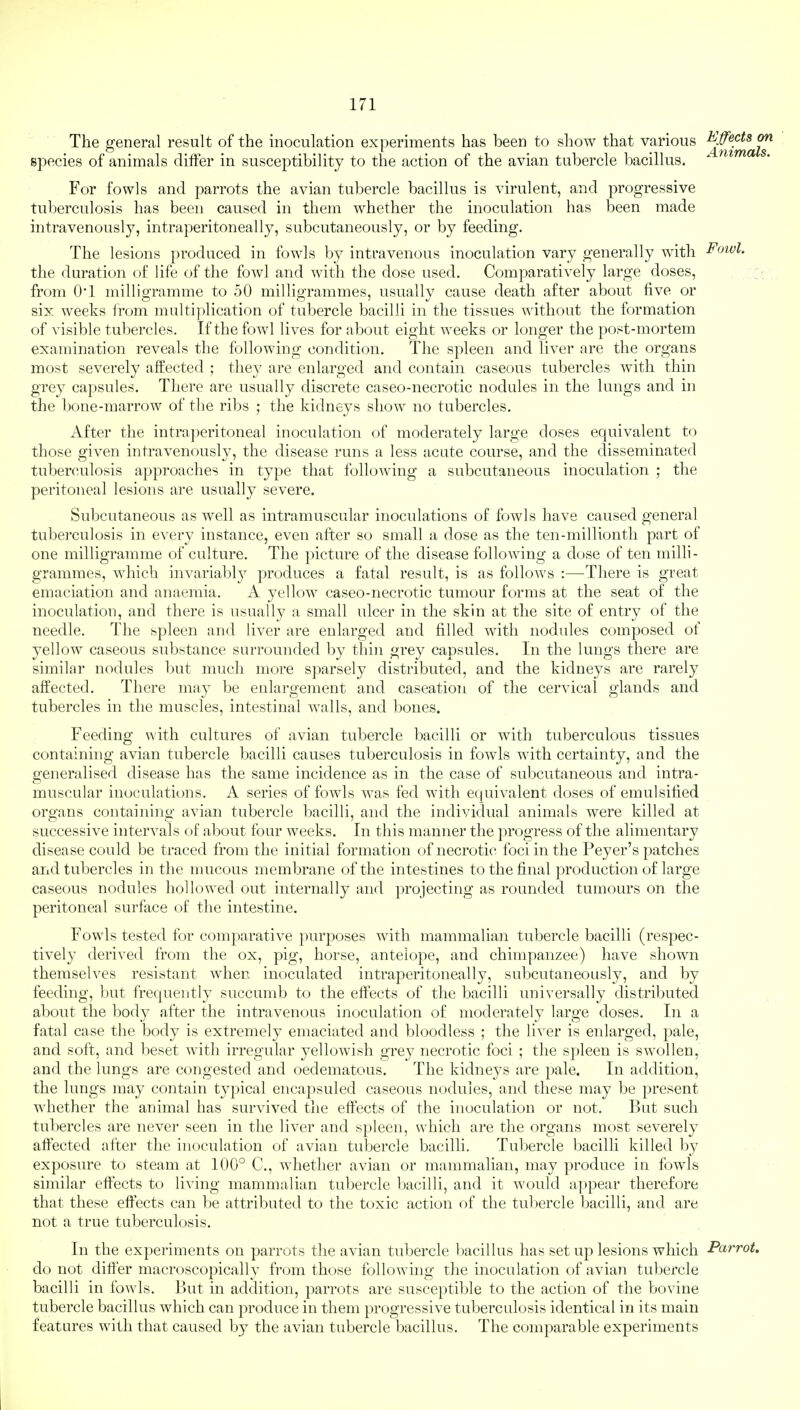 The general result of the inoculation experiments has been to show that various /^c'^ species of animals differ in susceptibility to the action of the avian tubercle bacillus. For fowls and parrots the avian tubercle bacillus is virulent, and progressive tuberculosis has been caused in them whether the inoculation has been made intravenously, intraperitoneally, subcutaneously, or by feeding. The lesions produced in fowls by intravenous inoculation vary generally with Fowl. the duration of life of the fowl and with the dose used. Comparatively large doses, from O'l milligramme to 50 milligrammes, usually cause death after about five or six weeks from multiplication of tubercle bacilli in the tissues without the formation of visible tubercles. If the fowl lives for about eight weeks or longer the post-mortem examination reveals the following condition. The spleen and liver are the organs most severely affected ; they are enlarged and contain caseous tubercles with thin grey capsules. There are usually discrete caseo-necrotic nodules in the lungs and in the bone-marrow of the ribs ; the kidneys show no tubercles. After the intraperitoneal inoculation of moderately large closes equivalent to those given intravenously, the disease runs a less acute course, and the disseminated tuberculosis approaches in type that following a subcutaneous inoculation ; the peritoneal lesions are usually severe. Subcutaneous as well as intramuscular inoculations of fowls have caused general tuberculosis in every instance, even after so small a dose as the ten-millionth part of one milligramme of culture. The picture of the disease following a dose of ten milli- grammes, which invariably produces a fatal result, is as follows :—There is great emaciation and anaemia. A yellow caseo-necrotic tumour forms at the seat of the inoculation, and there is usually a small ulcer in the skin at the site of entry of the needle. The spleen and liver are enlarged and filled with nodules composed of yellow caseous substance surrounded by thin grey capsules. In the lungs there are similar nodules but much more sparsely distributed, and the kidneys are rarely affected. There may be enlargement and caseation of the cervical glands and tubercles in the muscles, intestinal walls, and bones. Feeding with cultures of avian tubercle bacilli or with tuberculous tissues containing avian tubercle bacilli causes tuberculosis in fowls with certainty, and the generalised disease has the same incidence as in the case of subcutaneous and intra- muscular inoculations. A series of fowls was fed with equivalent doses of emulsified organs containing avian tubercle bacilli, and the individual animals were killed at successive intervals of about four weeks. In this manner the progress of the alimentary disease could be traced from the initial formation of necrotic foci in the Peyer's patches and tubercles in the mucous membrane of the intestines to the final production of large caseous nodules hollowed out internally and projecting as rounded tumours on the peritoneal surface of the intestine. Fowls tested for comparative purposes with mammalian tubercle bacilli (respec- tively derived from the ox, pig, horse, antelope, and chimpanzee) have shown themselves resistant when inoculated intraperitoneally, subcutaneously, and by feeding, but frequently succumb to the effects of the bacilli universally distributed about the body after the intravenous inoculation of moderately large doses. In a fatal case the body is extremely emaciated and bloodless ; the liver is enlarged, pale, and soft, and beset with irregular yellowish grey necrotic foci ; the spleen is swollen, and the lungs are congested and oedematous. The kidneys are pale. In addition, the lungs may contain typical encapsuled caseous nodules, and these may be present whether the animal has survived the effects of the inoculation or not. But such tubercles are never seen in the liver and spleen, which are the organs most severely affected after the inoculation of avian tubercle bacilli. Tubercle bacilli killed by exposure to steam at 100° C, whether avian or mammalian, may produce in fowls similar effects to living mammalian tubercle bacilli, and it would appear therefore that these effects can be attributed to the toxic action of the tubercle bacilli, and are not a true tuberculosis. In the experiments on parrots the avian tubercle bacillus has set up lesions which Parrot do not differ macroscopically from those following the inoculation of avian tubercle bacilli in fowls. But in addition, parrots are susceptible to the action of the bovine tubercle bacillus which can produce in them progressive tuberculosis identical in its main features with that caused by the avian tubercle bacillus. The comparable experiments
