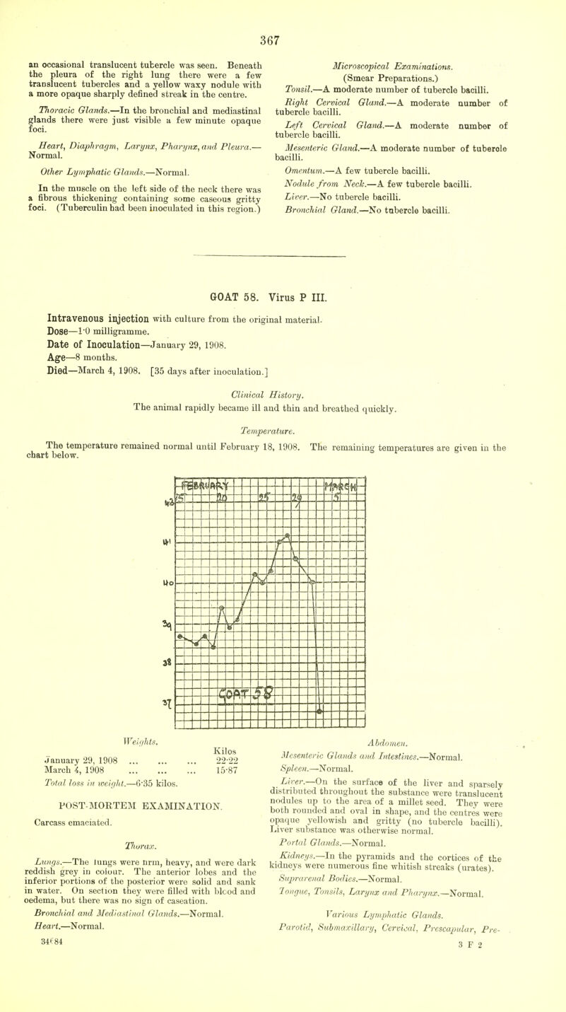an occasional translucent tubercle was seen. Beneath the pleura of the right lung there were a few translucent tubercles and a yellow waxy nodule with a more opaque sharply defined streak in the centre. Thoracic Glands.—In the bronchial and mediastinal glands there were just visible a few minute opaque foci. Heart, Diaphragm, Larynx, Pharynx, and Pleura.— Normal. Other Lymphatic Glands.—Normal. In the muscle on the left side of the neck there was a fibrous thickening containing some caseous gritty foci. (Tuberculin had been inoculated in this region.) Microscopical Examinations. (Smear Preparations.) Tonsil.—A moderate number of tubercle bacilli. Right Cervical Gland.—A moderate number of tubercle bacilli. Left Cervical Gland.—A moderate number of tubercle bacilli. Mesenteric Gland.—A moderate number of tuberole bacilli. Omentum.—A few tubercle bacilli. Nodule from Neck.—A few tubercle bacilli. Liver.—No tubercle bacilli. Bronchial Gland.—No tubercle bacilli. GOAT 58. Virus P III. Intravenous injection with culture from the original material. Dose—I'O milligramme. Date of Inoculation—January 29, 1908. Age—8 months. Died—March 4, 1908. [35 days after inoculation.] Clinical History. The animal rapidly became ill and thin and breathed quickly. Temperature. The temperature remained normal until February 18, 1908. The remaining temperatures are given in the chart below. Weights. January 29, 1908 March 4, 1908 Total loss in weight.—6-35 kilos. Kilos 2222 15-87 POST-MORTEM EXAMINATION. Carcass emaciated. Tliorax. Lungs.—The lungs were nrm, heavy, and were dark reddish grey in colour. The anterior lobes and the inferior portions of the posterior were solid and sank in water. On section they were filled with blood and oedema, but there was no sign of caseation. Bronchial and Mediastinal Glands.—Normal. Heart.—Normal. 34684 Abdomen. Mesenteric Glands and Intestines.—Normal. Spleen.—Normal. Liver.—On the surface of the liver and sparsely distributed throughout the substance were translucent nodules up to the area of a millet seed. They were both rounded and oval in shape, and the centres were opaque yellowish and gritty (no tubercle bacilli). Liver substance was otherwise normal. Portal Glands.—Normal. Kidneys.—In the pyramids and the cortices of the kidneys were numerous fine whitish streaks (urates). Suprarenal Bodies.—Normal. Tongue, Tonsils, Larynx and Pharynx.—-Normal. Various Lymphatic Glands. Parotid, Submaxillary, Cervical, Prescapular, Pre- 3 F 2