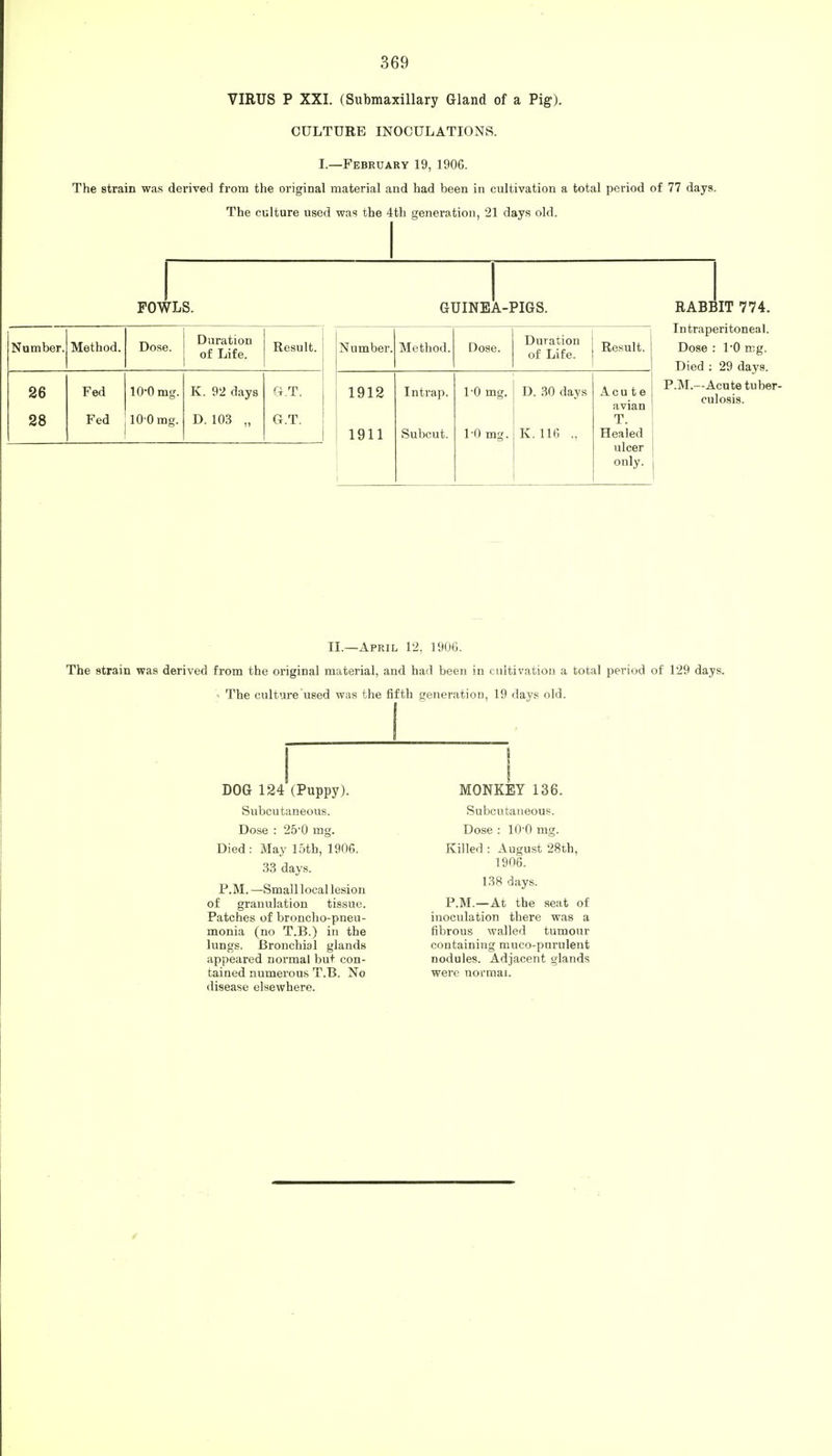 VIRUS P XXI. (Submaxillary Gland of a Pig). CULTURE INOCULATIONS. I.—February 19, 1906. The strain was derived from the original material and had been in cultivation a total period of 77 days. The culture used was the 4th generation, 21 days old. FOWLS. Number. Method. Dose. Duration of Life. Result. 26 Fed 10-0 mg. K. 92 days G.T. 28 Fed 10 0 mg. D.103 „ G.T. GUINEA-PIGS. Number. Method. Dose. Duration of Life. Result. 1912 In trap. 1-0 mg. D. 30 days Acu t e avian T. 1911 Subcut. 1-0 mg. K. 116 ., Healed ulcer i only. RABBIT 774. Intraperitoneal. Dose : 1*0 mg. Died : 29 days. P.M.—Acute tuber- culosis. II.—April 12, 1906. The strain was derived from the original material, and had been in cultivation a total period of 129 days. • The culture used was the fifth generation, 19 days old. DOG 124 (Puppy). Subcutaneous. Dose : 250 mg. Died : May 15th, 1906. 33 days. P.M. —Small local lesion of granulation tissue. Patches of broncho-pneu- monia (no T.B.) in the lungs. Bronchial glands appeared normal but con- tained numerous T.B. No disease elsewhere. MONKEY 136. Subcutaneous. Dose : 10-0 mg. Killed: August 28th, 1906. 138 days. P.M.—At the seat of inoculation there was a fibrous walled tumour containing muco-purulent nodules. Adjacent glands were normal.