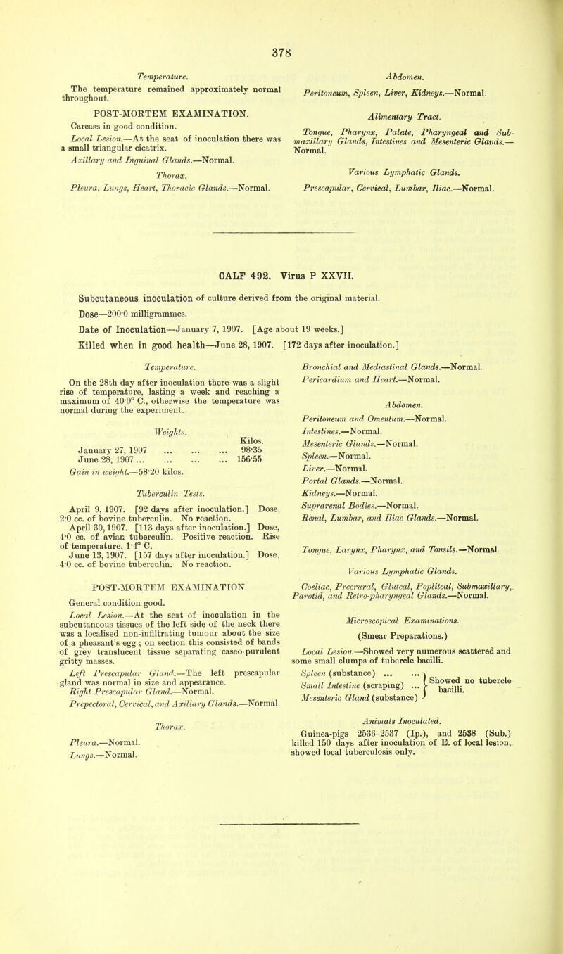 Temperature. The temperature remained approximately normal throughout. POST-MORTEM EXAMINATION. Carcass in good condition. Local Lesion.—At the seat of inoculation there was a small triangular cicatrix. Axillary and Inguinal Glands.—Normal. Thorax. Pleura, Lungs, Heart, Thoracic Glands.—Normal. Abdomen. Peritoneum, Spleen, Liver, Kidneys.—Normal. Alimentary Tract. Tongue, Pharynx, Palate, Pharyngeal and Sub- maxillary Glands, Intestines and Mesenteric Glands.— Normal. Various Lymphatic Glands. Prescapular, Cervical, Lumbar, Iliac.—Normal. CALF 492. Virus P XXVII. Subcutaneous inoculation of culture derived from the original material. Dose—20O0 milligrammes. Date of Inoculation—January 7, 1907. [Age about 19 weeks.] Killed when in good health—June 28, 1907. [172 days after inoculation.] Temperature. On the 28th day after inoculation there was a slight rise of temperature, lasting a week and reaching a maximum of 40'0° C, otherwise the temperature was normal during the experiment. Kilos. 98-35 156-55 Weights. January 27, 1907 June 28, 1907 Gain in weight.—58-20 kilos. Tuberculin Tests April 9, 1907. [92 days after inoculation.] 2-0 cc. of bovine tuberculin. No reaction. April 30,1907. [113 days after inoculation.] 4-0 cc. of avian tuberculin. Positive reaction, of temperature. 1-4° C. June 13,1907. [157 days after inoculation.] 4-0 cc. of bovine tuberculin. No reaction. Dose, Dose, Rise Dose, POST-MORTEM EXAMINATION. General condition good. Local Lesion.—At the seat of inoculation in the subcutaneous tissues of the left side of the neck there was a localised non-infiltrating tumour about the size of a pheasant's egg ; on section this consisted of bands of grey translucent tissue separating caseo-purulent gritty masses. Left Prescapular Gland.—The left prescapular gland was normal in size and appearance. Right Prescapular Gland.—Normal. Prepectoral, Cervical, and Axillary Glands.—Normal. Thorax. Pleura.—Normal. Lungs.—Normal. Bronchial and Mediastinal Glands.—Normal. Pericardium and Heart.—Normal. Abdomen. Peritoneum and Omentum.—Normal. Intestines.—Normal. Mesenteric Glands.—Normal. Spleen.—Normal. Liver.—Normal. Portal Glands.—Normal. Kidneys.—Normal. Suprarenal Bodies.—Normal. Renal, Lumbar, and Iliac Glands.—Normal. Tongue, Larynx, Pharynx, and Tonsils.—Normal. Various Lymphatic Glands. Coeliac, Precrural, Gluteal, Popliteal, Submaxillary, Parotid, and Retro-pharyyigeal Glands.—Normal. Microscopical Examinations. (Smear Preparations.) Local Lesion.—Showed very numerous scattered and some small clumps of tubercle bacilli. Spleen (substance) -j „ 77 T . .. , ( Showed no tubercle Small Intestine (scraping) ... > jja0jnj Mesenteric Gland (substance) ) Animals Inoculated. Guinea-pigs 2536-2537 (Ip.), and 2538 (Sub.) killed 150 days after inoculation of E. of local lesion, showed local tuberculosis only.