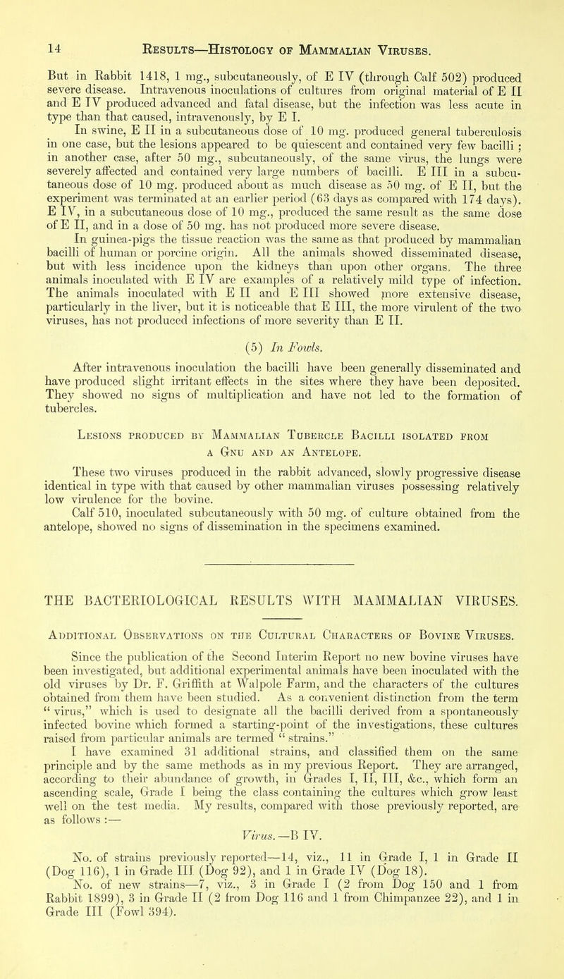 But in Rabbit 1418, 1 mg., su}3cutaneously, of E IV (tlirough Calf 502) produced severe disease. Intravenous inoculations of cultures from original material of E II and E TV produced advanced and fatal disease, but the infection was less acute in type than that caused, intravenously, by E L In swine, E II in a subcutaneous dose of 10 mg. produced general tuberculosis in one case, but the lesions appeared to be quiescent and contained very few bacilli ; in another case, after 50 mg., subcutaneously, of the same virus, the lungs were severely affected and contained very large numbers of bacilli. E III in a subcu- taneous dose of 10 mg. produced about as much disease as 50 mg. of E II, but the experiment was terminated at an earlier period (63 days as compared with 174 days). E IV, in a subcutaneous dose of 10 mg., produced the same result as the same dose of E II, and in a dose of 50 mg. has not produced more severe disease. In guinea-pigs the tissue reaction was the same as that produced by mammalian bacilli of human or porcine origin. All the animals showed disseminated disease, but with less incidence upon the kidneys than upon other organs. The three animals inoculated with E IV are examples of a relatively mild type of infection. The animals inoculated with E II and E III showed more extensive disease, particularly in the liver, but it is noticeable that E III, the more virulent of the two viruses, has not produced infections of more severity than E 11. (5) Li Fowls. After intravenous inoculation the bacilli have been generally disseminated and have produced slight irritant effects in the sites where they have been deposited. They showed no signs of multiplication and have not led to the formation of tubercles. Lesions produced by Mammalian Tubercle Bacilli isolated from A Gnu and an Antelope. These two viruses produced in the rabbit advanced, slowly progressive disease identical in type with that caused by other mammalian viruses possessing relatively low virulence for the bovine. Calf 510, inoculated subcutaneously with 50 mg. of culture obtained from the antelope, showed no signs of dissemination in the specimens examined. THE BACTERIOLOGICAL RESULTS WITH MAMMALIAN VIRUSES. Additional Observations on tije Cultural Characters oe Bovine Viruses. Since the publication of the Second Interim Report no new bovine viruses have been im^estigated, but additional experimental animals have been inoculated with the old viruses by Dr. F. Griffith at Walpole Farm, and the characters of the cultures obtained from them have been studied. As a convenient distinction from the term  virus, which is used to designate all the bacilli derived from a spontaneously infected bovine which formed a starting-point of the investigations, these cultures raised from particular animals are termed  strains. I have examined 31 additional strains, and classified them on the same principle and by the same methods as in my previous Report. They are arranged, according to their abundance of growth, in Grades I, II, III, &c., which form an ascending scale, Grade I being the class containing the cultures which grow least well on the test media. My results, compared with those previously reported, are as follows :— Virus. -B IV. No. of strains previously reported—14, viz., 11 in Grade I, 1 in Grade II (Dog 116), 1 in Grade III (Dog 92), and 1 in Grade IV (Dog 18). No. of new strains—7, viz., 3 in Grade I (2 from Dog 150 and 1 from Rabbit 1899), 3 in Grade II (2 from Dog 116 and 1 from Chimpanzee 22), and 1 in Grade III (Fowl 394).