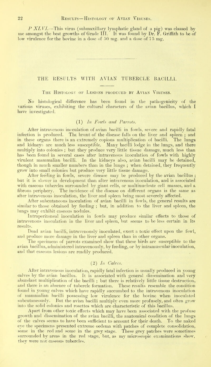 P XLVI.—This virus (submaxillary lymphatic gland of a pig) was classed by me amongst the best growths of Grade III. It was found by Dr. F. Griffith to be of low virulence for the bovine in a dose of oO rag. and a dose of ? 5 mg. THE RESULTS WITH AVIAN TUBERCLE BACILLI. The Histology of Lesions produced by Avian Viruses. No histological difference has been found in the pathogenicity of the A'arious viruses, exhibiting the cultural characters of the avian bacillus, which I have investigated. (1) In Fowls and Pa7T0t$. After intravenous inoculation of avian bacilli in fowls, severe and rapidly fatal infection is produced. The brunt of the disease falls on the liver and spleen ; and in these organs there is an extremely copious multiplication of bacilli. The lungs and kidneys are much less susceptible. Many bacilli lodge in the lungs, and there multiply into colonies ; but they produce very little tissue damage, much less than has been found in several cases after intravenous inoculation of fowls with highly virulent mammalian bacilli. In the kidneys also, avian bacilli may be detained, though in much smaller numbers than in the lungs ; when detained, they frequently grow into small colonies but produce very little tissue damage. After feeding in fowls, severe disease may be produced by the avian bacillus ; but it is slower in development than after intravenous inoculation, and is associated with caseous tubercles surrounded by giant cells, or multinucleate cell masses, and a fibrous periphery. The incidence of the disease on different organs is the same as after intravenous inoculation, the liver and spleen being most severely affected. After subcutaneous inoculation of avian bacilli in fowls, the general results are similar to those obtained by feeding ; but, in addition to the liver and spleen, the lungs may exhibit caseous nodules. Intraperitoneal inoculation in fowls may produce similar effects to those of intravenous inoculation in the liver and spleen, but seems to be less certain in its results. Dead avian bacilli, intravenously inoculated, exert a toxic effect upon the fowl, and produce more damage in the liver and spleen than in other organs. The specimens of parrots examined show that these birds are susceptible to the avian bacillus, administered intravenously, by feeding, or by intramuscular inoculation, and that caseous lesions are readily produced. (2) Calves. After intravenous inoculation, rapidly fatal infection is- usually produced in young calves by the avian bacillus. It is associated with general dissemination and very abundant multiplication of the bacilli ; but there is relatively little tissue destruction, and there is an absence of tubercle formation. These results resemble the condition found in young calves which have rapidly succumbed to the intravenous inoculation of mammalian bacilli possessing low virulence for the bovine when inoculated subcutaneously. But the a,vian bacilli multiply even more profusely, and often grow into the solid colonies and rosettes which are characteristic of this bacillus. Apart from other toxic effects which may have been associated with the profuse growth and dissemination of the avian bacilli, the anatomical condition of the lungs of the calves seems to have been sufficient to account for their death. To the naked eye the specimens presented extreme oedema with patches of complete consolidation, some in the red and some in the grey stage. These grey patches were sometimes surrounded by areas in the red stage, but, as my microscopic examinatiojis show, they were not caseous tubercles.