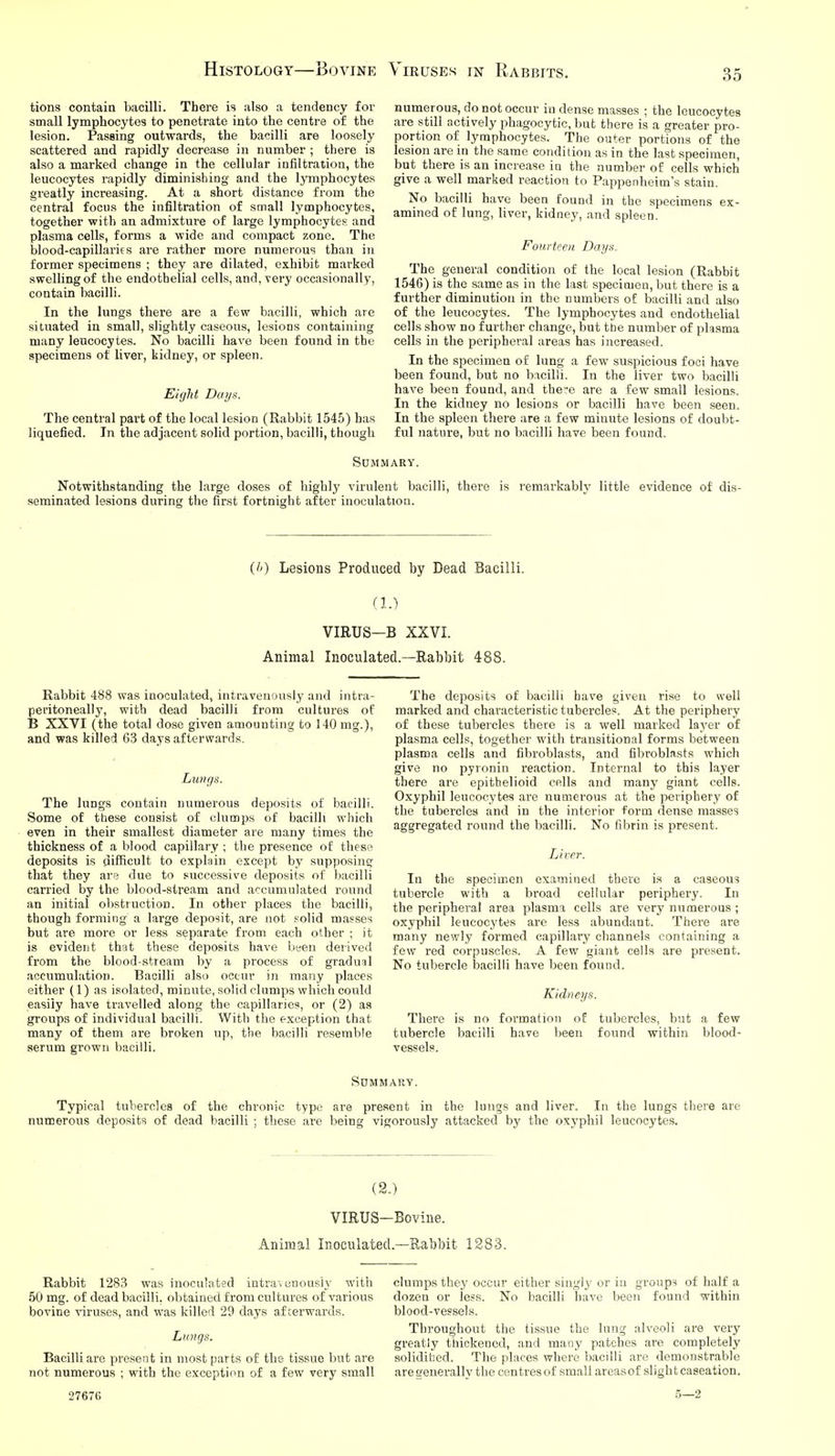 tions contain bacilli. There is also a tendency for small lymphocytes to penetrate into the centre of the lesion. Passing outwards, the bacilli are loosely scattered and rapidly decrease in number ; there is also a marked change in the cellular infiltration, the leucocytes rapidly diminishing and the lymphocytes greatly increasing. At a short distance from the central focus the infiltration of small lymphocytes, together with an admixture of large lymphocytes: and plasma cells, forms a wide and compact zone. The blood-capillarif s are rather more numerous than in former specimens ; they are dilated, exhibit marked swelling of the endothelial cells, and, very occasionally, contain bacilli. In the lungs there are a few bacilli, which are situated in small, slightly caseous, lesions containing many leucocytes. No bacilli have been found in the specimens of liver, kidney, or spleen. Eight Days. The central part of the local lesion (Rabbit 1545) has liquefied. In the adjacent solid portion, bacilli, though numerous, do not occur in dense masses ; the leucocytes are still actively phagocytic, but there is a greater pro- portion of lymphocytes. The outer portions of the lesion are in the same condition as in the last specimen, but there is an increase io the number of cells which give a well marked reaction to Pappenheim's stain. No bacilli have been found in the specimens ex- amined of lung, liver, kidney, and spleen. Fourteen Days, The general condition of the local lesion (Rabbit 1546) is the same as in the last specimen, but there is a further diminution in the numbers of bacilli and also of the leucocytes. The lymphocytes and endothelial cells show no further change, but the number of plasma cells in the peripheral areas has increased. In the specimen of lung a few suspicious foci have been found, but no bacilli. In the liver two bacilli have been found, and the-e are a few small lesions. In the kidney no lesions or bacilli have been seen. In the spleen there are a few minute lesions of doubt- ful nature, but no bacilli have been found. SUMMABY. Notwithstanding the large doses of highly virulent bacilli, there is remarkably little evidence of dis- seminated lesions during the first fortnight after inoculation. (/') Lesions Produced by Dead Bacilli. (1.) VIRUS-B XXVI. Animal Inoculated.—Rabbit 488. Rabbit 488 was inoculated, intravenously and intra- peritoneallj', with dead bacilli from cultures of B XXVI (the total dose given amounting to 140 mg.), and was killed 63 days afterwards. Lungs. The lungs contain numerous deposits of bacilli. Some of these consist of clumps of bacilli which even in their smallest diameter are many times the thickness of a blood capillary ; the presence of theso deposits is difficult to explain except by supposing that they ars due to successive deposits of bacilli carried by the blood-stream and accumulated round an initial obstruction. In other places the bacilli, though forming a large deposit, are not solid masses but are more or less separate from each other ; it is evident that these deposits have been derived from the blood-stream by a process of graduiil accumulation. Bacilli also occur in many places either (1) as isolated, minute, solid clumps which could easily have travelled along the capillaries, or (2) as groups of individual bacilli. With the exception that many of them are broken up, the bacilli resemble serum grown bacilli. The deposits of bacilli have given rise to well marked and characteristic tubercles. At the periphery of these tubercles there is a well marked layer of plasma cells, together with transitional forms between plasma cells and fibroblasts, and fibroblasts which give no pyronin reaction. Internal to this layer there are epithelioid cells and many giant cells. Oxyphil leucocytes are numerous at the periphery of the tubercles and in the interior form dense masses aggregated round the bacilli. No fibrin is present. Liver. In the specimen examined there is a caseous tubercle with a broad cellular periphery. In the peripheral area plasma cells are very numerous ; oxyphil leucocytes are less abundant. There are many newly formed capillary channels containing a few red corpuscles. A few giant cells are present. No tubercle bacilli have been found. Kidneys. There is no formation of tubercles, but a few tubercle bacilli have been found within blood- vessels. Summary. Typical tubercles of the chronic type are present in the lungs and liver. In the lungs there are numerous deposits of dead bacilli ; these are being vigorously attacked by the oxyphil leucocytes. (2.) VIRUS-Bovine. Animal Inoculated.—Rabbit 1883. Rabbit 1283 was inoculated intra\ onousiy with 50 mg. of dead bacilli, obtained from cultures of various bovine viruses, and was killed 29 days afterwards. LuJigs. Bacilli are present in most parts of the tissue but are not numerous ; with the exception of a few very small clumps they occur either singly or in groups of half a dozen or less. No bacilli have been found within blood-vessels. Throughout the tissue the lung alveoli are very greatly thickened, and many patches are completely solidibed. The places where bacilli are demonstrable are generally the centres of small areasof slight caseation. 27676 5—2