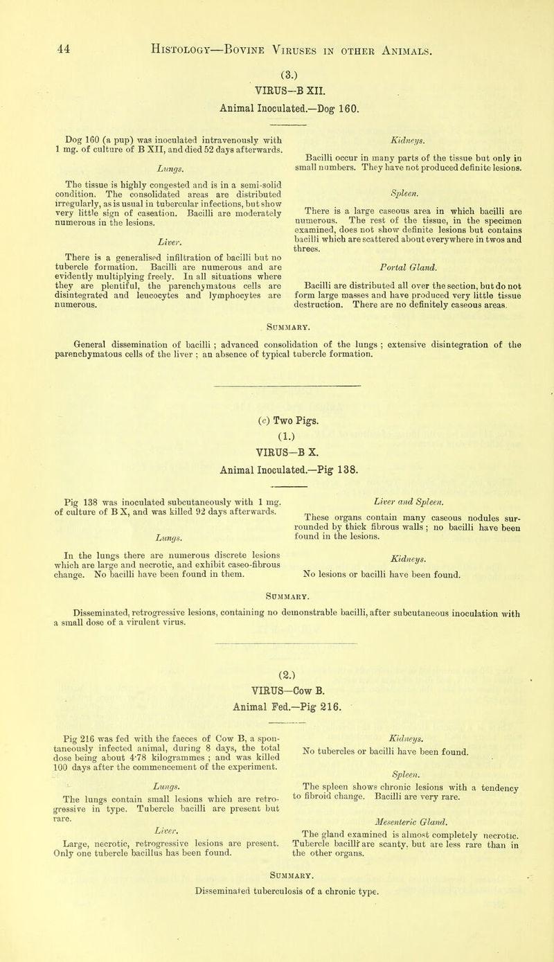 (3.) VIRUS-B XII. Animal Inoculated.—Dog 160. Dog 160 (a pup) was inoculated intravenously with 1 mg. of culture of B XII, and died 52 days afterwards. Lungs. The tissue is highly congested and is in a semi-solid condition. The consolidated areas are distributed irregularly, as is usual in tubercular infections, but show very little sign of caseation. Bacilli are moderately numerous in the lesions. Liver. There is a generalised infiltration of bacilli but no tubercle formation. Bacilli are numerous and are evidently multiplying freely. In all situations where they are plentiful, the parenchymatous cells are disintegrated and leucocytes and lymphocytes are numerous. Kidneys. Bacilli occur in many parts of the tissue but only in small numbers. They have not produced definite lesions. Spleen. There is a large caseous area in which bacilli are numerous. The rest of the tissue, in the specimen examined, does not show definite lesions but contains bacilli which are scattered about everywhere in twos and threes. Portal Gland. Bacilli are distributed all over the section, but do not form large masses and have produced very little tissue destruction. There are no definitely caseous areas. Summary. General dissemination of bacilli ; advanced consolidation of the lungs ; extensive disintegration of the parenchymatous cells of the liver ; an absence of typical tubercle formation. (c) Two Pig's. (1.) VIRUS—B X. Animal Inoculated.—Pig 138. Pig 138 was inoculated subcutaneously with 1 mg. of cxSture of B X, and was killed 92 days afterwards. Lungs. In the lungs there are numerous discrete lesions which are large and necrotic, and exhibit caseo-fibrous change. No bacilli have been found in them. Liver and Spleen. These organs contain many caseous nodules sur- rounded by thick fibrous walls ; no bacilli have been found in the lesions. Kidiieys. No lesions or bacilli have been found. Summary. Disseminated, retrogressive lesions, containing no demonstrable bacilli, after subcutaneous inoculation with a small dose of a virulent virus. (2.) VIRUS-Cow B. Animal Fed.—Pig 216. Pig 216 was fed with the faeces of Cow B, a spon- taneously infected animal, during 8 days, the total dose being about 4'78 kilogrammes ; and was killed 100 days after the commencement of the experiment. Lungs. The lungs contain small lesions which are retro- gressive in type. Tubercle bacilli are present but rare. Liver, Large, necrotic, retrogressive lesions are present. Only one tubercle bacillus has been found. Kidneys. No tubercles or bacilli have been found. Spleen. The spleen shows chronic lesions with a tendency to fibroid change. Bacilli are very rare. Mesenteric Gland. The gland examined is almost completely necrotic. Tubercle bacilli: are scanty, but are less rare than in the other organs. Summary. Disseminated tuberculosis of a chronic type.