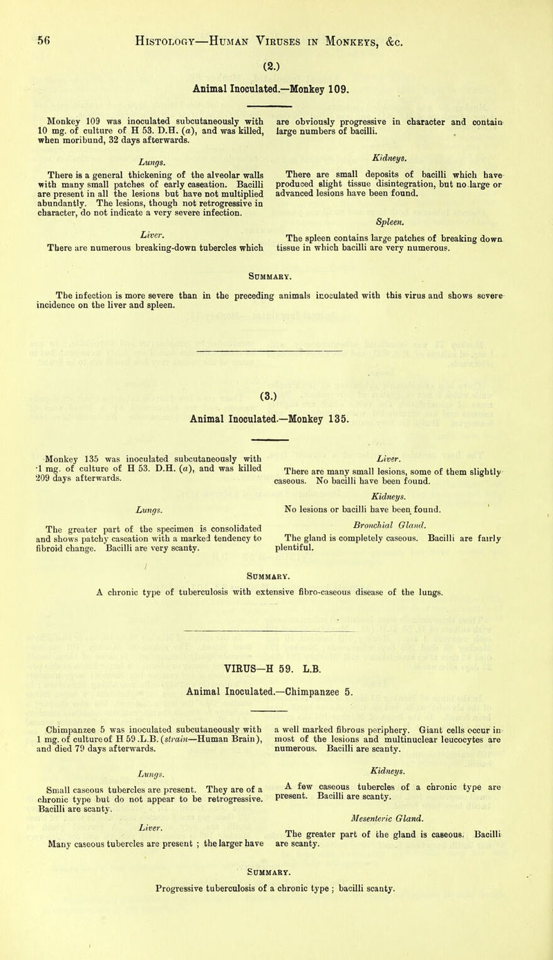 (2.) Animal Inoculated.—Monkey 109, Monkey 109 was inoculated subcutaneously with 10 mg. of culture of H 53. D.H. (a), and was killed, when moribund, 32 days afterwards. Lungs. There is a general thickening of the alveolar walls with many small patches of early caseation. Bacilli are present in all the lesions but have not multiplied abundantly. The lesions, though not retrogressive in character, do not indicate a very severe infection. Liver. There are numerous breaking-down tubercles which are obviously progressive in character and contain' large numbers of bacilli. Kidneys. There are small deposits of bacilli which have produced slight tissue disintegration, but no.large or advanced lesions have been found. Spleen, The spleen contains large patches of breaking down tissue in which bacUli are very numerous. Summary. The infection is more severe than in the preceding animals inoculated with this virus and shows severe- incidence on the liver and spleen. (3.) Animal Inoculated.—Monkey 135. Monkey 135 was inoculated subcutaneously with •1 mg. of culture of H 53. D.H. (a), and was killed 209 days afterwards. Lungs. The greater part of the specimen is consolidated and shows patchy caseation with a marked tendency to fibroid change. Bacilli are very scanty. Liver. There are many small lesions, some of them slightly- caseous. No bacilli have been found. Kidneys. No lesions or bacilli have been found. Bronchial Gland. The gland is completely caseous. Bacilli are fairly plentiful. Summary. A chronic type of tuberculosis with extensive fibro-caseous disease of the lungs. VIRUS-H 59. L.B. Animal Inoculated.—Chimpanzee 5. Chimpanzee 5 was inoculated subcutaneously with 1 mg. of culture of H 59 .L.B. {strain—Human Brain), and died 79 days afterwards. Lungs. Small caseous tubercles are present. They are of a chronic type but do not appear to be retrogressive. Bacilli are scanty. Liver. Many caseous tubercles are present ; the larger have a well marked fibrous periphery. Giant cells occur in most of the lesions and multinuclear leucocytes are numerous. Bacilli are scanty. Kidneys. A few caseous tubercles of a chronic type are present. Bacilli are scanty. Mesenteric Gland. The greater part of the gland is caseous. Bacilli are scanty. Summary. Progressive tuberculosis of a chronic type ; bacilli scanty.