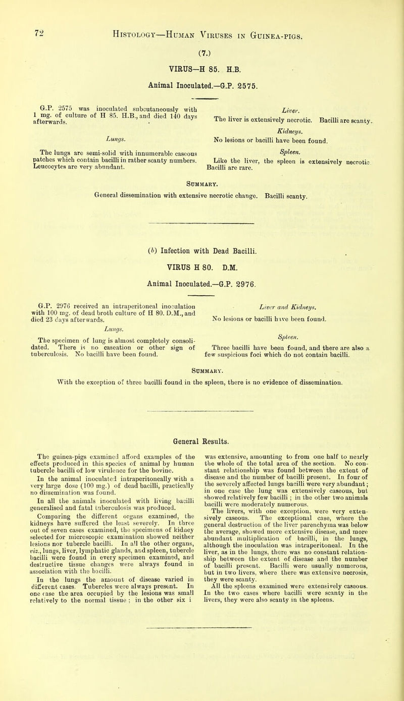 (7.) VIRUS-H 85. H.B. Animal Inoculated.—G.P. 2575. G.P. 2575 was inoculated snbcutaneously with 1 mg. of culture of H 85. H.B., and died 140 days afterwards. Lungs. The lungs are semi-solid with innumerable caseous patches which contain bacilli in rather scanty numbers. Leucocytes are very abundant. Liver. The liver is extensively necrotic. Bacilli are scanty. Kidneys. No lesions or bacilli have been found. Spleen, Like the liver, the spleen is extensively necrotic. Bacilli are rare. Summary. General dissemination with extensive necrotic change. Bacilli scanty. (J}) Infection with Dead Bacilli. VIRUS H 80. D.M. Animal Inoculated.—G.P. 2976. G.P. 2976 received an intraperitoneal inoculation with 100 mg. of dead broth culture of H 80. D.M., and died 23 days afterwards. Lungs. The specimen of lung is almost completely consoli- dated. There is no caseation or other sign of tuberculosis. No bacilli have been found. Liver and Kidneys. No lesions or bacilli have been found. Spleen. Three bacilli have been found, and there are also a. few suspicious foci which do not contain bacilli. Summary. With the exception of three bacilli found in the spleen, there is no evidence of dissemination. General Results. The guinea-pigs examined afford examples of the effects produced in this species of animal by human tubercle bacilli of low virulence for the bovine. In the animal inoculated intraperitoneally with a very large dose (100 mg.) of dead bacilli, practically no dissemination was found. In all the animals inoculated with living bacilli generalised and fatal t'lberculosis was produced. Comparing the different organs examined, the kidneys have suffered the least severely. In three out of seven cases examined, the specimens of kidney selected for microscopic examination showed neither lesions nor tubercle bacilli. In all the other organs, viz., lungs, liver, lymphatic glands, and spleen, tubercle bacilli were found in every specimen examined, and destructive tissue changes were always found in association with the bacilli. In the lungs the amount of disease varied in different cases. Tubercles were always present. In one case the area occupied by the lesions was small relatively to the normal tissue ; in the other six i was extensive, amounting to from one half to nearly the whole of the total area of the section. No con- stant relationship was found between the extent of disease and the number of bacilli present. In four of the severely afEected lungs bacilli were very abundant; in one case the lung was extensively caseous, but showed relatively few bacilli ; in the other twoanicaala bacilli were moderately numerous. The livers, with one exception, were very exten- sively caseous. The exceptional case, where the general destruction of the liver parenchyma was below the average, showed more extensive disease, and more abundant multiplication of bacilli, in the lungs, although the inoculation was intraperitoneal. In the liver, as in the lungs, there was no constant relation- ship between the extent of disease and the number of bacilli present. Bacilli were usually numerous, but in two livers, where there was extensive necrosis, they were scanty. All the spleens examined were extensively caseous. In the two cases where bacilli were scanty in the livers, they were also scanty in the spleens.